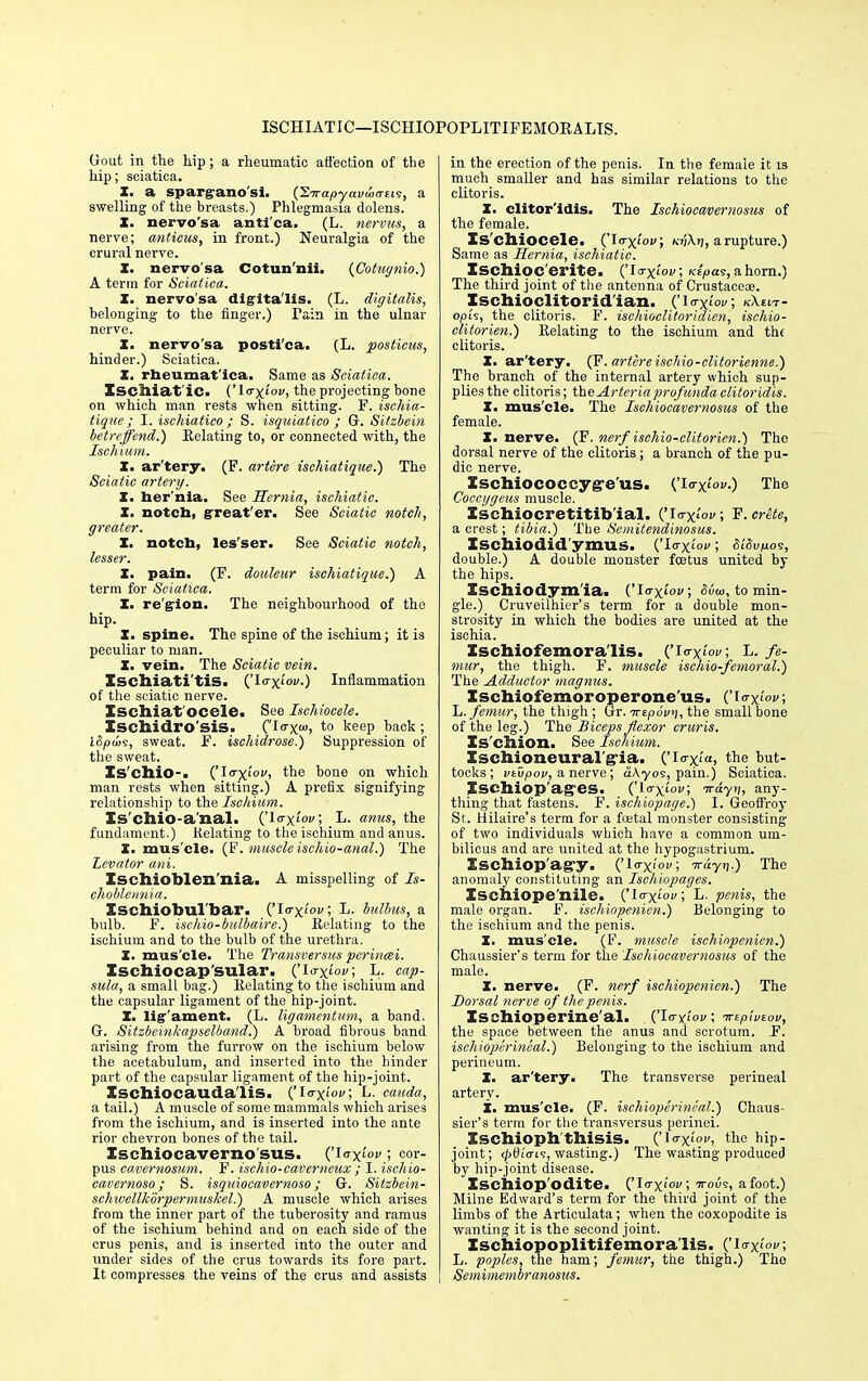 ISCHIATIC—ISCHIOPOPLITIFEMORALIS. Gout in the hip; a rheumatic affection of the hip; sciatica. X. a spargano'si. (^.Trapyavwrrti^, a swelling of the breasts.) Phlegmasia dolens. X. nervo'sa anti'ca. (L. nervus, a nerve; anticus, in front.) Neuralgia of the crural nerve. X. nervo'sa Cotun'nii. (Cotugnio.) A term for Sciatica. X. nervo'sa digitalis. (L. digitalis, belonging to the finger.) Pain in the ulnar nerve. I. nervo'sa posti'ca. (L. posticus, hinder.) Sciatica. X. rheumat'ica. Same as Sciatica. Isclliat ic. ('la-xiov, the projecting bone on which man rests when sitting. F. ischia- tique; I. ischiatico ; S. isquiatico ; G. Sitzbein betreffend.) Relating to, or connected with, the Ischium. X. ar'tery. (F. artere ischiatique.) The Sciatic artery. X. her nia. See Hernia, ischiatic. X. notcb, great'er. See Sciatic notch, greater. X. notcb, les'ser. See Sciatic notch, lesser. X. pain. (F. douleur ischiatique.) A term for Sciatica. X. re'gion. The neighbourhood of the hip. X. spine. The spine of the ischium; it is peculiar to man. X. vein. The Sciatic vein. Xschiati'tis. ('Io-xioi/.) Inflammation of the sciatic nerve. Xschiat'ocele. See Ischiocele. Xschidro'siS. C'lo'X', to keep back ; l$pd>s, sweat. F. ischidrose.) Suppression of the sweat. Xs'chio-. ('Ic^iov, the bone on which man rests when sitting.) A prefix signifying relationship to the Ischium. Xs'cbio-a nal. ('lo-xiov; L. anus, the fundament.) -Relating to the ischium and anus. X. mus'cle. (F. muscle ischio-anal.) The Levator ani. Ischioblen'nia. A misspelling of Is- choblennia. Ischiobul'bar. ('Io-xiok; L. bulbus, a bulb. F. ischio-bulbaire.) Relating to the ischium and to the bulb of the urethra. X. mus'cle. The Transversus perinaei. Ischiocap sular. ('Io-xiow; L. cap- sula, a small bag.) Relating to the ischium and the capsular ligament of the hip-joint. X. ligament. (L. ligamentum, a band. G. Sitzbeinkapselband.) A broad fibrous band arising from the furrow on the ischium below the acetabulum, and inserted into the hinder part of the capsular ligament of the hip-joint. XSChiOCauda'liS. {'IcrxioV, L. Cauda, a tail.) A muscle of some mammals which arises from the ischium, and is inserted into the ante rior chevron bones of the tail. Ischiocavernosus. ('i<Jxiov.; cor- pus cavernosum. F. ischio-caverneux; I. ischio- cavernoso; S. isquiocavernoso; G. Sitzbein- schwellkdrpermuskel.) A muscle which arises from the inner part of the tuberosity and ramus of the ischium behind and on each side of the crus penis, and is inserted into the outer and under sides of the crus towards its fore part. It compresses the veins of the crus and assists in the erection of the penis. In the female it is much smaller and has similar relations to the clitoris. X. clitor'idis. The Ischiocavernosus of the female. Is'chiocele. ('Io-xtov; ki'Av, a rupture.) Same as Hernia, ischiatic. XSChlOC'erite. ('laxtov; Ktpas, a horn.) The third joint of the antenna of Crustacea?. Xschioclitorid'ian. ('i<rxi'<w; K\sn- opk, the clitoris. F. ischioclitoridien, ischio- clitorien.) Relating to the ischium and the clitoris. X. ar'tery. (F. artereischio-clitorienne.) The branch of the internal artery which sup- plies the clitoris; theArteriaprofundaclitoridis. X. mus'cle. The Ischiocavernosus of the female. X. nerve. (F. nerf ischio-clitorien.) The dorsal nerve of the clitoris; a branch of the pu- dic nerve. Xschiococcyg-e'us. {'l<rxtov.) The Coccygeus muscle. Xschiocretitib'ial. {'I<rx'»>; F.erete, a crest; tibia.) The Seinitendinosus. Ischiodid ymus. ('I<rxi'ov; SiSvuoi, double.) A double monster foetus united by the hips. Xscbiodym'ia. ('Io-xiov; Mw, to min- gle.) Cruveilhier's term for a double mon- strosity in which the bodies are united at the ischia. Xschiofemora'lis. ('I<rxioi/; L. fe- mur, the thigh. F. muscle ischio-femoral.) The Adductor magnus. Xschiofemoroperone'us. (To-x/ov; L. femur, the thigh; (jr. <wtp6v>], the small bone of the leg.) The Biceps flexor cruris. Xs'cbion. See Ischium. Xschioneuralgia. Clo^fo, the but- tocks; vtvpov, a nerve; aAyos, pain.) Sciatica. Xschiop'ag'es. ('Ia-xi'ov; irayi;, any- thing that fastens. F. ischiopage.) I. Geoffroy St. Hilaire's term for a foetal monster consisting of two individuals which have a common um- bilicus and are united at the hypogastrium. XSChiop'agy. ('1<tx<'oi/; irayr\.) The anomaly constituting an Ischiopages. Xschiope'nile. ('io-x'oi'; L. penis, the male organ. F. ischiopenien.) Belonging to the ischium and the penis. X. mus'cle. (F. muscle ischiopenien.) Chaussier's term for the Ischiocavernosus of the male. I. nerve. (F. nerf ischiopenien.) The Dorsal nerve of the penis. Ischioperineal. .('la-Wow; Trtpivwv, the space between the anus and scrotum. P. ischioperineal.) Belonging to the ischium and perineum. X. ar'tery. The transverse perineal artery. X. mus'cle. (F. ischioperineal.) Chaus- sier's term for the transversus peririei. Xschioph'thisis. ('lax1'?' tlie hiP joint; (£0i'<ri9, wasting.) The wasting produced by hip-joint disease. Xschiop'odite. (,'lcrxiou; Trous, afoot.) Milne Edward's term for the third joint of the limbs of the Articulata; when the coxopodite is wanting it is the second joint. Ischiopoplitifemora'lis. ('icrx'W; L. poples, the ham; femur, the thigh.) The Semimembranosus.