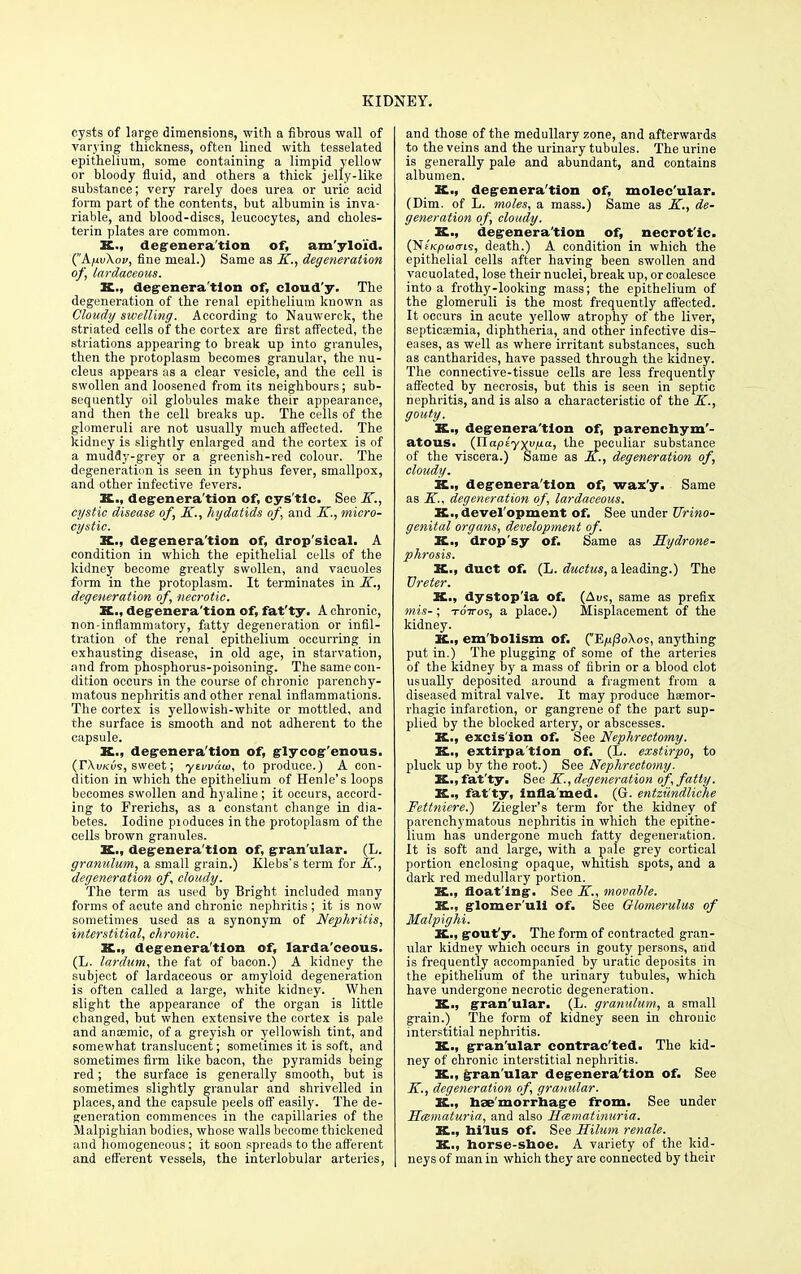 cysts of large dimensions, with a fibrous wall of varying thickness, often lined with tesselated epithelium, some containing a limpid yellow or bloody fluid, and others a thick jelly-like substance; very rarely does urea or uric acid form part of the contents, but albumin is inva- riable, and blood-discs, leucocytes, and choles- terin plates are common. X., degeneration of, am'ylo'id. ('A/wXov, fine meal.) Same as K., degeneration of, lardaceous. X., degeneration of, cloud'y. The degeneration of the renal epithelium known as Cloudy swelling. According to Nauwerck, the striated cells of the cortex are first affected, the striations appearing to break up into granules, then the protoplasm becomes granular, the nu- cleus appears as a clear vesicle, and the cell is swollen and loosened from its neighbours; sub- sequently oil globules make their appearance, and then the cell breaks up. The cells of the glomeruli are not usually much affected. The kidney is slightly enlarged and the cortex is of a muddy-grey or a greenish-red colour. The degeneration is seen in typhus fever, smallpox, and other infective fevers. X., degeneration of, cys'tlc. See K., cystic disease of, K., hydatids of, and K., micro- cystic. X., degeneration of, drop'sical. A condition in which the epithelial cells of the kidney become greatly swollen, and vacuoles form in the protoplasm. It terminates in K., degeneration of, necrotic. X., degeneration of, fatty. A chronic, non-inflammatory, fatty degeneration or infil- tration of the renal epithelium occurring in exhausting disease, in old age, in starvation, and from phosphorus-poisoning. The same con- dition occurs in the course of chronic parenchy- matous nephritis and other renal inflammations. The cortex is yellowish-white or mottled, and the surface is smooth and not adherent to the capsule. K., degeneration of, glycog'enous. (TXvKus, sweet; yewan), to produce.) A con- dition in which the epithelium of Henle's loops becomes swollen and hyaline ; it occurs, accord- ing to Frerichs, as a constant change in dia- betes. Iodine pioduces in the protoplasm of the cells brown granules. X., degeneration of, gran'ular. (L. granulum, a small grain.) Klebs's term for K., degeneration of, cloudy. The term as used by Bright included many forms of acute and chronic nephritis ; it is now sometimes used as a synonym of Nephritis, interstitial, chronic. K., degeneration of, larda'ceous. (L. lardum, the fat of bacon.) A kidney the subject of lardaceous or amyloid degeneration is often called a large, white kidney. When slight the appearance of the organ is little changed, but when extensive the cortex is pale and anasmic, of a greyish or yellowish tint, and somewhat translucent; sometimes it is soft, and sometimes firm like bacon, the pyramids being red; the surface is generally smooth, but is sometimes slightly granular and shrivelled in places, and the capsule peels off easily. The de- generation commences in the capillaries of the Malpighian bodies, whose walls become thickened and homogeneous; it soon spreads to the afferent and efferent vessels, the interlobular arteries, and those of the medullary zone, and afterwards to the veins and the urinary tubules. The urine is generally pale and abundant, and contains albumen. K., degeneration of, molec'ular. (Dim. of L. moles, a mass.) Same as K., de- generation of, cloudy. K., degeneration of, necrot'ic. (Nf'/cpwcris, death.) A condition in which the epithelial cells after having been swollen and vacuolated, lose their nuclei, break tip, or coalesce into a frothy-looking mass; the epithelium of the glomeruli is the most frequently affected. It occurs in acute yellow atrophy of the liver, septicaemia, diphtheria, and other infective dis- eases, as well as where irritant substances, such as cantharides, have passed through the kidney. The connective-tissue cells are less frequently affected by necrosis, but this is seen in septic nephritis, and is also a characteristic of the K., gouty. K., degeneration of, parenchym'- atous. {Xlapiyxv/xa, the peculiar substance of the viscera.) Same as &., degeneration of, cloudy. X., degeneration of, waxy. Same as K., degeneration of, lardaceous. X., development of. See under Urino- genital organs, development of. X., drop'sy of. Same as Hydrone- phrosis. X., duct of. (L. ductus, a leading.) The Ureter. X., dystop'ia of. (Aus, same as prefix mis- ; toVos, a place.) Misplacement of the kidney. X., em'bolism of. (EjujSoXos, anything put in.) The plugging of some of the arteries of the kidney by a mass of fibrin or a blood clot usually deposited around a fragment from a diseased mitral valve. It may produce hemor- rhagic infarction, or gangrene of the part sup- plied by the blocked artery, or abscesses. K., excis'ion of. See Nephrectomy. K., extirpation of. (L. exstirpo, to pluck up by the root.) See Nephrectomy ■ X., fatty. See K., degeneration of, fatty. X., fatty, Inflamed. (Gt. entziindliche Fettniere.) Ziegler's term for the kidney of parenchymatous nephritis in which the epithe- lium has undergone much fatty degeneration. It is soft and large, with a pnle grey cortical portion enclosing opaque, whitish spots, and a dark red medullary portion. K., float'ing. See K., movable. K., glomer'uli of. See Glomerulus of Malpighi. K-, gouty. The form of contracted gran- ular kidney which occurs in gouty persons, arid is frequently accompanied by uratic deposits in the epithelium of the urinary tubules, which have undergone necrotic degeneration. X., gran'ular. (L. granulum, a small grain.) The form of kidney seen in chrouic interstitial nephritis. X., gran'ular contracted. The kid- ney of chronic interstitial nephritis. X., gran'ular degeneration of. See K., degeneration of, granular. K., hse'morrhage from. See under Hematuria, and also Hcematinuria. X., hi'Ius of. See Hilum renale. K., horse-shoe. A variety of the kid- neys of man in which they are connected by their