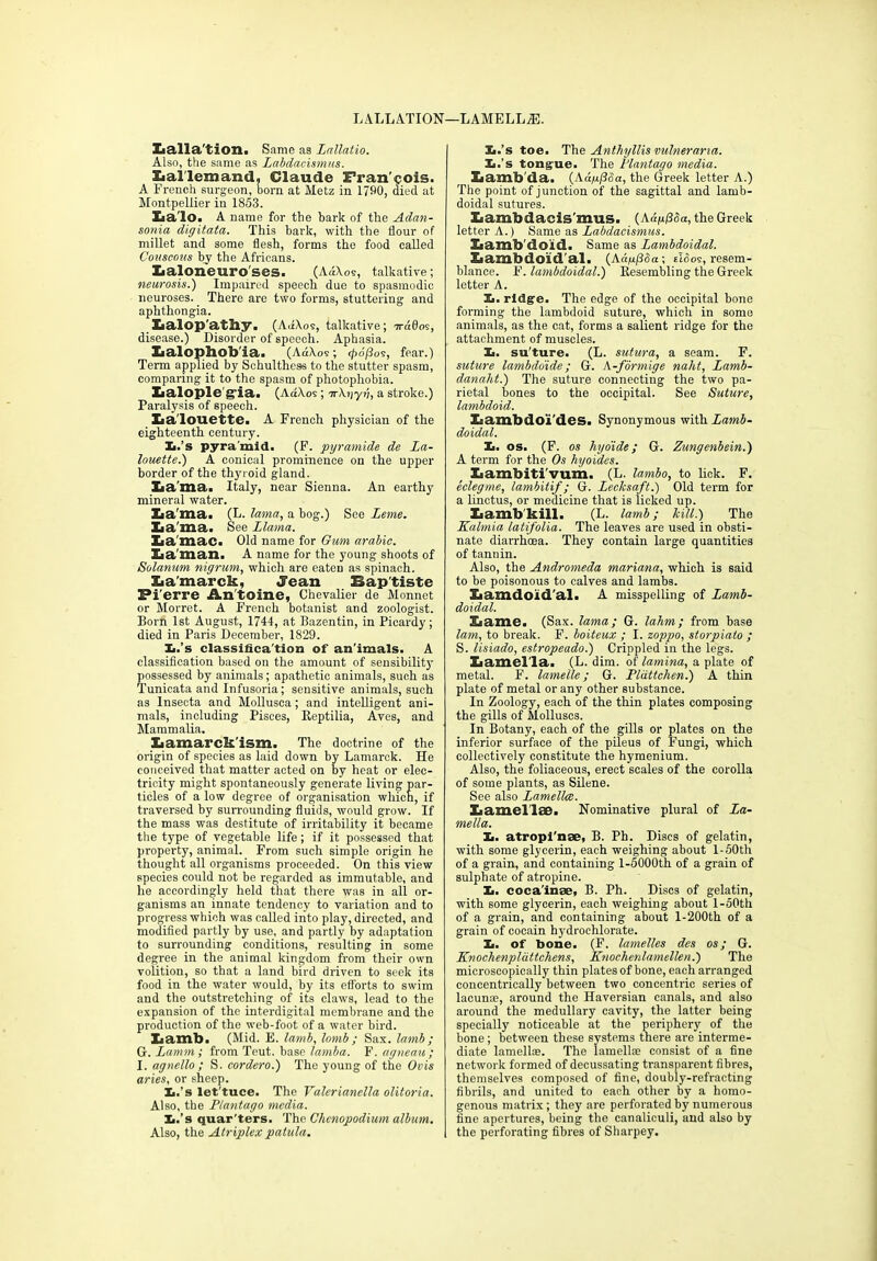 LALLATION—LAMELL2E. Iialla'tion. Same as Lallatio. Also, the same as Labdacismus. Iiallemand, Claude Fran'eois. A French surgeon, born at Metz in 1790, died at Montpellier in 1853. Zia'lo. A name for the bark of the Adan- sonia digitata. This bark, with the flour of millet and some flesh, forms the food called Couscous by the Africans. Xaaloneuro'ses. (AaXos, talkative; neurosis.) Impaired speech due to spasmodic neuroses. There are two forms, stuttering and aphthongia. Xialop'athy. (Ad Xos, talkative; 7rd0os, disease.) Disorder of speech. Aphasia. Xialophob'ia. (AdXos; tpojios, fear.) Term applied by Schulthess to the stutter spasm, comparing it to the spasm of photophobia. Xialople gia. (AdXos ; •jrXijyr;, a stroke.) Paralysis of speech. Xia'louette. A French physician of the eighteenth century. Xi.’s pyramid. (F. pyramids de La- louette.) A conical prominence on the upper border of the thyroid gland. Lama. Italy, near Sienna. An earthy mineral water. Xia'ma. (L. lama, a bog.) See Leme. La ma. See Llama. Xia'mac. Old name for Gum arable. La'man. A name for the young shoots of Solarium nigrum, which are eaten as spinach. Lamarck, Jean Baptiste Pi'erre Antoine, Chevalier de Monnet or Morret. A French botanist and zoologist. Born 1st August, 1744, at Bazentin, in Picardy; died in Paris December, 1829. Xi.’s classifica tion of an'imals. A classification based on the amount of sensibility possessed by animals; apathetic animals, such as Tunicata and Infusoria; sensitive animals, such as Insecta and Mollusca; and intelligent ani- mals, including Pisces, Reptilia, Aves, and Mammalia. Lamarckism. The doctrine of the origin of species as laid down by Lamarck. He conceived that matter acted on by heat or elec- tricity might spontaneously generate living par- ticles of a low degree of organisation which, if traversed by surrounding fluids, would grow. If the mass was destitute of irritability it became the type of vegetable life; if it possessed that property, animal. From such simple origin he thought all organisms proceeded. On this view species could not be regarded as immutable, and he accordingly held that there was in all or- ganisms an innate tendency to variation and to progress which was called into play, directed, and modified partly by use, and partly by adaptation to surrounding conditions, resulting in some degree in the animal kingdom from their own volition, so that a land bird driven to seek its food in the water would, by its efforts to swim and the outstretching of its claws, lead to the expansion of the interdigital membrane and the production of the web-foot of a water bird. Lamb. (Mid. E. lamb, lomb ; Sax. lamb; G. Lamm; from Teut. base larnba. F. agneau; I. agnello ; S. cordero.) The young of the Ovis aries, or sheep. Xi.’s let'tuce. The Valerianella olitoria. Also, the Plantago media. Ii.’s quar'ters. The Chcnopodium album. Also, the Atriplex palula. Xi.’s toe. The Anthyllis vulnerana. Ii.’s tongue. The Plantago media. Xiamb'da. (Aayfiba, the Greek letter A.) The point of junction of the sagittal and larnb- doidal sutures. Lambdacis'mus. (Ad|U/35a, the Greek letter A.) Same as Labdacismus. Lamb doid. Same as Lambdoidal. Eiambdoid'al. (Adp/3.5a; eldos, resem- blance. F. lambdoidal.) Resembling the Greek letter A. Xi. ridge. The edge of the occipital bone forming the lambdoid suture, which in some animals, as the cat, forms a salient ridge for the attachment of muscles. Xi. su'ture. (L. sutura, a seam. F. suture lambdo'ide; G. A-formige naht, Lamb- danaht.) The suture connecting the two pa- rietal bones to the occipital. See Suture, lambdoid. Xiambdo’i'des. Synonymous with Lamb- doidal. Xi. OS. (F. os hyoide; G. Zungenbein.) A term for the Os hyoides. Xiambiti'vum. (L. lambo, to lick. F. eclegme, lambitif ; G. Leclcsaft.) Old term for a linctus, or medicine that is licked up. Xiamb'kill. (L. lamb; kill.) The Kalmia latifolia. The leaves are used in obsti- nate diarrhoea. They contain large quantities of tannin. Also, the Andromeda mariana, which is said to be poisonous to calves and lambs. Bamdoid'al. A misspelling of Lamb- doidal. Lame. (Sax. lama; G. lahm; from base lam, to break. F. boiteux ; I. zoppo, storpiato ; S. lisiado, estropeado.) Crippled in the legs. Xi amelia. (L. dim. of lamina, a plate of metal. F. lamelle; G. Plattchen.) A thin plate of metal or any other substance. In Zoology, each of the thin plates composing the gills of Molluscs. In Botany, each of the gills or plates on the inferior surface of the pileus of Fungi, which collectively constitute the hymenium. Also, the foliaceous, erect scales of the corolla of some plants, as Silene. See also Lamellce. Xiamel'lse. Nominative plural of La- mella. Xi. atropi'nse, B. Ph. Discs of gelatin, with some glycerin, each weighing about l-50th of a grain, and containing l-5000th of a grain of sulphate of atropine. Xi. coca'inse, B. Ph. Discs of gelatin, with some glycerin, each weighing about l-50th of a grain, and containing about l-200th of a grain of cocain hydroehlorate. Xi. of bone. (F. lamelles des os; G. Knochenplattchens, Knochenlamellen.) The microscopically thin plates of bone, each arranged concentrically between two concentric series of lacunae, around the Haversian canals, and also around the medullary cavity, the latter being specially noticeable at the periphery of the bone; between these systems there are interme- diate lamelhe. The lamellae consist of a fine network formed of decussating transparent fibres, themselves composed of fine, doubly-refracting fibrils, and united to each other by a homo- genous matrix; they are perforated by numerous fine apertures, being the canaliculi, and also by the perforating fibres of Sharpey.