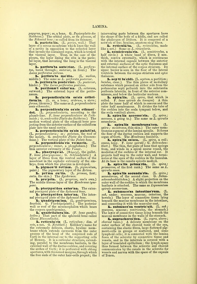 papyrus, paper; os, a bone. G. Papierplatte des Siebbeins.; The orbital plate, or Os planum, of the Ethmoid bone ; so called from its thiuness. X. parieta'lis. (L. paries, wall.) That layer of a serous membrane which lines the wall of a cavity in opposition to the reflected layer that invests the contained organ, which is termed the visceral layer. Thus, in the case of the pleura, the layer lining the ribs is the parie- tal layer, that investing the lung is the visceral layer. X. perfora'ta ante rior. (L. perfora- tus, bored through ; anterior, in front.) The Locus perforatus anticus. X. perfora'ta me'dia. (L. medius, middle.) The same as A. perforata posterior. X. perfora'ta poste'rior. (L. posterior, hinder.) The Locus perforatus posticus. X. peritonae'i exter na. (L. externus, outward.) The external layer of the perito- nseum. X. perpendicula'rls os'sis cribri- form'ls. (L. os, a bone; cribrum, a sieve; forma, likeness.) The same as L.perpendicularis ossis ethmoidei. X. perpendicula'ris os'sis etbmoi'- dei. (L. perpendicularis, according to the plumb-line. F. lame perpendiculaire de Veth- moide ; G. senkrechte Platte des Siebbeins.) The median vertical plate of the ethmoid bone pro- jecting from the anterior surface of the cribriform plate into the nasal cavity. X. perpendicula'ris os'sis palati'nl. (L. perpendicularis; os; palatum, the roof of the mouth. G. senkrechte Platte des Gaumen- beins.) The vertical plate of the Palate bone. X. perpendicula'ris vo'meris. (L. perpendicularis; vomer, a ploughshare.) The thin anterior extremity of the Vomer. X., pharyngeal. (<&apvy£, the gullet. F. lame pharyngienne; G. Schlundplatte.) A layer of fibres from the ventral surface of the mesoblast in the cephalic extremity of the em- bryo, from which the pharynx is developed. X. pigmen'ti retinae. (L. pigmentum, paint.) The pigmentary layer of the Retina. X. pri'ma cu’tis. (L. primus, first; cutis, the skin.) The Epidermis. X. pro'pria. (L. proprius, one’s own.) The middle fibrous layer of the Membrana tym- pani. X. pterygoi'dea exter'na. The exter- nal pterygoid plate of the Sphenoid bone. X. pterygoi'dea inter'na. The inter- nal pterygoid plate of the Sphenoid bone. X. quadrigem'ina. (L. quadrigeminus, fourfold. G. Vierhugelplatte.) The posterior wall or roof of the mesencephalon which bears the corpora quadrigemina. X. quadrilatera'lis. (F. lame quadri- latere.) That part of the sphenoid bone called Clivus Blumenbachii. X. reticula'ris (L. reticulum; dim. of rete, a net. G. Netzblatt.) Kolliker’s name for the extremely delicate, elastic, hyaline mem- brane which extends outwards from the outer process of the head of the conjoined rods of Corti in the internal ear to the supporting cells of Hensen. It is a cuticular structure, extend- ing, parallel to the membrana basilaris, to the external wall of the ductus cochleae, and covering the arches of Corti; it is perforated with oblong apertures, with thickened margins, through which intervening parts between the apertures have the shape of the body of a fiddle, and are called the phalanges of Deiters. It is composed of a network of fine, hyaline, anastomosing fibres. X. reticula'ta. (L. reticulatus, made like a net.) Same as L. reticularis. X. semicircula'ris. (L. semicirculus, a half circle.) A white band of fibres, 2 mm. thick, convex externally, which is continuous with the internal capsule between the anterior and external surfaces of the optic thalamus and the internal surface of the corpus striatum. Its upper border is seen in the floor of the lateral ventricle between the corpus striatum and optic thalamus. X. sep'tl lu'cidi. (L. septum, a partition ; lucidus, clear.) The thin plates of medullary substance which proceed on either side from the pedunculus septi pellueidi into the substantia perforata lateralis, in front of the anterior com- missure, and below the lenticular nucleus. X. spira'lis. (L. spira, that which is coiled. F. lame spirale du limaqori) A thin plate the inner half of which is osseous and the outer half membranous. It divides the tube of the cochlea into the scala tympani below, and the scala vestibuli above. X. spira'lis accesso'ria. (L. spira; accessus, a going to.) The same as L. spiralis secundaria. X. spiralis membrana’cea. (L. spira ; membrana, thin skin.) The outer mem- branous segment of the lamina spiralis. It forms the floor of the ductus cochlea and supports the organ of Corti. The Membrana basilaris. X. spira'lis os'sea. (L. spira, a coil; osseus, bony. F. lame spirale ; G. Schrauben- blatt.) The thin, flat plate of bone that springs from, and winds in a spiral course round, the modiolus of the cochlea of the internal ear. It projects half way to the outer wall, and termi- nates at the apex of the cochlea in the hamulus. At its base is the canalis spiralis modioli. X. spira'lis prima'rla. (L. spira; primarius, of the first rank.) The same as L. spiralis ossea. X. spira'lis secunda’ria. (L. spira; secundarius, of the second class. G. Neben- schraubenbldttchen.) A slight projection on the outer wall of the cochlea to which the membrana basilaris is attached. The same as Ligamentum spirale accessorium. X. submuco'sa lntestlno'rum. (L. sub, under; mucosus, mucous; intestina, the bowels.) The layer of connective tissue lying beneath the mucous membrane in the intestines, and connecting it with the muscular coat. X. submuco’sa ventric'uli. (L. sub ; mucosus, mucous; ventriculus, the stomach.) The layer of connective tissue lying beneath the mucous membrane in the walls of the stomach. X. suprachoroi'dea. (L. supra, above ; choroid tunic.) A delicate membrane on the outer surface of the choroid tunic of the eye, containing fine elastic fibres, large flattened pig- ment-cells in groups or scattered, and some lymphoid cells; it is connected with the lamina fusca of the sclerotic by connective tissue and vessels, and in the intervals is covered with a layer of tesselated epithelium ; the lymph-space thus formed between the sclerotic and choroid communicates by the canals in the sclerotic for vessels and nerves with the space of the capsule