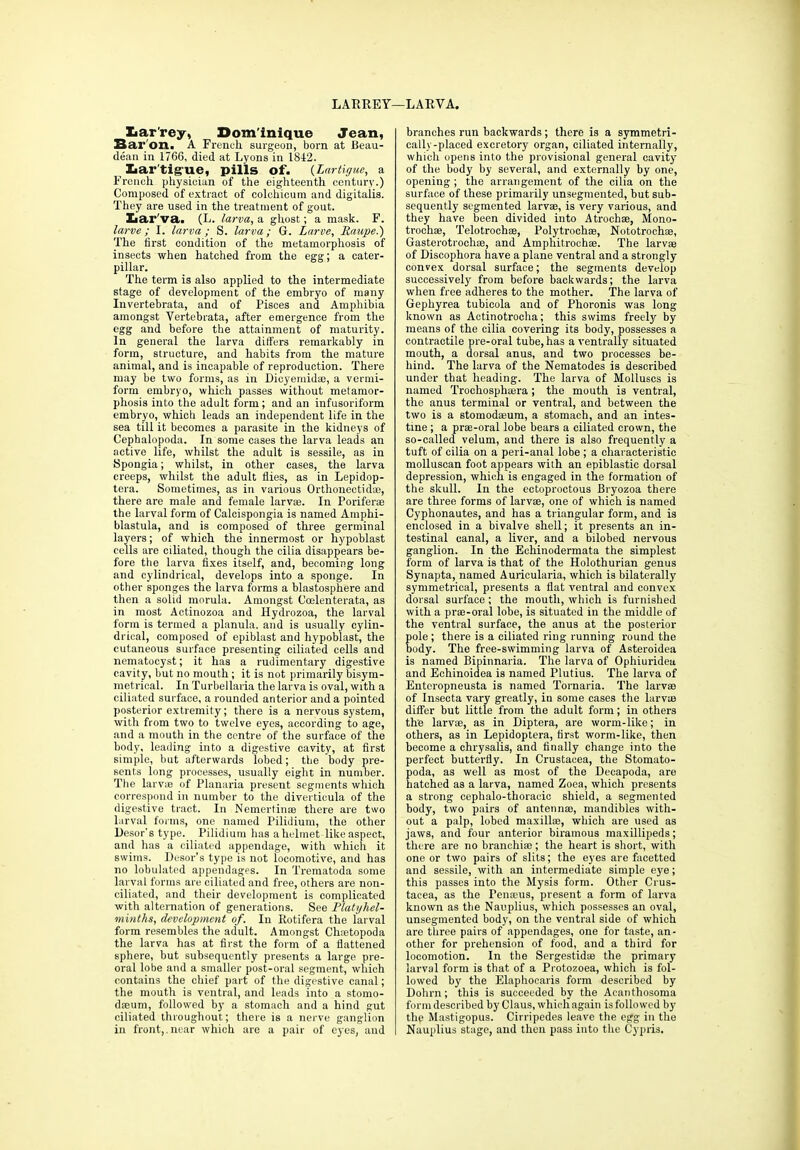LARREY Xaar'rey, Dominique Jean, Bar on. A French, surgeon, born at Beau- dean in 1766, died at Lyons in 1842. Lartigue, pills of. (Lartigue, a French physician of the eighteenth century.) Composed of extract of colchicum and digitalis. They are used in the treatment of gout. Larva. (L. larva, a ghost; a mask. F. larve ; I. larva; S. larva; G. Larve, Raupe.) The first condition of the metamorphosis of insects when hatched from the egg; a cater- pillar. The term is also applied to the intermediate stage of development of the embryo of many Invertebrata, and of Pisces and Amphibia amongst Vertebrata, after emergence from the egg and before the attainment of maturity. In general the larva differs remarkably in form, structure, and habits from the mature animal, and is incapable of reproduction. There may be two forms, as in Dicyemidm, a vermi- form embryo, which passes without metamor- phosis into the adult form; and an infusoriform embryo, which leads an independent life in the sea till it becomes a parasite in the kidneys of Cephalopoda. In some cases the larva leads an active life, whilst the adult is sessile, as in Spongia; whilst, in other cases, the larva creeps, whilst the adult flies, as in Lepidop- tera. Sometimes, as in various Orthonectidae, there are male and female larvae. In Poriferae the larval form of Calcispongia is named Amphi- blastula, and is composed of three germinal layers; of which the innermost or hypoblast cells are ciliated, though the cilia disappears be- fore the larva fixes itself, and, becoming long and cylindrical, develops into a sponge. In other sponges the larva forms a blastosphere and then a solid morula. Amongst Coelenterata, as in most Actinozoa and Hydrozoa, the larval form is termed a planula, and is usually cylin- drical, composed of epiblast and hypoblast, the cutaneous surface presenting ciliated cells and nematocyst; it has a rudimentary digestive cavity, but no mouth; it is not primarily bisym- metrical. In Turbellaria the larva is oval, with a ciliated surface, a rounded anterior and a pointed posterior extremity; there is a nervous system, with from two to twelve eyes, according to age, and a mouth in the centre of the surface of the body, leading into a digestive cavity, at first simple, but afterwards lobed; the body pre- sents long processes, usually eight in number. The larvre of Planaria present segments which correspond in number to the diverticula of the digestive tract. In Nemertinse there are two larval forms, one named Pilidium, the other Desor's type. Pilidium has a helmet like aspect, and has a ciliated appendage, with which it swims. Desor’s type is not locomotive, and has no lobulated appendages. In Trematoda some larval forms are ciliated and free, others are non- ciliated, and their development is complicated with alternation of generations. See Platyhel- minths, development of. In Rotifera the larval form resembles the adult. Amongst Chsetopoda the larva has at first the form of a flattened sphere, but subsequently presents a large pre- oral lobe and a smaller post-oral segment, which contains the chief part of the digestive canal; the mouth is ventral, and leads into a stomo- dseum, followed by a stomach and a hind gut ciliated throughout; there is a nerve ganglion in front,.near which are a pair of eyes, and LARVA. branches run backwards; there is a symmetri- cally-placed excretory organ, ciliated internally, which opens into the provisional general cavity' of the body by several, and externally by one, opening ; the arrangement of the cilia on the surface of these primarily unsegmented, but sub- sequently segmented larvte, is very various, and they have been divided into Atrochse, Mono- trochse, Telotroch®, Polytrochse, Nototrochae, Gasterotrochas, and Amphitrochas. The larvae of Discophora have a plane ventral and a strongly convex dorsal surface; the segments develop successively from before backwards; the larva when free adheres to the mother. The larva of Gephyrea tubicola and of Phoronis was long known as Actinotrocha; this swims freely by means of the cilia covering its body, possesses a contractile pre-oral tube, has a ventrally situated mouth, a dorsal anus, and two processes be- hind. The larva of the Nematodes is described under that heading. The larva of Molluscs is named Troehospha;ra; the mouth is ventral, the anus terminal or ventral, and between the two is a stomodasum, a stomach, and an intes- tine ; a prse-oral lobe bears a ciliated crown, the so-called velum, and there is also frequently a tuft of cilia on a peri-anal lobe ; a characteristic molluscan foot appears with an epiblastic dorsal depression, which is engaged in the formation of the skull. In the ectoproctous Bryozoa there are three forms of larvae, one of which is named Cyphonautes, and has a triangular form, and is enclosed in a bivalve shell; it presents an in- testinal canal, a liver, and a bilobed nervous ganglion. In the Echinodermata the simplest form of larva is that of the Holothurian genus Synapta, named Auricularia, which is bilaterally symmetrical, presents a flat ventral and convex dorsal surface ; the mouth, which is furnished with a pra3-oral lobe, is situated in the middle of the ventral surface, the anus at the posterior ole ; there is a ciliated ring running round the ody. The free-swimming larva of Asteroidea is named Bipinnaria. The larva of Ophiuridea and Echinoidea is named Plutius. The larva of Enteropneusta is named Tornaria. The larvae of Insecta vary greatly, in some cases the larvae differ but little from the adult form; in others the larvae, as in Diptera, are worm-like; in others, as in Lepidoptera, first worm-like, then become a chrysalis, and finally change into the perfect butterfly. In Crustacea, the Stomato- poda, as well as most of the Deeapoda, are hatched as a larva, named Zoea, which presents a strong cephalo-tlioracic shield, a segmented body, two pairs of antennae, mandibles with- out a palp, lobed maxillae, which are used as jaws, and four anterior biramous maxillipeds; there are no branchiae ; the heart is short, with one or two pairs of slits; the eyes are facetted and sessile, with an intermediate simple eye; this passes into the Mysis form. Other Crus- tacea, as the Tenseus, present a form of larva known as the Nauplius, which possesses an oval, unsegmented body, on the ventral side of which are three pairs of appendages, one for taste, an- other for prehension of food, and a third for locomotion. In the Sergestidse the primary larval form is that of a Protozoea, which is fol- lowed by the Elaphocaris form described by Dohrn; this is succeeded by the Acanthosoma form described by Claus, which again is followed by the Mastigopus. Cirripedes leave the egg in the Nauplius stage, and then pass into the Cypris.