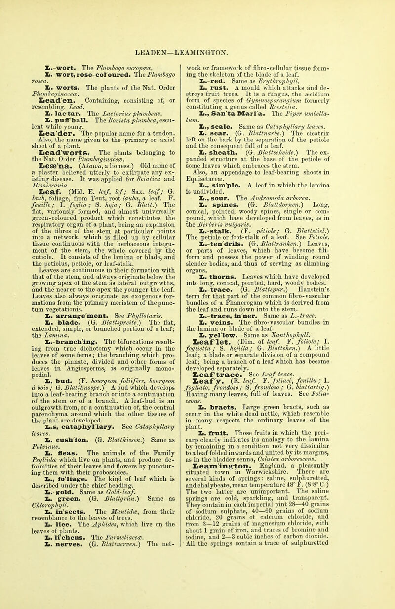 LEADEN—LEAMINGTON. Ii.-wort. The Plumbago earopcea. L.-wort, rose- col oured. The Plumbago rosea. 1., worts. The plants of the Nat. Order Plumb aginacece. Leaden. Containing, consisting of, or resembling. Lead. X>. lac'tar. The Lactarius plumbeus. It. puffball. The Bovista plumbed, escu- lent while young. Xiea'der. The popular name for a tendon. Also, the name given to the primary or axial shoot of a plant. Lead'wortS. The plants belonging to the Nat. Order Plumbaginacece. Lese'na. (Ataeva, a lioness.) Old name of a plaster believed utterly to extirpate any ex- isting disease. It was applied for Sciatica and LLemicrania. Leaf. (Mid. E. leef, lef ; Sax. leaf; G. laub, foliage, from Teut. root lauba, a leaf. F. feuille; I. foglia; S. hoja; G. Blatt.) The flat, variously formed, and almost universally green-coloured product which constitutes the respiratory organ of a plant, being an expansion of the fibres of the stem at particular points into a network, which is filled up by cellular tissue continuous with the herbaceous integu- ment of the stem, the whole covered by the cuticle. It consists of the lamina or blade, and the petiolus, petiole, or leaf-stalk. Leaves are continuous in their formation with that of the stem, and always originate below the growing apex of the stem as lateral outgrowths, and the nearer to the apex the younger the leaf. Leaves also always originate as exogenous for- mations from the primary meristem of the punc- tual vegetationis. Xi. arrange'ment. See Phyllotaxis. It. blade. (G. Blattspreite.) The flat, extended, simple, or branched portion of a leaf; the Lamina. Ii.-branch ing. The bifurcations result- ing from true dichotomy which occur in the leaves of some ferns; the branching which pro- duces the pinnate, divided and other forms of leaves in Angiosperms, is originally mono- podial. Xi. bud. (F. bourgeon foliifere, bourgeon u, hois ; G. Blattknospe.) A bud which develops into a leaf-bearing branch or into a continuation of the stem or of a branch. A leaf-bud is an outgrowth from, or a continuation of, the central parenchyma around which the other tissues of the p'ant are developed. 11.. s, cataphyl'lary. See Cataphyllary leaves. Xa. cusb'lon. (G. Blattkissen.) Same as Pulvinus. It. fleas. The animals of the Family Psyllidce which live on plants, and produce de- formities of their leaves and flowers by punctur- ing them with their proboscides. !■., fo'liage. The kind of leaf which is described under the chief heading. £. gold. Same as Gold-leaf. Ii. green. (G. Blattgriin.) Same as Chlorophyll. Ii. in'sects. The Mantidce, from their resemblance to the leaves of trees. Xi.-lice. The Aphides, which live on the leaves of plants. Xi. Ii’chens. The Parmeliacece. Xi. nerves. (G. Blattnerven.) The net- work or framework of fibro-cellular tissue form- ing the skeleton of the blade of a leaf. Xi.-red. Same as Erythrophyll. It. rust. A mould which attacks and de- stroys fruit trees. It is a fungus, the ascidium form of species of Gymnosporangium formerly constituting a genus called Eoestelia. Xi., San ta Marl'a. The Piper umbella- tum. It., scale. Same as Cataphyllary leaves. Xi. scar. (G. Blattnarbe.) The cicatrix left on the bark by the separation of the petiole and the consequent fall of a leaf. Xi. sheath. (G. Blattscheide.) The ex- panded structure at the base of the petiole of some leaves which embraces the stem. Also, an appendage to leaf-bearing shoots in Equisetacem. Xi., slm'ple. A leaf in which the lamina is undivided. Xi., sour. The Andromeda arborea. Xi. spines. (G. Blattdornen.) Long, conical, pointed, woody spines, single or com- pound, which have developed from leaves, as in the Berberis vulgaris. Xi.-stalk. (F. petiole; G. Blattsliel.) The petiole or foot-stalk of a leaf. See Petiole. Ii.-ten'drils. (G. Blattranken.) Leaves, or parts of leaves, which have become fili- form and possess the power of winding round slender bodies, and thus of serving as climbing organs. Ii. thorns. Leaves which have developed into long, conical, pointed, hard, woody bodies. Xi.-trace. (G. Blattspur.) lianstein’s term for that part of the common fibro-vascular bundles of a Phanerogam which is derived from the leaf and runs down into the stem. Ii.-trace, In'ner. Same as L.-trace. Xi. veins. The fibro-vascular bundles in the lamina or blade of a leaf. Xi. yel'low. Same as Xanthophyll. Leaf let. (Dim. of leaf. F. foliole; I. foglietta; S. hojilla; G. Bldttchen.) A little leaf; a blade or separate division of a compound leaf; being a branch of a leaf which has become developed separately. Leaf'trace. See Leaf-trace. Leaf y. (E. leaf. F. foliace, feuillu ; I. fogliato, frondoso ; S. frondoso ; G. blattartig.) Having many leaves, full of leaves. See Folia- ceous. Xi. bracts. Large green bracts, such as occur in the white dead nettle, which resemble in many respects the ordinary leaves of the plant. Xi. fruit. Those fruits in which the peri- carp clearly indicates its analogy to the lamina by remaining in a condition not very dissimilar to a leaf folded inwards and united by its margins, as in the bladder senna, Colutea arborescens. Leamington. England, a pleasantly situated town in Warwickshire. There are several kinds of springs: saline, sulphuretted, and chalybeate, mean temperature 48° F. (8'8° C.) The two latter are unimportant. The saline springs are cold, sparkling, and transparent. They contain in each imperial pint 28—40 grains of sodium sulphate, 40—60 grains of sodium chloride, 20 grains of calcium chloride, and from 3—12 grains of magnesium chloride, with about 1 grain of iron, and traces of bromine and iodine, and 2—3 cubic inches of carbon dioxide. All the springs contain a trace of sulphuretted