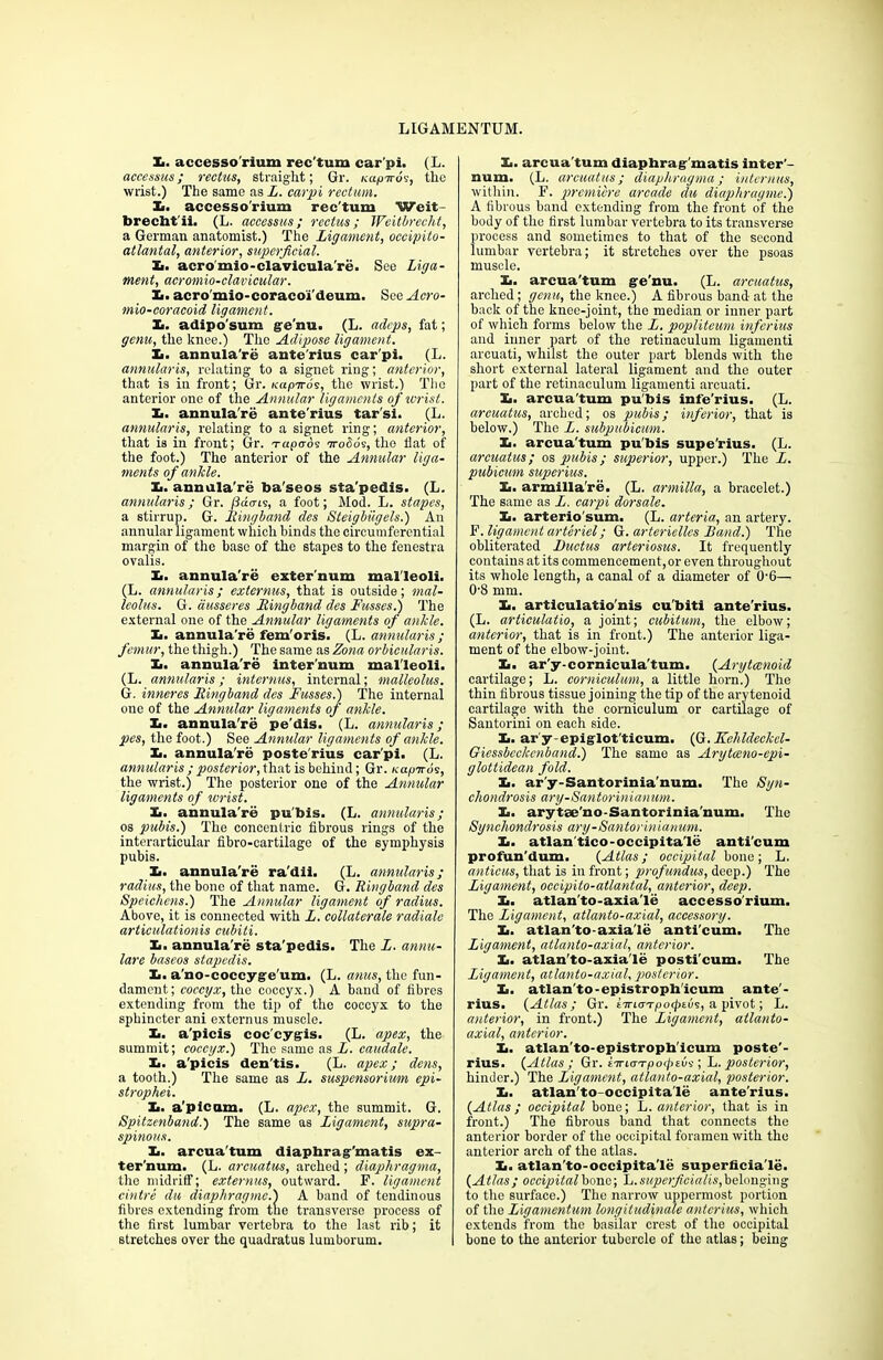 Xi. accesso'rium rec'tum car'pi. (L. accessus; rectus, straight; Gr. uapiros, the wrist.) The same as L. carpi rectum. Xi. accesso'rium rec'tum Weit- brecht'ii. (L. accessus; rectus; Weitbrecht, a German anatomist.) The Ligament, occipito- atlantal, anterior, superficial. Xi. acro'mio-clavicula're. See Liga- ment, acromio-clavicular. X>. acro'mio-coracoi'deum. See Acro- mio-coracoid ligament. Xi. adipo'sum ge'nu. (L. adeps, fat; genu, the knee.) The Adipose ligament. £. annula're aute'rius car'pi. (L. annularis, relating to a signet ring; anterior, that is in front; Gr. aapiros, the wrist.) The anterior one of the Annular ligaments of wrist. Xi. annula're ante'rius tar'si. (L. annularis, relating to a signet ring; anterior, that is in front; Gr. Tctpcrds ttoSos, the flat of the foot.) The anterior of the Annular liga- ments of ankle. Xi. annula're ba'seos sta'pedis. (L. annularis; Gr. (Sums, a foot; Mod. L. stapes, a stirrup. G. liingband des Steigbiigels.) An annular ligament which binds the circumferential margin of the base of the stapes to the fenestra ovalis. Xi. annula're externum malleoli. (L. annularis; externus, that is outside; mal- leolus. G. ausseres Liingband des Fusses.) The external one of the Annular ligaments of ankle. Xi. annula're fem'oris. (L. annularis ; femur, the thigh.) The same as Zona orbicularis. Xi. annula're inter'num malleoli. (L. annularis; internus, internal; malleolus. G. inneres liingband des Fusses.) The internal one of the Annular ligaments of ankle. Xi. annula're pe'dis. (L. annularis; pes, the foot.) See Annular ligaments of ankle. Xi. annula're poste'rius car'pi. (L. annularis ; posterior, that is behind; Gr. Kapiros, the wrist.) The posterior one of the Annular ligaments of wrist. Xi. annula're pu'bis. (L. annularis; os pubis.) The concentric fibrous rings of the interarticular fibro-cartilagc of the symphysis pubis. Ii. annula're ra'dii. (L. annularis; radius, the bone of that name. G. Ringband des Speicliens.) The Annular ligament of radius. Above, it is connected with L. collateral radiate articulationis cubiti. Xi. annula're sta'pedis. The Z. annu- lare baseos stapedis. Xi. a'no-coccyge'um. (L. anus, the fun- dament; coccyx, the coccyx.) A band of fibres extending from the tip of the coccyx to the sphincter ani externus muscle. Xi. a'picis coc'cygis. (L. apex, the summit; coccyx.) The same as Z. caudate. Ii. a'picis den'tis. (L. apex; dens, a tooth.) The same as Z. suspensoriwm epi- strophei. Xi. a'picam. (L. apex, the summit. G. Spitzenband.) The same as Ligament, supra- spinous. Xi. arcua'tum diaphrag’matis ex- ternum. (L. arcuatus, arched ; diaphragma, tile midriff; externus, outward. F. ligament cintre da diaphragme.) A band of tendinous fibres extending from tue transverse process of the first lumbar vertebra to the last rib; it stretches over the quadratus lumborum. I., arcua'tum diaphrag'matis inter'- num. (L. arcuatus; diaphragma; internus, within. F. premiere arcade du diaphragme.) A fibrous band extending from the front of the body of the first lumbar vertebra to its transverse process and sometimes to that of the second lumbar vertebra; it stretches over the psoas muscle. Xi. arcua'tum ge'nu. (L. arcuatus, arched; genu,, the knee.) A fibrous band at the back of the knee-joint, the median or inner part of which forms below the Z. popliteum inferius and inner part of the retinaculum ligamenti areuati, whilst the outer part blends with the short external lateral ligament and the outer part of the retinaculum ligamenti areuati. Xi. arcua'tum pu'bis infe'rius. (L. arcuatus, arched; os pubis; inferior, that is below.) The Z. subpubicum. X. arcua'tum pu'bis supe'rius. (L. arcuatus; os pubis; superior, upper.) The Z. pubicum super-iiis. Xi. armilla're. (L. armilla, a bracelet.) The same as Z. carpi dorsale. X. arterio'sum. (L. arteria, an artery. F. ligament arteriel; G. arteriellcs Land.) The obliterated Ductus arteriosus. It frequently contains at its commencement, or even throughout its whole length, a canal of a diameter of 0-6— 0-8 mm. Xi. articulatio'nis cu'biti ante'rius. (L. articulatio, a joint; cubitum, the elbow; anterior, that is in front.) The anterior liga- ment of the elbow-joint. Xi. ar'y-cornicula'tum. (Arytcenoid cartilage; L. corniculum, a little horn.) The thin fibrous tissue joining the tip of the arytenoid cartilage with the corniculum or cartilage of Santorini on each side. Xi. ar'y-epiglot'ticum. (G.Kehldeckcl- Giessbcckcnband.) The same as Arytccno-epi- glottidean fold. Xi. ar'y-Santorinia'num. The Syn- chondrosis ary-Santorinianum. Xi. arytse'no-Santorinia'num. The Synchondrosis ary-Santorinianum. Xi. atlan'tico-occipita'le anti'eum profun'dum. {Atlas; occipital bone; L. anticus, that is in front; profundus, deep.) The Ligament, occipito-atlantal, anterior, deep. Xi. atlan'to-axia'le accesso'rium. The Ligament, atlanto-axial, accessory. Xi. atlan'to-axia'le anti'eum. The Ligament, atlanto-axial, anterior. Xi. atlan'to-axia'le posti'eum. The Ligament, atlanto-axial, posterior. Xi. atlan'to-epistroph'icum ante'- rius. {Atlas; Gr. iiricnpocpius, a pivot; L. anterior, in front.) The Ligament, atlanto- axial, anterior. Xi. atlan'to-epistropb'icum poste'- rius. {Atlas; Gr. tTrio-Tpoftvs ; L. posterior, hinder.) The Ligament, atlanto-axial, posterior. Xi. atlan'to-occipita'le ante'rius. {Atlas; occipital bone; L. anterior, that is in front.) The fibrous band that connects the anterior border of the occipital foramen with the anterior arch of the atlas. Xi. atlan'to-occipita'le superficia'le. {Atlas; occipital\><mo', L.superficialis,belonging to the surface.) The narrow uppermost portion of the Ligamentum longitudinale anterius, which extends from the basilar crest of the occipital bone to the anterior tubercle of the atlas; being