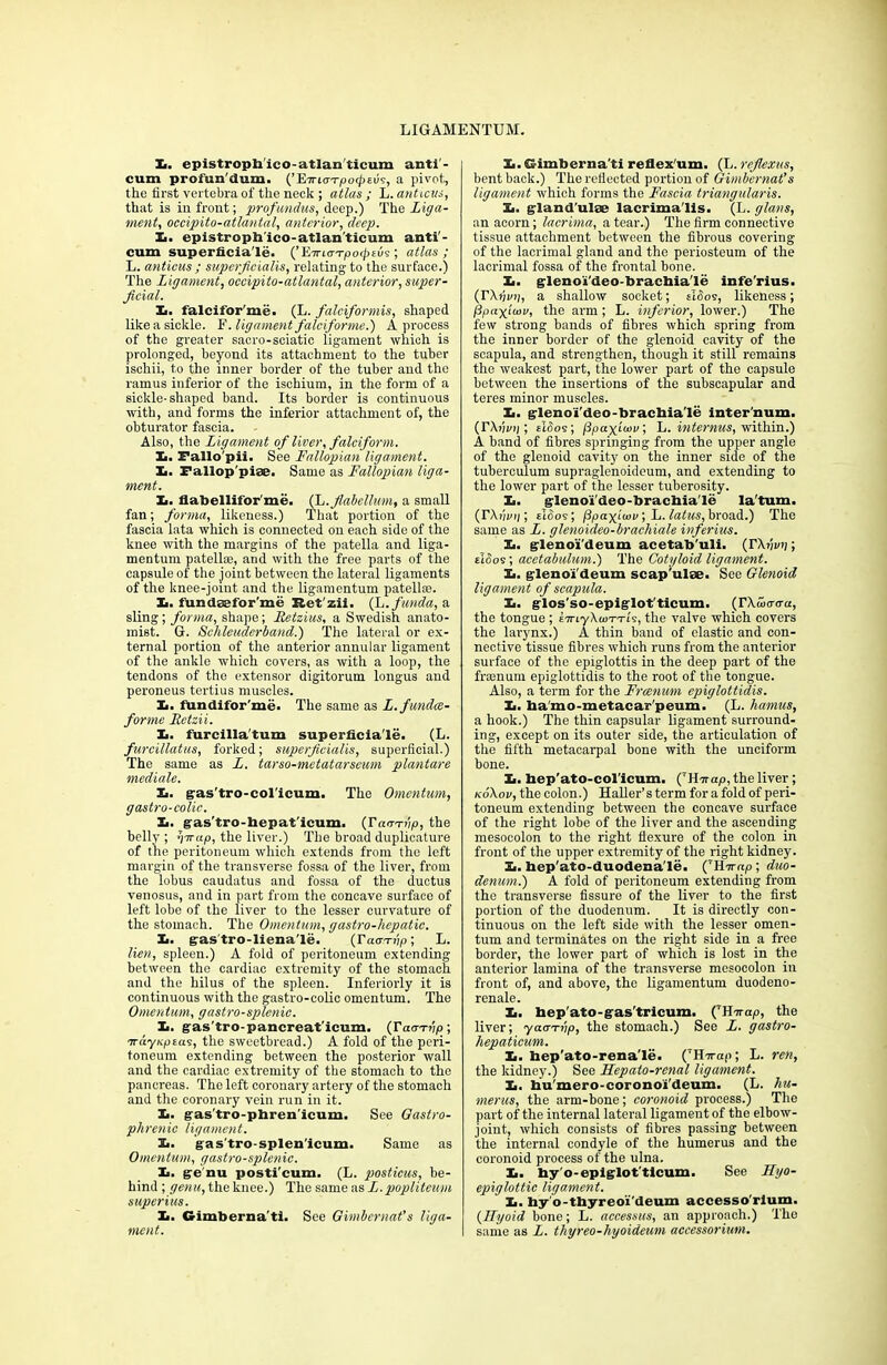 If. epistropb'ico-atlan'ticum antl'- cum profun'dum. (’ETn.<n-po(fitus, a pivot,, the first vertebra of the neck ; atlas; L.anticus, that is in front; profundus, deep.) The Liga- ment, occipito-atlantal, anterior, deep. Xi. epistropb'ico-atlan’ticum anti’- cum superficia’le. (’Evrio-Tpotptus ; atlas ; L. anticus ; superficialis, relating to the surface.) The Ligament, occipito-atlantal, anterior, super- ficial. Xi. falcifor'me. (L. falciformis, shaped like a sickle. F. ligament falcifor me.) A process of the greater sacro-sciatie ligament which is prolonged, beyond its attachment to the tuber ischii, to the inner border of the tuber and the ramus inferior of the ischium, in the form of a sickle-shaped band. Its border is continuous with, and forms the inferior attachment of, the obturator fascia. Also, the Ligament of liver, falciform. Ii. Fallopii. See Fallopian ligament. Xi. Falloppiae. Same as Fallopian liga- ment. X>. flabelliforme. (L.flabelhm, a small fan; forma, likeness.) That portion of the fascia lata which is connected on each side of the knee with the margins of the patella and liga- mentum patellae, and with the free parts of the capsule of the joint between the lateral ligaments of the knee-joint and the ligamentum patellfe. It. fundaefor’me Ret'zii. (L.funda, a sling; forma, shape; Retzius, a Swedish anato- mist. G. Schleuderband.) The lateral or ex- ternal portion of the anterior annular ligament of the ankle which covers, as with a loop, the tendons of the extensor digitorum longus and peroneus tertius muscles. Ii. fundifor'me. The same as L. fundee- forme Retzii. It. furcilla'tum superficia'le. (L. furcillatus, forked; superficialis, superficial.) The same as L. tarso-metatarseum plantare mediate. It. gas'tro-col'icum. The Omentum, g astro-colic. It. gas'tro-hepat'icum. {Yamhp, the belly ; »)irup, the liver.) The broad duplicature of the peritoneum which extends from the left margin of the transverse fossa of the liver, from the lobus caudatus and fossa of the ductus venosus, and in part from the concave surface of left lobe of the liver to the lesser curvature of the stomach. The Omentum, gastro-hepatic. It. gas'tro-liena'le. (rao-rrjp; L. lien, spleen.) A fold of peritoneum extending between the cardiac extremity of the stomach and the hilus of the spleen. Interiorly it is continuous with the gastro-colic omentum. The Omentum, gastro-splenic. It. gas'tro-pancreat'icum. (YaaTtip; 'rrdyKptas, the sweetbread.) A fold of the peri- toneum extending between the posterior wall and the cardiac extremity of the stomach to the pancreas. The left coronary artery of the stomach and the coronary vein run in it. It. gas'tro-phren'icum. See Gastro- phrenic ligament. It. gas'tro-splen'icum. Same as Omentum, gastro-splenic. It. ge nu posti'eum. (L. posticus, be- hind ; genu, the knee.) The same as L. popliteum superias. It. G-imberna’ti. See Gimbernat’s liga- ment. It. Gimberna'ti reflex um. (L. reflexus, bent back.) The reflected portion of Gimbernat’s ligament which forms the Fascia triangularis. It. gland'ulse lacrima'lis. (L. glans, an acorn; laerima, a tear.) The firm connective tissue attachment between the fibrous covering of the lacrimal gland and the periosteum of the lacrimal fossa of the frontal bone. £. glenoi'deo-brachia'le infe'rius. a shallow socket; eldos, likeness; (ipaxiwv, the arm; L. inferior, lower.) The few strong bands of fibres which spring from the inner border of the glenoid cavity of the scapula, and strengthen, though it still remains the weakest part, the lower part of the capsule between the insertions of the subscapular and teres minor muscles. It. glenoi'deo-brachia'le inter num. (TXfii/j;; EIS09; (ipaxiwv', L. internus, within.) A band of fibres springing from the upper angle of the glenoid cavity on the inner side of the tuberculum supraglenoideum, and extending to the lower part of the lesser tuberosity. It. g'lenoi'deo-brachia'le latum. (rXiiwii Etoos; fSpayicov; L. latus, broad.) The same as L. glenoideo-brachiale inferius. It. glenoi'deum acetab'uli. (rXijyi;; elSos; acetabulum.') The Cotyloid ligament. It. glenoi'deum scap'ulse. See Glenoid ligament of scapula. It. glos'so-epiglot'ticum. (rXooanra, the tongue ; i-KiyXun-TU, the valve which covers the larynx.) A thin band of clastic and con- nective tissue fibres which runs from the anterior surface of the epiglottis in the deep part of the frsenum epiglottidis to the root of the tongue. Also, a term for the Frcenum epiglottidis. It. ha'mo-metacar'peum. (L. hamus, a hook.) The thin capsular ligament surround- ing, except on its outer side, the articulation of the fifth metacarpal bone with the unciform bone. If. bep'ato-col'icum. (7H7rap, the liver ; koXov, the colon.) Haller’s term for a fold of peri- toneum extending between the concave surface of the right lobe of the liver and the ascending mesocolon to the right flexure of the colon in front of the upper extremity of the right kidney. Ii. hep'ato-duodena'le. CHirap ; duo- denum.) A fold of peritoneum extending from the transverse fissure of the liver to the first portion of the duodenum. It is directly con- tinuous on the left side with the lesser omen- tum and terminates on the right side in a free border, the lower part of which is lost in the anterior lamina of the transverse mesocolon in front of, and above, the ligamentum duodeno- renale. It. hep'ato-gas'tricum. CHirap, the liver; yaa-nip, the stomach.) See L. gastro- hepaticum. It. hep'ato-rena'le. (TH-7rap; L. ren, the kidney.) See Hepato-renal ligament. It. biu'mero-coronoi'deum. (L. hu- merus, the arm-bone; coronoid process.) The part of the internal lateral ligament of the elbow- joint, which consists of fibres passing between the internal condyle of the humerus and the coronoid process of the ulna. It. hy'o-epiglot'tlcum. See Hyo- epiglottic ligament. It. hy'o-thyreoi'deum accesso'rlum. (Hyoid bone; L. accessus, an approach.) The same as L. thyreo-hyoideum accessorium.