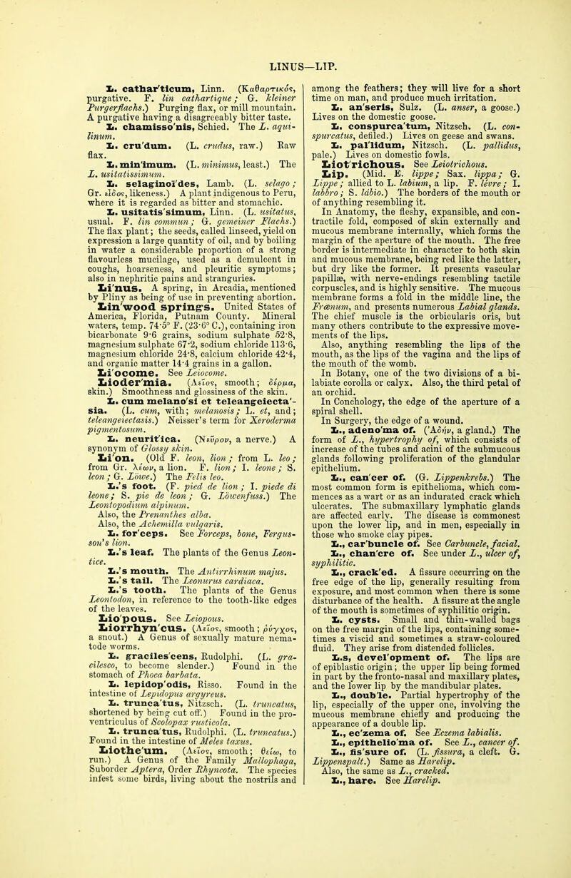 LINUS—LIP. Xi. cathar'tlcum, Linn. (KaflapTi/cos, purgative. F. lin cathartique; G. kleiner Purgerflachs.) Purging flax, or mill mountain. A purgative having a disagreeably bitter taste. I. ctaamisso'nis, Schied. The L. aqui- linum. Xi. cru'dum. (L. crudus, raw.) Eaw flax. Xi. minimum. (L. minimus, least.) The L. usitatissimum. Xi. selaginoi'des, Lamb. (L. selago; Gr. tides, likeness.) A plant indigenous to Peru, where it is regarded as bitter and stomachic. It. usitatis'simum, Linn. (L. usitatus, usual. F. lin commun; G. gemeiner Flachs.) The flax plant; the seeds, called linseed, yield on expression a large quantity of oil, and by boiling in water a considerable proportion of a strong flavourless mucilage, used as a demulcent in coughs, hoarseness, and pleuritic symptoms; also in nephritic pains and stranguries. Xii'nus. A spring, in Arcadia, mentioned by Pliny as being of use in preventing abortion. Iiin'wood spring's. United States of America, Florida, Putnam County. Mineral waters, temp. 74'5° F. (23'6° C.), containing iron bicarbonate 9-6 grains, sodium sulphate 52'8, magnesium sulphate 67'2, sodium chloride 113'6, magnesium chloride 24'8, calcium chloride 42'4, and organic matter 14'4 grains in a gallon. Iii ocome. See Leiocome. Xiioder mia. (Atio<s, smooth; Slppa, skin.) Smoothness and glossiness of the skin. Xi. cum melano'si et teleangeiecta'- sia. (L. cum, with; melanosis; L. et, and; teleangeiec-tasis.) Neisser’s term for Xeroderma •pigmentosum,. Xi. neurit'ica. (Nsupoi/, a nerve.) A synonym of Glossy skin. Xii'on. (Old F. leon, lion; from L. leo; from Gr. \iwv, a lion. F. lion; I. leone; S. leon ; G. Lowe.) The Felis leo. It.’s foot. (F. pied de lion; I. piede di leone; S. pie de leon; G. Lowenfuss.) The Leontopodimn alpinum. Also, the Prenanthes alba. Also, the Achemilla vulgaris. Xi. for'ceps. See Forceps, bone, Fergus- son’s lion. Xi.’s leaf. The plants of the Genus Leon- tice. Xi.’s mouth. The Antirrhinum majus. Xi.’s tail. The Leonurus cardiaca. Xi.’s tooth. The plants of the Genus Leontodon, in reference to the tooth-like edges of the leaves. Xiio'pous. See Leiopous. Liorrhyn cus. (Aeios, smooth; puyxos, a snout.) A Genus of sexually mature nema- tode worms. I>. graciles cens, Rudolphi. (L. gra- cilesco, to become slender.) Found in the stomach of Phoca barbata. It. lepidop'odis, Risso. Found in the intestine of Lepidopus argyreus. Xi. trunca tus, Nitzsch. (L. truneatus, shortened by being cut off.) Found in the pro- ventriculus of Scolopax rusticola. It. trunca tus, Rudolphi. (L. truncatus.) Found in the intestine of Meles taxus. Liotheum. (Attos, smooth; 6ti<o, to run.) A Genus of the Family Mallophaga, Suborder Aptera, Order Ehyncota. The species infest some birds, living about the nostrils and among the feathers; they will live for a short time on man, and produce much irritation. Xi. an'serls, Sulz. (L. anser, a goose.) Lives on the domestic goose. Xi. conspurca'tum, Nitzsch. (L. con- spurcatus, debled.) Lives on geese and swans. Xi. pal'lidum, Nitzsch. (L. pallidus, pale.) Lives on domestic fowls. Xaiot'richous. See Leiotrichous. Lip. (Mid. E. lippe; Sax. lippa; G. Lippe; allied to L. labium, a lip. F. levre ; I. labbro; S. labio.) The borders of the mouth or of anything resembling it. In Anatomy, the fleshy, expansible, and con- tractile fold, composed of skin externally and mucous membrane internally, which forms the margin of the aperture of the mouth. The free border is intermediate in character to both skin and mucous membrane, being red like the latter, but dry like the former. It presents vascular papillae, with nerve-endings resembling tactile corpuscles, and is highly sensitive. The mucous membrane forms a fold in the middle line, the Freenum, and presents numerous Labial glands. The chief muscle is the orbicularis oris, but many others contribute to the expressive move- ments of the lips. Also, anything resembling the lips of the mouth, as the lips of the vagina and the lips of the mouth of the womb. In Botany, one of the two divisions of a bi- labiate corolla or calyx. Also, the third petal of an orchid. In Conchology, the edge of the aperture of a spiral shell. In Surgery, the edge of a wound. Xi., adeno'ma of. (’Acijv, a gland.) The form of L., hypertrophy of, which consists of increase of the tubes and acini of the submucous glands following proliferation of the glandular epithelium. Xi., can'cer of. (G. Lippenkrebs.) The most common form is epithelioma, which com- mences as a wart or as an indurated crack which ulcerates. The submaxillary lymphatic glands are affected early. The disease is commonest upon the lower lip, and in men, especially in those who smoke clay pipes. Xi., car'buncle of. See Carbuncle, facial. Xi., chan cre of. See under L., ulcer of, syphilitic. It., crack'ed. A fissure occurring on the free edge of the lip, generally resulting from exposure, and most common when there is some disturbance of the health. A fissure at the angle of the mouth is sometimes of syphilitic origin. Xi. cysts. Small and thin-walled bags on the free margin of the lips, containing some- times a viscid and sometimes a straw-coloured fluid. They arise from distended follicles. X..s, devel'opment of. The lips are of epiblastic origin; the upper lip being formed in part by the fronto-nasal and maxillary plates, and the lower lip by the mandibular plates. Xi., double. Partial hypertrophy of the lip, especially of the upper one, involving the mucous membrane chiefly and producing the appearance of a double lip. Xi., ec’zema of. See Fczema labialis. Xi., epithelioma of. See L., cancer of. Xi., fis'sure of. (L. fssura, a cleft. G. Lippenspalt.) Same as Harelip. Also, the same as L., cracked. Xi., hare. See Harelip.