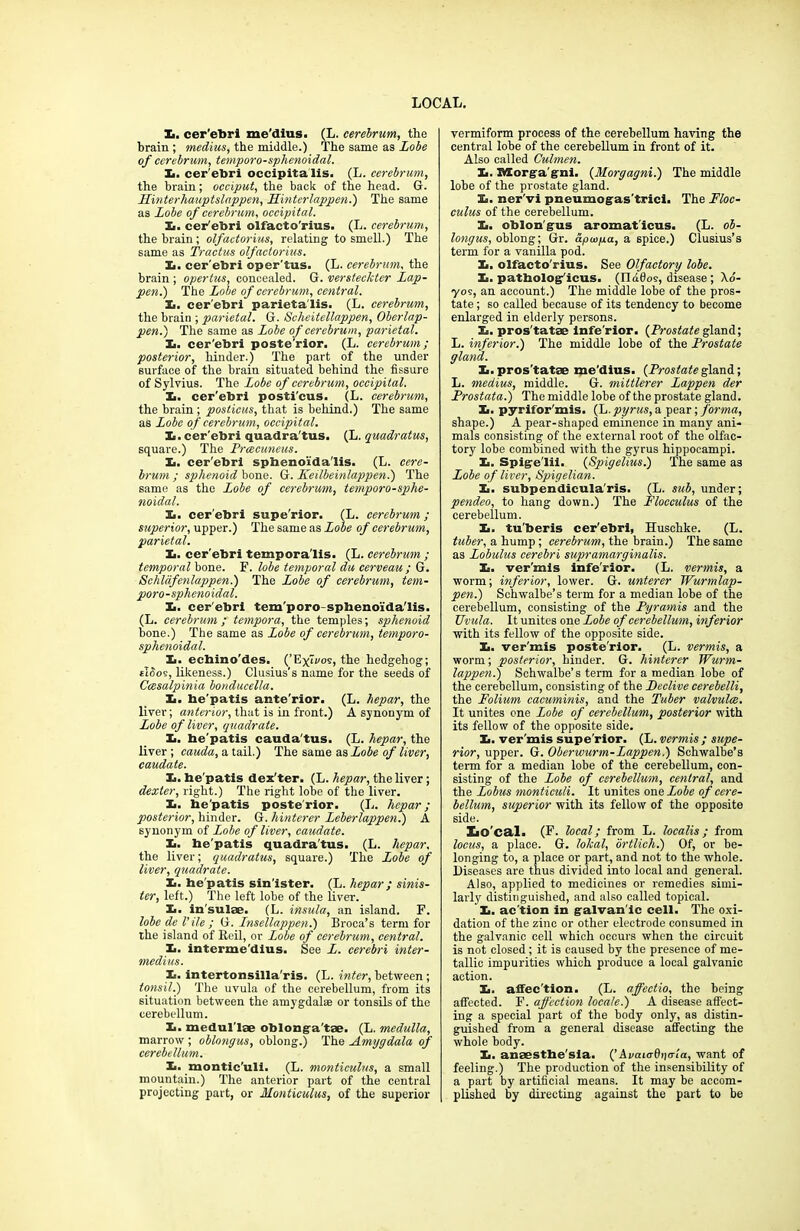 LOCAL. X. cer’ebri me'dius. (L. cerebrum, the brain ; medius, the middle.) The same as Lobe of cerebrum, temporo-sphcnoidal. X. cer ebri occipita lis. (L. cerebrum, the brain; occiput, the back of the head. G. Hinterhauptslnppen, Hinterlappen.) The same as Lobe of cerebrum, occipital. X. cer'ebri olfacto'rius. (L. cerebrum, the brain; olfactorius, relating to smell.) The same as Tractus olfactorius. X. cer'ebri oper'tus. (L. cerebrum, the brain ; opertus, concealed. G. versteckter Lap- pen.) The Lobe of cerebrum, central. X. cer'ebri parieta'lis. (L. cerebrum, the brain ; parietal. G. Scheitellappen, Oberlap- pen.) The same as Lobe of cerebrum, parietal. X. cer'ebri poste’rior. (L. cerebrum; posterior, hinder.) The part of the under surface of the brain situated behind the fissure of Sylvius. The Lobe of cerebrum, occipital. X. cer'ebri posti'cus. (L. cerebrum, the brain ; posticus, that is behind.) The same as Lobe of cerebrum, occipital. X. cer'ebri quadra'tus. (L. quadratus, square.) The Prcecuneus. X. cer'ebri sphenoi'da'lis. (L. cere- brum ; sphenoid bone. G. Keilbeinlappen.) The same as the Lobe of cerebrum, temporo-sphe- noidal. X. cer'ebri supe'rior. (L. cerebrum; superior, upper.) The same as Lobe of cerebrum, parietal. X. cer'ebri temporalis. (L. cerebrum ; temporal bone. F. lobe temporal du cerveau ; G. Schldfenlappen.) The Lobe of cerebrum, tem- poro-sphenoidal. X. cer'ebri tem'poro-sphenoi'da'lis. (L. cerebrum ; tempora, the temples; sphenoid bone.) The same as Lobe of cerebrum, temporo- sphenoidal. X. echino'des. {'Eflvos, the hedgehog; tldos, likeness.) Clusius’s name for the seeds of Ccesalpinia bonducella. X. be'patis ante'rior. (L. hepar, the liver; anterior, that is in front.) A synonym of Lobe of liver, quadrate. X. be'patis cauda'tus. (L. hepar, the liver ; cauda, a tail.) The same as Lobe of liver, caudate. X. be'patis dexter. (L. hepar, the liver; dexter, right.) The right lobe of the liver. X. be'patis posterior. (L. hepar; posterior, hinder. G. hinterer Leberlappen.) A synonym of Lobe of liver, caudate. X. be'patis quadra'tus. (L. hepar, the liver; quadratus, square.) The Lobe of liver, quadrate. X. he'patis sinister. (L. hepar ; sinis- ter, left.) The left lobe of the liver. X. in sulae. (L. insula, an island. F. lobe de Vile ; G. Insellappen.) Broca’s term for the island of Beil, or Lobe of cerebrum, central. X. interme'dius. See L. cerebri inter- medins. X. intertonsilla'ris. (L. inter, between; tonsil.) The uvula of the cerebellum, from its situation between the amygdalae or tonsils of the cerebellum. X. medul'lae oblonga’tae. (L. medulla, marrow ; oblongus, oblong.) The Amygdala of cerebellum. X. montic'uli. (L. monticulns, a small mountain.) The anterior part of the central projecting part, or Monticulus, of the superior vermiform process of the cerebellum having the central lobe of the cerebellum in front of it. Also called Culmen. X. Morgagni. {Morgagni.) The middle lobe of the prostate gland. X. ner'vi pneumogas'triei. The Floc- culus of the cerebellum. X. oblongus aromat'icus. (L. ob- longus, oblong; Gr. apuipa, a spice.) Clusius’s term for a vanilla pod. X. olfacto'rius. See Olfactory lobe. X. patbolog'icus. (FI ados, disease ; \o- yos, an account.) The middle lobe of the pros- tate ; so called because of its tendency to become enlarged in elderly persons. X. pros'tatae infe'rior. {Prostate gland; L. inferior.) The middle lobe of the Prostate gland. X. pros'tatae me'dius. {Prostategland; L. medius, middle. G. mittlerer Lappen der Prostata.) The middle lobe of the prostate gland. X. pyrifor'mis. {L.pyrus, a pear; forma, shape.) A pear-shaped eminence in many ani- mals consisting of the external root of the olfac- tory lobe combined with the gyrus hippocampi. X. Spige'lii. {Spigelius.) The same as Lobe of liver. Spigelian. X. subpendicula'ris. (L. sub, under; pendeo, to hang down.) The Flocculus of the cerebellum. X. tu'beris cer'ebri, Huschke. (L. tuber, a hump; cerebrum, the brain.) The same as Lobulus cerebri supramarginalis. X. ver'mis infe'rior. (L. vermis, a worm; inferior, lower. G. unterer Wurmlap- pen.) Schwalbe’s term for a median lobe of the cerebellum, consisting of the Pyramis and the Uvula. It unites one Lobe of cerebellum, inferior with its fellow of the opposite side. X. ver'mis poste'rior. (L. vermis, a worm; posterior, hinder. G. hinterer Wurm- lappen.) Schwalbe’s term for a median lobe of the cerebellum, consisting of the Leclive cerebelli, the Folium cacuminis, and the Tuber valvulcc. It unites one Lobe of cerebellum, posterior with its fellow of the opposite side. X. ver'mis supe'rior. (L. vermis ; supe- rior, upper. G. Oberwurm-Lappen.) Schwalbe’s term for a median lobe of the cerebellum, con- sisting of the Lobe of cerebellum, central, and the Lobus monticuli. It unites one Lobe of cere- bellum, superior with its fellow of the opposite side. Xio'cal. (F. local; from L. localis; from locus, a place. G. lokal, ortlick.) Of, or be- longing to, a place or part, and not to the whole. Diseases are thus divided into local and general. Also, applied to medicines or remedies simi- larly distinguished, and also called topical. X. ac tion in galvan'ic cell. The oxi- dation of the zinc or other electrode consumed in the galvanic cell which occurs when the circuit is not closed; it is caused by the presence of me- tallic impurities which produce a local galvanic action. X. alfec'tion. (L. affectio, the being affected. F. affection locale.) A disease affect- ing a special part of the body only, as distin- guished from a general disease affecting the whole body. X. anaesthe'sia. (’AvaioQntrta, want of feeling.) The production of the insensibility of a part by artificial means. It may be accom- plished by directing against the part to be
