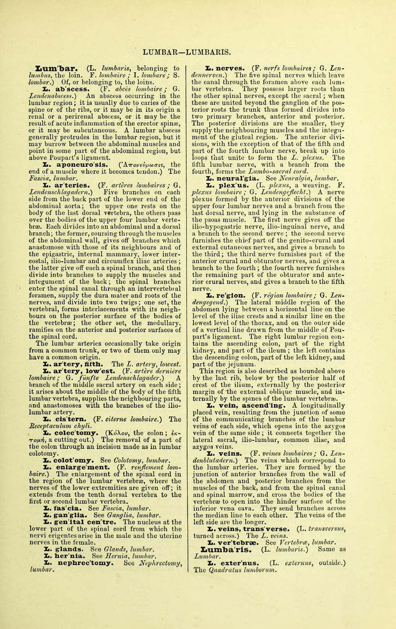 lumbar. (L. lumbaris, belonging to lumbus, the loin. F. lombaire ; I. lombare; S. lombar.) Of, or belonging to, the loins. Ii. ab scess. (F. abces lombaire; G. Zendenabscess.) An abscess occurring in the lumbar region; it is usually due to caries of the spine or of the ribs, or it may be in its origin a renal or a perirenal abscess, or it may be the result of acute inflammation of the erector spin®, or it may be subcutaneous. A lumbar abscess generally protrudes in the lumbar region, but it may burrow between the abdominal muscles and point in some part of the abdominal region, but above Poupart’s ligament. Xi. aponeurosis. Kir ovi.bg mens, the end of a muscle where it becomes tendon.) The Fascia, lumbar. Xi. ar'teries. (F. arteres lombaires ; G. Lendensclilagadern.') Five branches on each side from the back part of the lower end of the abdominal aorta; the upper one rests on the body of the last dorsal vertebra, the others pass over the bodies of the upper four lumbar verte- bra. Each divides into an abdominal and a dorsal branch; the former, coursing through the muscles of the abdominal wall, gives off branches which anastomose with those of its neighbours and of the epigastric, internal mammary, lower inter- costal, ilio-lumbar and circumflex iliac arteries ; the latter give off each a spinal branch, and then divide into branches to supply the muscles and integument of the back; the spinal branches enter the spinal canal through an intervertebral foramen, supply the dura mater and roots of the nerves, and divide into two twigs; one set, the vertebral, forms interlacements with its neigh- bours on the posterior surface of the bodies of the vertebrae; the other set, the medullary, ramifies on the anterior and posterior surfaces of the spinal cord. The lumbar arteries occasionally take origin from a common trunk, or two of them only may have a common origin. Xi. ar'tery, fifth. The L. artery, lowest. Xi. ar'tery, low'est. (F. artere derniere lombaire; G. funfte Zendenschlagader.) A branch of the middle sacral artery on each side ; it arises about the middle of the body of the fifth lumbar vertebra, supplies the neighbouring parts, and anastomoses with the branches of the ilio- lumbar artery. Xi. cis'tern. (F. citerne lombaire.') The Iteceptaculmn chyli. Xi. colec'tomy. (Ko'Xoi/, the colon ; U- Toyv, a cutting out.) The removal of a part of the colon through an incision made as in lumbar colotomy. Xi. colot'omy. See Colotomy, lumbar. Xi. enlargement. (F. renjlement lom- baire.) The enlargement of the spinal cord in the region of the lumbar vertebra, where the nerves of the lower extremities are given off; it extends from the tenth dorsal vertebra to the first or second lumbar vertebra. Xi. fas'cia. See Fascia, lumbar. Xi. gan'glia. See Ganglia, lumbar. Xi. gen'ltal cen'tre. The nucleus at the lower part of the spinal cord from which the nervi erigentes arise in the male and the uterine nerves in the female. Ii. glands. See Glands, lumbar. Ii. her nia. See Hernia, lumbar. Xi. nephrectomy. See Nephrectomy, lumbar. Xi. nerves. (F. nerfs lombaires; G. Zen- dennerven.) The five spinal nerves which leave the canal through the foramen above each lum- bar vertebra. They possess larger roots than the other spinal nerves, except the sacral; when these are united beyond the ganglion of the pos- terior roots the trunk thus formed divides into two primary branches, anterior and posterior. The posterior divisions are the smaller, they supply the neighbouring muscles and the integu- ment of the gluteal region. The anterior divi- sions, with the exception of that of the fifth and part of the fourth lumbar nerve, break up into loops that unite to form the Z. plexus. The fifth lumbar nerve, with a branch from the fourth, forms the Zumbo-sacral cord. Xi. neural'gia. See Neuralgia, lumbar. Ii. plex'us. (L. plexus, a weaving. F. plexus lombaire; G. Zendengejlecht.) A nerve plexus formed by the anterior divisions of the upper four lumbar nerves and a branch from the last dorsal nerve, and lying in the substance of the psoas muscle. The first nerve gives off' the ilio-hypogastric nerve, ilio-inguinal nerve, and a branch to the second nerve ; the second nerve furnishes the chief part of the genito-erural and external cutaneous nerves, and gives a branch to the third; the third nerve furnishes part of the anterior crural and obturator nerves, and gives a branch to the fourth; the fourth nerve furnishes the remaining part of the obturator and ante- rior crural nerves, and gives a branch to the fifth nerve. Xi. re'gion. (F. region lombaire ; G. Zen- dengegend.) The lateral middle region of the abdomen lying between a horizontal line on the level of the iliac crests and a similar line on the lowest level of the thorax, and on the outer side of a vertical line drawn from the middle of Pou- part’s ligament. The right lumbar region con- tains the ascending colon, part of the right kidney, and part of the ileum ; the left contains the descending colon, part of the left kidney, and part of the jejunum. This region is also described as bounded above by the last rib, below by the posterior half of crest of the ilium, externally by the posterior margin of the external oblique muscle, and in- ternally by the spines of the lumbar vertebra). Xi. vein, ascending-. A longitudinally placed vein, resulting from the junction of some of the communicating branches of the lumbar veins of each side, which opens into the azygos vein of the same side ; it connects together the lateral sacral, ilio-lumbar, common iliac, and azygos veins. Xi. veins. (F. veines lombaires; G. Zen- denblutadern.) The veins which correspond to the lumbar arteries. They are formed by the junction of anterior branches from the wall of the abdomen and posterior branches from the muscles of the back, and from the spinal canal and spinal marrow, and cross the bodies of the vertebr® to open into the hinder surface of the inferior vena cava. They send branches across the median line to each other. The veins of the left side are the longer. Xi. veins, trans'verse. (L. transversus, turned across.) The Z. veins. Xi. ver'telorae. See Vertebra, lumbar. Xiumba'ris. (L. lumbaris.) Same as Zumbar. Xi. exter'nus. (L. externus, outside.) The Quadratus lumborum.