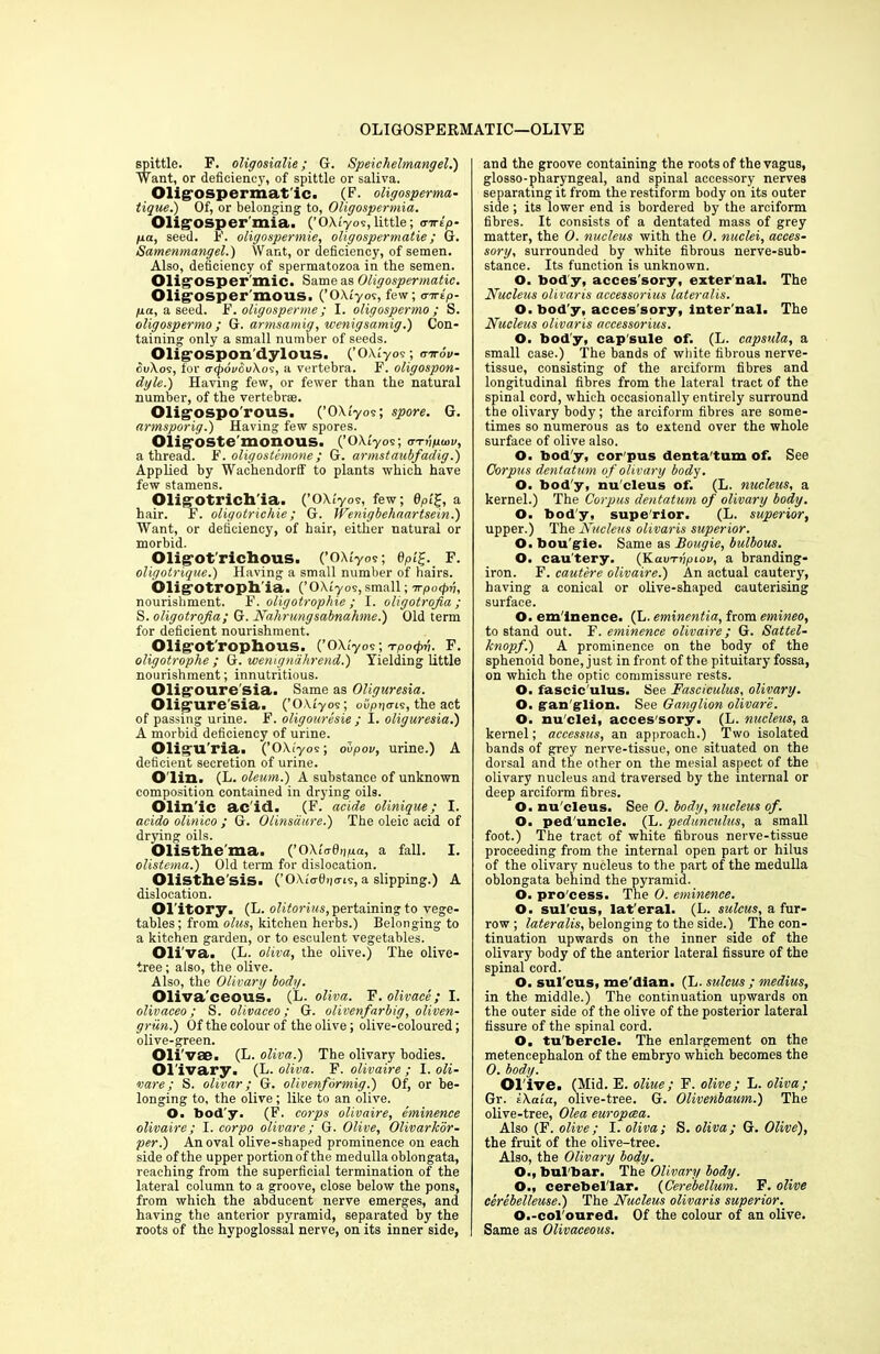 OLIGOSPERMATIC—OLIVE spittle. F. oligosialie; G. Speichelmangel.) Want, or deficiency, of spittle or saliva. Olig'ospermat'ic. (F. oligosperma- tique.) Of, or belonging to, Oligospermia. Oligrosper'inia. (’OX/yo?,little; atrip- ga, seed. F. oligospermie, oligospermatie; G. Samenmangel.) Want, or deficiency, of semen. Also, deficiency of spermatozoa in the semen. Olig'osper'mic. Same as Oligospermatie. 01ig~OSper'mOUS. (’OXt'yov, few; a-rrip- pa, a seed. F. oligosperme ; I. oligospermo; S. oligospermo ; G. armsamig, wenigsamig.) Con- taining only a small number of seeds. Olig-ospon'dylous. (’OXly09; airov- cSt/Xos, for a<poi/Su\os, a vertebra. F. oligospon- dyle.) Having few, or fewer than the natural number, of the vertebrae. Olig'ospo'rous. (’OXlyos; spore. G. armsporig.) Having few spores. Oligostemonous. (’ OXtyos; OTvpuiv, a thread. F. oligostemone ; G. armstaubfadig.) Applied by Wachendorff to plants which have few stamens. Oligotrichia. (’OXlyos, few; 0p££, a hair. F. oligotrichie; G. Wenigbehaartsein.) Want, or deficiency, of hair, either natural or morbid. Oligot'richous. (’OXfyos; 8pi£. F. oligotrique.) Having a small number of hairs. Oligotrophia. (’OXtyos, small; wpotp 17, nourishment. F. oligotrophie ; I. oligotrofia ; S. oligotrofia; G. Nahrungsabnahme.) Old term for deficient nourishment. Oligot'rophous. (’OXfyos; Tpocpv. F. oligotrophe ; G. wemgnahrend.) Yielding little nourishment; innutritious. Oligoure'sia. Same as Oliguresia. Oligure sia. (’OXlyos; oi/pno-ts, the act of passing urine. F. oligouresie ; I. oliguresia.) A morbid deficiency of urine. Oligu'ria. (’OXi'yos; olpov, urine.) A deficient secretion of urine. Olin. (L. oleum.) A substance of unknown composition contained in drying oils. Olin'ic add. (F. acide olinique; I. acido olinico ; G. Olinsdure.) The oleic acid of drying oils. Olisthe’ma. {’OXtad^pa, a fall. I. olistema.) Old term for dislocation. Olisthe’sis. (’OXiVtbicrts, a slipping.) A dislocation. Ol'itory. (L. olitorius, pertaining to vege- tables; from olus, kitchen herbs.) Belonging to a kitchen garden, or to esculent vegetables. Oli va. (L. oliva, the olive.) The olive- tree ; also, the olive. Also, the Olivary body. Oliva'ceous. (L. oliva. F. olivace; I. olivaceo; S. olivaceo ; G. olivenfarbig, oliven- griin.) Of the colour of the olive; olive-coloured; olive-green. Oli'vae. (L. oliva.) The olivary bodies. Olivary. (L. oliva. F. olivaire ; I. oli- vare; S. olivar; G. olivenformig.) Of, or be- longing to, the olive; like to an olive. O. bod'y. (F. corps olivaire, eminence olivaire; I. corpo olivare; G. Olive, Olivarkor- per.) An oval olive-shaped prominence on each side of the upper portion of the medulla oblongata, reaching from the superficial termination of the lateral column to a groove, close below the pons, from which the abducent nerve emerges, and having the anterior pyramid, separated by the roots of the hypoglossal nerve, on its inner side, and the groove containing the roots of the vagus, glosso-pharyngeal, and spinal accessory nerves separating it from the restiform body on its outer side ; its lower end is bordered by the arciform fibres. It consists of a dentated mass of grey matter, the 0. nucleus with the O. nuclei, acces- sory, surrounded by white fibrous nerve-sub- stance. Its function is unknown. O. body, acces'sory, exter nal. The Nucleus olivaris accessorius lateralis. O. bod’y, acces'sory, inter'nal. The Nucleus olivaris accessorius. O. body, cap'sule of. (L. capstda, a small case.) The bands of white fibrous nerve- tissue, consisting of the arciform fibres and longitudinal fibres from the lateral tract of the spinal cord, which occasionally entirely surround tbe olivary body; the arciform fibres are some- times so numerous as to extend over the whole surface of olive also. O. bod'y, cor'pus denta'tum of. See Corpus dentatum of olivary body. O. bod'y, nu'cleus of. (L. nucleus, a kernel.) The Corpus dentatum of olivary body. O. bod'y, supe'rior. (L. superior, upper.) The Nucleus olivaris superior. O. bou gie. Same as Bougie, bulbous. O. cau'tery. (Kavaupiov, a branding- iron. F. cautere olivaire.) An actual cautery, having a conical or olive-shaped cauterising surface. O. em'lnence. (L. eminentia, from emineo, to stand out. F. eminence olivaire; G. Sattel- knopf.) A prominence on the body of the sphenoid bone, just in front of the pituitary fossa, on which the optic commissure rests. O. fascic'ulus. See Fasciculus, olivary. O. gan glion. See Ganglion olivare. O. nu'clei, acces'sory. (L. nucleus, a kernel; accessus, an approach.) Two isolated bands of grey nerve-tissue, one situated on the dorsal and the other on the mesial aspect of the olivary nucleus and traversed by the internal or deep arciform fibres. O. nu'cleus. See 0. body, nucleus of. O. ped'uncle. (L. pedunculus, a small foot.) The tract of white fibrous nerve-tissue proceeding from the internal open part or hilus of the olivary nucleus to the part of the medulla oblongata behind the pyramid. O. pro'cess. The 0. eminence. O. sul'cus, lat'eral. (L. sulcus, a fur- row ; lateralis, belonging to the side.) The con- tinuation upwards on the inner side of the olivary body of the anterior lateral fissure of the spinal cord. O. sul’cus, me'dian. (L. sulcus ; medius, in the middle.) The continuation upwards on the outer side of the olive of the posterior lateral fissure of the spinal cord. O. tu'bercle. The enlargement on the metencephalon of the embryo which becomes the 0. body. or ive. (Mid. E. oliue; F. olive; L. oliva; Gr. iXaia, olive-tree. G. Olivenbaum.) The olive-tree, Olea europcea. Also (F. olive; I. oliva; S. oliva; G. Olive), the fruit of the olive-tree. Also, the Olivary body. O., bul'bar. The Olivary body. O., cerebellar. (Cerebellum. F. olive cerebelleuse.) The Nucleus olivaris superior. O.-col'oured. Of the colour of an olive. Same as Olivaceous.