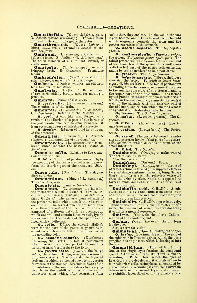 OMARTHRITIS—OMMATIDIUM Omarthri tis. (7Q/ios; apdpiTis, gout. G. Schultergelenkentziindung.) Inflammation of the shoulder-joint of a gouty character. Omarthrocace. (’Q^os; dpdpnv, a joint; kaKJ), evil.) Strumous disease of the shoulder-joint. Oma sum. (L. omasum, a Gallic word, bullock’s tripe. F. feuillet; G. Bldttermagen.) The third stomach of a ruminant animal, or Psalterium. Omatocia. (’Qmo's, unripe; tokos, a bringing forth. G. Omatocie.) Premature labour. Ombrom eter. (’’Ouftoos, a storm of rain; ptTpov, a measure.) A rain gauge. Om'bros. (''Oju/ipos, water.) An old term for a humour, or moisture. Ome'lysis. (’Q/rfiXucris.) Bruised meal of raw corn, chiefly barley, used for making a poultice. Omen ta. Plural of Omentum. O. cerebra'lia. (L. cerebrum, the brain.) The membranes of the brain. Omen tal. (F. omentale; I. omentale; G. netzgehorig.) Relating to the Omentum. O. cord. A cord-like band formed as a result of the adhesion of a part of the border of the gastro-colie omentum to some structure ; it is an occasional cause of intestinal obstruction. O. drop'sy. Effusion of fluid into the sac of the omentum. Omentitis. F. omentite; G. Netzent- zundung.) Inflammation of the Omentum. Omen'tocele. (L. omentum, the mem- brane which includes the bowels.) Same as Npiplocele. Omen'to-col’ic. Relating to the Omen- tum and to the Colon. O. fold. The fold of peritoneum which, by the dropping of the transverse colon as it grows, forms the interior part of the transverse Meso- colon. Omen'tula. (Omentulum.) The Appen- dices epiploicce. Omen'tulum. (Dim. of L. omentum.') The Omentum, lesser. Omente sis. Same as Omentitis. Omen tum. (L. omentum, the fat-skin, the membrane which includes the bowels. F. epiploon; I. omento, epiploon; S. omento, epi- plon; G. Netz.) The generic name of each of the peritoneal folds which attach the viscera to each other. The several omenta are more vas- cular than the rest of the peritoneum, and are composed of a fibrous network the openings in which are oval, and contain blood-vessels, lymph spaces, and fat; the borders of the openings are lined with endothelium. O., col'lc. (KcIW, the colon.) Haller’s term for the part of the great, or gastro-colic, omentum which is attached to the upper part of the ascending colon. O., duode'no-hepat'ic. (Duodenum; Gr. iyirap, the liver.) A fold of peritoneum which passes from the first part of the small in- testine of most Vertebrata to the liver. O., gas'tro-col'Ic. (Tao-i-dp, the belly; koXov, the colon. F. epiploon gastro-colique; G. grosses Netz.) The large double layer of peritoneum which is attached above to the greater curvature of the stomach, descends in front of the convolutions of the small intestines to a varying level below the umbilicus, then returns to the transverse colon which, after separating from each other, they enclose. In the adult the two layers become one. It is formed from the fold which originally connects the colon and the greater curvature of the stomach. O., gas tro-hepat ic. The 0., hepato- gastric. O., gas'trospleriic. (TacrTup; trirXjjv, the spleen. F. ligament gastro-splenique.) The fold of peritoneum which connects the cardiac end of the stomach with the spleen; it is continuous with the left part of the gastro-colic omentum, and is by some considered to be a part of it. O., great'er. The 0., gastro-colic. O., he'pato-gas'tric. (THTrap, the liver; yaarrip, the belly. F. epiploon gastro-hepa- tique ; G. kleines Netz.) The fold of peritoneum extending from the transverse fissure of the liver to the smaller curvature of the stomach and to the upper part of the duodenum. It is formed by the gradual thinning of the mesoblastic tissue which, in the early embryo, connects the ventral wall of the stomach with the anterior wall of the abdomen, and within which there is a mass of hypoblast which develops into the liver. O., les'ser. The 0., hepato-gastric. O. ma'jus. (L. major, greater.) The 0., greater. O. mi nus. (L. minor, less.) The 0., hepato-gastric. O. os'sium. (L. os, a bone.) The Perios- teum. O., sac of. The cavity between the ante- rior and posterior layers of that part of the gastro- colic omentum which descends in front of the small intestines. O., third. The 0., colic. Omiche'sis. (’Opuxiu, to make water.) The act of passing water. Also, the excretion of urine. Omich'ma. (”0Urine. Omichmyl. (Opix/ra, urine; uXtj, stuff of which a thing is formed.) A supposed elemen- tary substance contained in urine, being Schar- ling’s term for a resinoid principle extracted from the urine by ether, which he supposed to form an oxide and a chloride. It is a mixture of many substances. Omichol'ic ac'id. C5H22N04. A sub- stance obtained by Thudichum from urine; it is of a red colour, soluble in alcohol and ether, and exhibits a green fluorescence. Omich'olin. C24H38N05 approximatively. Thudichum’s term for a colouring matter of the urine, the existence of which has been doubted; it exhibits a green fluorescence. Omi'tis. QQpos, the shoulder.) Inflam- mation of the shoulder-joint. Om’ma. ('Op/ua, the eye.) An old term for the eye. Also, a term for vision. Ommate'al. (Oppa.) Relating to the eye. O. lay'er. The inner layer of the part of the epidermis in Decapoda from which the optic ganglion has originated, which is developed into the eye. Oinmatid'ium. (Dim. of Gr. oppa.) One of the single eyes forming the compound eye of Arthropoda. The structural element, according to Patten, from which the eyes of Invertebrata are developed; it consists of two to four colourless cells, retinophorEe, surrounded by pigmented cells, retinulse ; its cuticle is divisible into an external, or corneal layer, and an inner, or retinidial layer, filled with the ultimate ter-