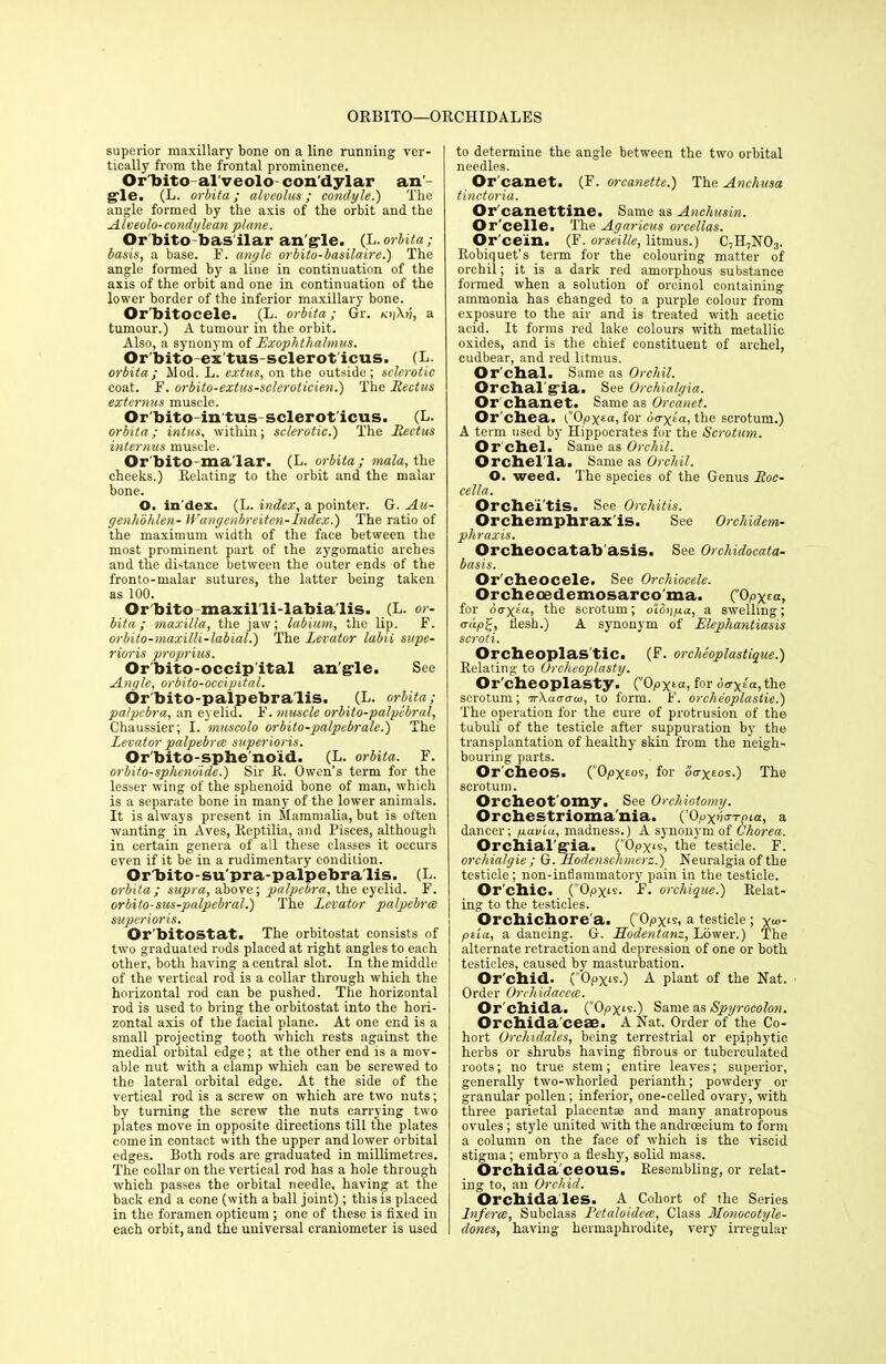 ORBITO—ORCHIDALES superior maxillary bone on a line running ver- tically from the frontal prominence. Or'bito-al'veolo condylar an- gle. (L. orbita; alveolus; condyle.') The angle formed by the axis of the orbit and the Alveolo-cond/ylean plane. Or bito-bas ilar an gle. (L. orbita; basis, a base. F. angle orbito-basilaire.) The angle formed by a line in continuation of the axis of the orbit and one in continuation of the lower border of the inferior maxillary bone. Or'bitocele. (L. orbita; Gr. KiiXtj, a tumour.) A tumour in the orbit. Also, a synonym of Exophthalmus. Or'bitoex'tus-sclerot icus. (L. orbita; Mod. L. extus, on the outside; sclerotic coat. F. orbito-extus-scleroticien.) The Rectus externus muscle. Or'bito-intus-sclerot'icus. (L. orbita; intus, within; sclerotic.) The Rectus internus muscle. Or bito-ma lar. (L. orbita; mala, the cheeks.) Relating to the orbit and the malar bone. O. in dex. (L. index, a pointer. G. Au- genhohlen- Wangenbreiten-Index.) The ratio of the maximum width of the face between the most prominent part of the zygomatic arches and the di-dance between the outer ends of the fronto-malar sutures, the latter being taken as 100. Or bito-maxilli-labialis. (L. or- bita ; maxilla, the jaw; labium, the lip. F. orbito-maxilli-labial.) The Levator labii supe- rioris proprius. Or'bito-occip'ital angle. See Angle, orbito-occipital. Or’bito-palpebra'lis. (L. orbita; palpebra, an eyelid. F. muscle orbito-palpebrul, Chaussier; I, 'muscolo orbito-palpebrale.) The Levator palpebrce superioris. Or'bito-sphe'no'id. (L. orbita. F. orbito-sphenoide.) Sir R. Owen’s term for the lesser wing of the sphenoid bone of man, which is a separate bone in many of the lower animals. It is always present in Mammalia, but is often wanting in Aves, Reptilia, and Pisces, although in certain genera of all these classes it occurs even if it be in a rudimentary condition. Orbito-supra-palpebralis. (L. orbita ; supra, above; palpebra, the eyelid. F. orbito-sus-palpebral.) The Levator palpebrce superioris. Orbitostat. The orbitostat consists of two graduated rods placed at right angles to each other, both having a central slot. In the middle of the vertical rod is a collar through which the horizontal rod can be pushed. The horizontal rod is used to bring the orbitostat into the hori- zontal axis of the facial plane. At one end is a small projecting tooth which rests against the medial orbital edge; at the other end is a mov- able nut with a clamp which can be screwed to the lateral orbital edge. At the side of the vertical rod is a screw on which are two nuts; by turning the screw the nuts carrying two plates move in opposite directions till the plates come in contact with the upper and lower orbital edges. Both rods are graduated in millimetres. The collar on the vertical rod has a hole through which passes the orbital needle, having at the back end a cone (with a ball joint); this is placed in the foramen opticum ; one of these is fixed in each orbit, and the universal craniometer is used to determine the angle between the two orbital needles. Or canet. (F. orcanette.) The Anchusa tinctoria. Orcanettine. Same as Anchusin. Or’celle. The Agaricus orcellas. Or'cein. (F. orseille, litmus.) C-H7N03. Robiquet’s term for the colouring matter of orchil; it is a dark red amorphous substance formed when a solution of orcinol containing ammonia has changed to a purple colour from exposure to the air and is treated with acetic acid. It forms red lake colours with metallic oxides, and is the chief constituent of archel, cudbear, and red litmus. Or chal. Same as Orchil. Orchal'g'ia. See Orchialgia. Or chanet. Same as Orcanet. Or chea. (.”0pxea, for oaxi a, the scrotum.) A term used by Hippocrates for the Scrotum. Or chel. Same as Orchil. Orchella. Same as Orchil. O. weed. The species of the Genus Roc- cella. Orche'i’tis. See Orchitis. Orchemphrax'is. See Orchidem- phraxis. Orcheocatab asis. See Orchidocata- basis. Or'cheocele. See Orchiocele. Orcheoedemosarco ma. (0p\ta, for oaxta, the scrotum; o’Longa, a swelling; <rdp£, flesh.) A synonym of Elephantiasis scroti. Orcheoplas'tic. (F. orcheoplastique.) Relating to Orcheoplasty. Or'cheoplasty. (0pxta,for do^'a, the scrotum; nr\ua<jui, to form. F. orcheoplastie.) The operation for the cure of protrusion of the tubuli of the testicle after suppuration by the transplantation of healthy skin from the neigh- bouring parts. Or cheos. ( 0px£0S> f°r d<rx£OS0 The scrotum. Orcheot'omy. See Orchiotomy. Orchestrioma'nia. (’0pxhx-rnia, a dancer; gavia, madness.) A synonym of Chorea. Orchialgia. (”0px<s, the testicle. F. orchialgie; G. Hodenschmerz.) Neuralgia of the testicle; non-inflammatory pain in the testicle. Or'chic. (Opxis. F. orchique.) Relat- ing to the testicles. Orchichore'a. (Opyis, a testicle; x«>- pti'a, a dancing. G. LLodentanz, Lower.) The alternate retraction and depression of one or both testicles, caused by masturbation. Orchid. C'Opx15-) A plant of the Nat. Order Orchidacece. Or chida. (”0px‘s.) Same as Spyrocolon. Orchida'ceae. A Nat. Order of the Co- hort Orchidales, being terrestrial or epiphytic herbs or shrubs having fibrous or tuberculated roots; no true stem; entire leaves; superior, generally two-whorled perianth; powdery or granular pollen; inferior, one-celled ovary, with three parietal placentse and many anatropous ovules; style united with the andrceeium to form a column on the face of which is the viscid stigma ; embryo a fleshy, solid mass. Orchidaceous. Resembling, or relat- ing to, an Orchid. Orchidales. A Cohort of the Series Inferee, Subclass Petaloidece, Class Monocotyle- dones, having hermaphrodite, very irregular