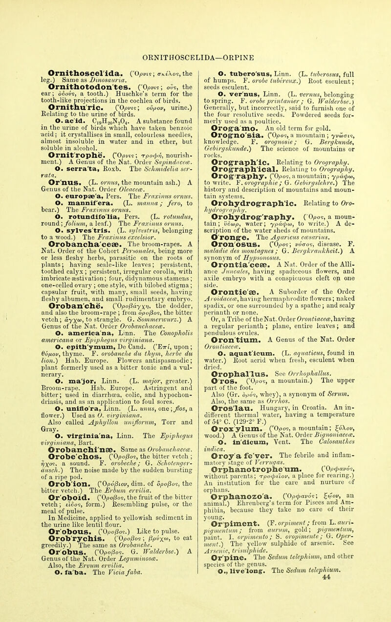 ORNITHOSCELIDA—ORPINE Ornithoscel'ida. (Optus; ^Aos,the leg.) Same as Dmosauria. Ornithotodontes. (Optus; oSs, the ear; boous, a tooth.) Husohke’s term for the tooth-like projections in the cochlea of birds. Ornithu'ric. (Optus; oiipov, urine.) Relating to the urine of birds. O. ac id. C19H2oN204. A substance found in the urine of birds which have taken benzoic acid; it crystallises in small, colourless needles, almost insoluble in water and in ether, but soluble in alcohol. Ornit'rophe. (Optus; Tpofv, nourish- ment.) A Genus of the Nat. Order Sapindacece. O. serra'ta, Roxb. The Schmidelia ser- ratn. Or'nns. (L. ornus, the mountain ash.) A Genus of the Nat. Order Oleacece. O. europae'a, Pers. The Fraxinus ornus. O. mannifera. (L. manna; fero, to bear.) The Fraxinus ornus. O. rotundifolia, Pers. (L. rotundus, round; folium, a leaf.) The Fraxinus ornus. O. sylves'tris. (L. sylvestris, belonging to a wood.) The Fraxinus excelsior. ©robancha’ceae. The broom-rapes. A Nat. Order of the Cohort Personates, being more or less fleshy herbs, parasitic on the roots of plants; having scale-like leaves; persistent, toothed calyx ; persistent, irregular corolla, with imbricate sestivation; four, didynamous stamens; one-eelled ovary ; one style, with bilobed stigma; capsular fruit, with many, small seeds, having- fleshy albumen, and small rudimentary embryo. Oroban’che. (’Opopdyxn, the dodder, and also the broom-rape; from bpo/3os, the bitter vetch; ciyxw, t° strangle. G. Sommerwurz.) A Genus of the Nat. Order Orobanchacece. ©. america na, Linn. The Conopholis americana or Epiphegus virginiana. O. epith'ymum, De Cand. (’E-nT, upon; Oupoi/, thyme. F. orobanche du thym, herbe du lion.) Hab. Europe. Flowers antispasmodic; plant formerly used as a bitter tonic and a vul- nerary. O. ma'jor, Linn. (L. major, greater.) Broom-rape. Hab. Europe. Astringent and bitter; used in diarrhoea, colic, and hypochon- driasis, and as an application to foul sores. O. unifiora, Linn. (L. unus, one \flos, a flower.) Used as 0. virginiana. Also called Aphyllon uniflorum, Torr and Gray. O. virginia'na, Linn. The Epiphegus virginiana, Bart. © rob an ch in OO. Same as Orobanchacece. Orobe’chos. (Opo/3os, the bitter vetch ; f/Xos- a sound. F. orobeche; G. Schotenger- dusch.) The noise made by the sudden bursting of a ripe pod. Orob'ion. (’Opo/Bioi>, dim. of opo/3os, the bitter vetch.) The Erbum ervilia. Or'oboid. (Opo/3os, the fruit of the bitter vetch; eld os, form.) Resembling pulse, or the meal of pulse. In Medicine, applied to yellowish sediment in the urine like lentil flour. Or obous. (”0po/3oe.) Like to pulse. Orob'rychis. (0Po(3os; /3p<ix“> t0 eat greedily.) The same as Orobanche. Or'obus. (’'Opo^os. G. TFalderbse.) A Genus of the Nat. Order Leguminosce. Also, the Ervum ervilia. O. fa'ba. The Vicia faba. O. tubero'sus, Linn. (L. tuberosus, full of humps. F. orobe tubereux.) Root esculent; seeds esculent. O. ver'nus, Linn. (L. vermis, belonging to spring. F. orobe printanier ; G. Walderbse.) Generally, but incorrectly, said to furnish one of the four resolutive seeds. Powdered seeds for- merly used as a poultice. Oroga mo. An old term for gold. Orog’no'sia. (”0pos, a mountain ; yvuims, knowledge. F. orognosie; G. Bergkunde, Gebirgskunde.) The science of mountains or rocks. Orog-raph'ic. Relating to Orography. Orog-raph'ical. Relating to Orography. Orog-'raphy. (Opos, a mountain; ypa<pw, to write. F. orographie; G. Gebirgslehre.) The history and description of mountains and moun- tain systems. Orohydrograpli’ic. Relating to Oro- hydrography. Orohydrog,'raphy. ( Opos, a moun- tain ; ildoip, water; ypdtpui, to write.) A de- scription of the water sheds of mountains. O'rong’e. The Agaricus ceesarius. Oron osus. (“Opos; voo-os, disease. F. maladie des montagnes; G. ISergkraukheit.) A synonym of Hypsonosus. Orontia'ceee. A Nat. Order of the Alli- ance Juncales, having spadiceous flowers, and axile embryo with a conspicuous cleft on one side. Orontie'ae. A Suborder of the Order Aroidacece, having hermaphrodite flowers; naked spadix, or one surrounded by a spathe; and scaly perianth or none. Or, a Tribe of theNat. Order Orontiacece,having a regular perianth ; plane, entire leaves; and pendulous ovules. Oron tium. A Genus of the Nat. Order Orontiacece. O. aquat'icum. (L. aquaticus, found in water.) Root acrid when fresh, esculent when dried. Oropbal lus. See Orrhophallus. O'ros. ('Ojoos, a mountain.) The upper part of the foot. Also (Gr. op os, whey), a synonym of Serum. Also, the same as Orrhos. Oros'lau. Hungary, in Croatia. An in- different thermal water, having a temperature of 54° C. (129-2° F.) ©rox'ylmm. (Opos, a mountain; fi\oo, wood.) A Genus of the Nat. Order Bignoniacex. ©g in'dicum, Vent. The Calosanthes indica. ©roy'a fe'ver. The febrile and inflam- matory stage of Verrugas. ©rpbamotroplie'OTn. (’Op faros, without parents; Tpofeiov, a place for rearing.) An institution for the care and nurture of orphans. ©rphaaozo'a. (’Opfavos; £woi>, an animal.) Ehrenberg’s term for Pisces and Am- phibia, because they take no care of their young. ©r'piment. (F. orpiment; from L. auri- pigmentum; from aurum, gold; pigmentum, paint. I. orpimento; S. oropimente; G. Opcr- ment.) The yellow sulphide of arsenic. See Arsenic, trisulpliide. Or pine. The Sedam telephium, and other species of the genus. ©., live long. The Sedum telephium. 44