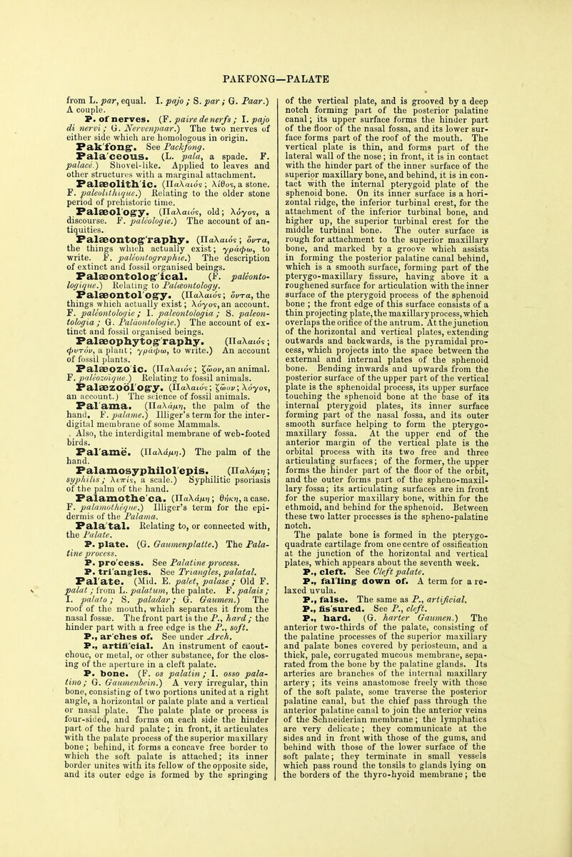 PAKFONG —PALATE from L. par, equal. I. pajo ; S. par; G. Paar.) A couple. P. of nerves. (F. paire denerfs ; I. pajo di nervi; (i. Nervenpaar.) The two nerves of either side which are homologous in origin. Pak'fong'. See Packfong. Pala'ceous. (L. pala, a spade. F. palace.) Shovel-like. Applied to leaves and other structures with a marginal attachment. Palaeolith ic. (ITaXaids ; XiOos, a stone. F. paleolithique.) Relating to the older stone period of prehistoric time. Palseol'Og'y. (IlaXatds, old; Xdyos, a discourse. F. paleologie.) The account of an- tiquities. Palaeontog>'raphy. (llaXaids; tWa, the things winch actually exist; ypacpui, to write. F. paleontographie.) The description of extinct and fossil organised beings. Falaeoxitolog-'ical. (F. paleonto- logiqne.) Relating to Palaeontology. Palaeontol ogy. (IlaXaio's; oura, the things which actually exist; Xdyos,an account. F. paleontologie; I. paleontologia; S. paleon- tologia ; G. Palaontologie.) The account of ex- tinct and fossil organised beings. Palaeophytog-'raphy. (JlaXaws; (pvTov, a plant; ypucpui, to write.) An account of fossil plants. Palaeozo ic. (TlaXcuds; £<«oi>,an animal. F. paleozo'ique.) Relating to fossil animals. Palaezobl'ogy. (IlaXatds; £aW; Xdyos, an account.) The science of fossil animals. Pal'ama. (llaXdfiii, the palm of the hand. F. palame.) llliger's term for the inter- digital membrane of some Mammals. . Also, the interdigital membrane of web-footed birds. Pal ami'. (riaXa>i].) The palm of the hand. Palamosyphilolepis. (na^ti; syphilis; Xett/s, a scale.) Syphilitic psoriasis of the palm of the hand. Falamothe'ca. (IIaXa7i>j; 0>;k>), a case. F. palamotheqite.) llliger's term for the epi- dermis of the Palama. Pala'tal. Relating to, or connected with, the Palate. P. plate. (G. Gaumenplatte.) The Pala- tine process. P. pro'cess. See Palatine process. P. triangles. See Triangles, palatal. Pal'ate. (Mid. E. palet, palase ; Old F. palat; from L. palatum, the palate. F. palais ; I. palato; S. paladar; G. QaumenS The roof of the mouth, which separates it from the nasal fossae. The front part is the P., hard; the hinder part with a free edge is the P., soft. P., ar'cbes of. See under Arch. P., artificial. An instrument of caout- chouc, or metal, or other substance, for the clos- ing of the aperture in a cleft palate. P. bone. (F. os palalin; I. osso pala- lino; G. Gaumenbein.) A very irregular, thin bone, consisting of two portions united at a right angle, a horizontal or palate plate and a vertical or nasal plate. The palate plate or process is four-sided, and forms on each side the hinder part of the hard palate ; in front, it articulates with the palate process of the superior maxillary bone ; behind, it forms a concave free border to which the soft palate is attached; its inner border unites with its fellow of the opposite side, and its outer edge is formed by the springing of the vertical plate, and is grooved by a deep notch forming part of the posterior palatine canal; its upper surface forms the hinder part of the floor of the nasal fossa, and its lower sur- face forms part of the roof of the mouth. The vertical plate is thin, and forms part of the lateral wall of the nose; in front, it is in contact with the hinder part of the inner surface of the superior maxillary bone, and behind, it is in con- tact with the internal pterygoid plate of the sphenoid bone. On its inner surface is a hori- zontal ridge, the inferior turbinal crest, for the attachment of the inferior turbinal bone, and higher up, the superior turbinal crest for the middle turbinal bone. The outer surface is rough for attachment to the superior maxillary bone, and marked by a groove which assists in forming the posterior palatine canal behind, which is a smooth surface, forming part of the pterygo-maxillary fissure, having above it a roughened surface for articulation with the inner surface of the pterygoid process of the sphenoid bone ; the front edge of this surface consists of a thin projecting plate,the maxillaryprocess,which overlaps the orifice of the antrum. At the junction of the horizontal and vertical plates, extending outwards and backwards, is the pyramidal pro- cess, which projects into the space between the external and internal plates of the sphenoid bone. Bending inwards and upwards from the posterior surface of the upper part of the vertical plate is the sphenoidal process, its upper surface touching the sphenoid bone at the base of its internal pterygoid plates, its inner surface forming part of the nasal fossa, and its outer smooth surface helping to form the pterygo- maxillary fossa. At the upper end of the anterior margin of the vertical plate is the orbital process with its two free and three articulating surfaces; of the former, the upper forms the hinder part of the floor of the orbit, and the outer forms part of the spheno-maxil- lary fossa; its articulating surfaces are in front for the superior maxillary bone, within for the ethmoid, and behind for the sphenoid. Between these two latter processes is the spheno-palatine notch. The palate bone is formed in the pterygo- quadrate cartilage from one centre of ossification at the junction of the horizontal and vertical plates, which appears about the seventh week. P., cleft. See Cleft palate. P., falling- down of. A term for a re- laxed uvula. P., false. The same as P., artificial. P., fis sured. See P., cleft. P., bard. (G. harter Gaumen.) The anterior two-thirds of the palate, consisting of the palatine processes of the superior maxillary and palate bones covered by periosteum, and a thick, pale, corrugated mucous membrane, sepa- rated from the bone by the palatine glands. Its arteries are branches of the internal maxillary artery ; its veins anastomose freely with those of the soft palate, some traverse the posterior palatine canal, but the chief pass through the anterior palatine canal to join the anterior veins of the Schneiderian membrane ; the lymphatics are very delicate; they communicate at the sides and in front with those of the gums, and behind with those of the lower surface of the soft palate; they terminate in small vessels which pass round the tonsils to glands lying on the borders of the thyro-hyoid membrane; the