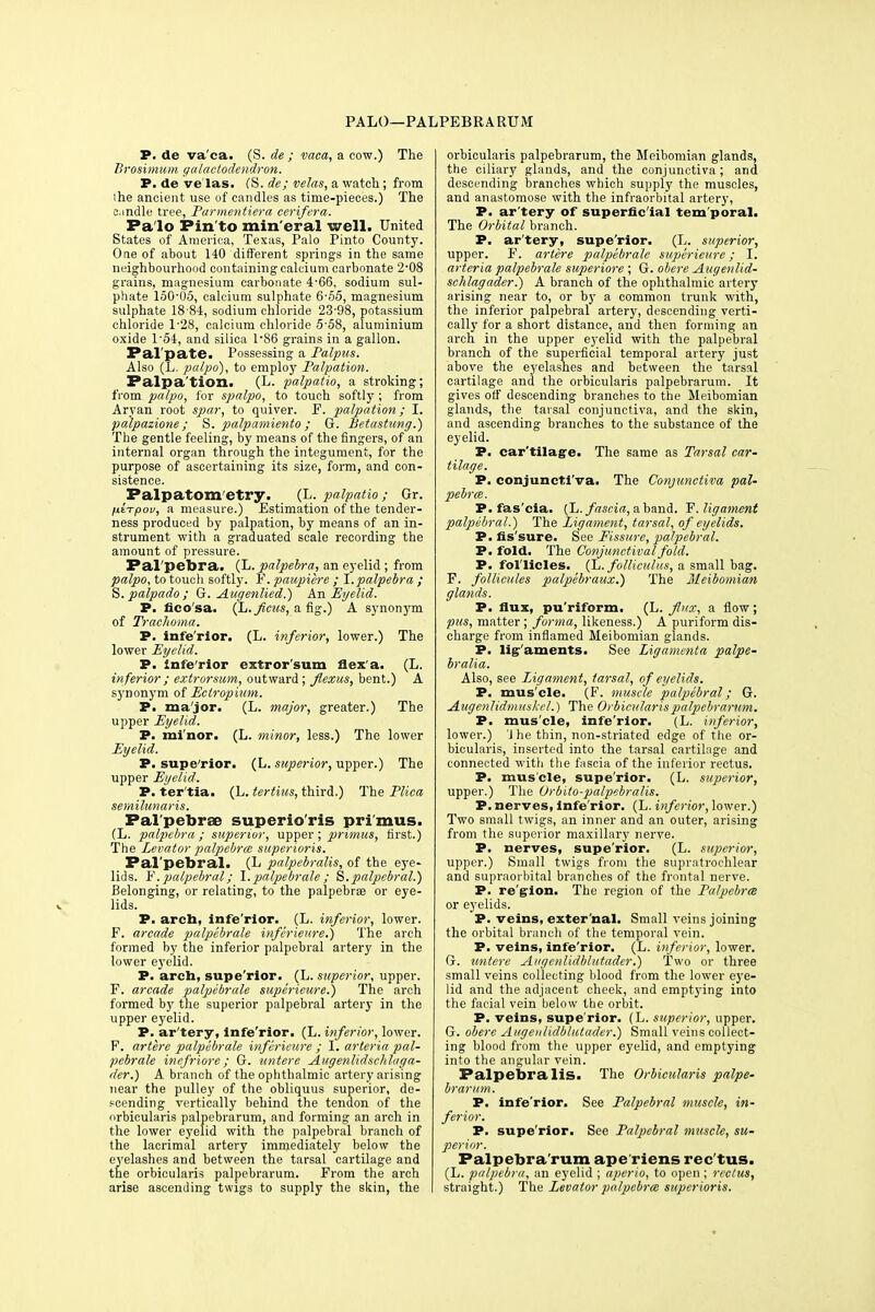 PALO—PALPEBRARUM P. de va'ca. (S. de ; vaca, a cow.) The Brosimum galactodendron. P. de velas. (S. de; velas, a watch; from ihe ancient use of candles as time-pieces.) The e.mdle tree, Parmentiera eerifera. Pa lo Pin to min eral well. United States of America, Texas, Palo Pinto County. One of about 140 different springs in the same neighbourhood containing calcium carbonate 2-08 grains, magnesium carbonate 4'66, sodium sul- phate loO'OS, calcium sulphate 6-65, magnesium sulphate 18 84, sodium chloride 23'98, potassium chloride 1-28, calcium chloride 5-58, aluminium oxide 1'54, and silica 186 grains in a gallon. Pal'pate. Possessing a Palpus. Also (L. palpo), to employ Palpation. Palpa'tion. (L. palpatio, a stroking; from palpo, for spalpo, to touch softly ; from Aryan root spar, to quiver. F. palpation; I. palpazione ; S. palpamiento; G. Betastung.) The gentle feeling, by means of the fingers, of an internal organ through the integument, for the purpose of ascertaining its size, form, and con- sistence. Palpatom'etry. (L. palpatio; Gr. fit-rpov, a measure.) Estimation of the tender- ness produced by palpation, by means of an in- strument with a graduated scale recording the amount of pressure. Pal'pebra. (L. palpebra, an eyelid ; from palpo, to touch softly. F. paupiere ; I.palpebra ; S.palpado; G. Augenlied.) An Eyelid. P. fico'sa. (L. feus, a fig.) A synonym of Trachoma. P. infe'rlor. (L. inferior, lower.) The lower Eyelid. P. infe'rlor extror'sum flex a. (L. inferior; extrorsum, outward; flexus, bent.) A synonym of Ectropium. P. major. (L. major, greater.) The upper Eyelid. P. mi'nor. (L. minor, less.) The lower Eyelid. P. supe'rior. (L. superior, upper.) The upper Eyelid. P. ter'tia. (L. tertius, third.) The Plica semilunaris. Pal'pebrse superio'ris pri mus. (L. palpebra ; superior, upper ; primus, first.) The Levator palpebrm superioris. Pal pebral. (L palpcbralis, of the eye- lids. F. palpebral; I.palpebrale ; S.palpebral.) Belonging, or relating, to the palpebrse or eye- lids. P. arcb, infe'rior. (L. inferior, lower. F. arcade palpebrale infcrieure.) The arch formed by the inferior palpebral artery in the lower eyelid. P. arch, supe'rior. (L. superior, upper. F. arcade palpebrale superieure.) The arch formed by the superior palpebral artery in the upper eyelid. P. ar'tery, Infe'rior. (L. inferior, lower. F. artere palpebrale infcrieure ; I. arteria pal- pebrale inefriore; G. untere Augenlidsehluga- der.) A branch of the ophthalmic artery arising near the pulley of the obliquus superior, de- scending vertically behind the tendon of the orbicularis palpebrarum, and forming an arch in the lower eyelid with the palpebral branch of the lacrimal artery immediately below the eyelashes and between the tarsal cartilage and the orbicularis palpebrarum. From the arch arise ascending twigs to supply the skin, the orbicularis palpebrarum, the Meibomian glands, the ciliary glands, and the conjunctiva; and descending branches which supply the muscles, and anastomose with the infraorbital artery, P. ar'tery of superfic ial tem poral. The Orbital branch. P. ar'tery, supe'rior. (L. superior, upper. F. artere palpebrale superieure; I. arteria palpebrale superiore ; G. obere Augenlid- schlagader.) A branch of the ophthalmic artery arising near to, or by a common trunk with, the inferior palpebral artery, descending verti- cally for a short distance, and then forming an arch in the upper eyelid with the palpebral branch of the superficial temporal artery just above the eyelashes and between the tarsal cartilage and the orbicularis palpebrarum. It gives off descending branches to the Meibomian glands, the tarsal conjunctiva, and the skin, and ascending branches to the substance of the eyelid. P. cartilage. The same as Tarsal car- tilage. P. conjunctiva. The Conjunctiva pal- pebrm. P. fas'cia. (L. fascia, a band. F. ligament palpebral.) The Ligament, tarsal, of eyelids. P. fissure. See Fissure, palpebral. P. fold. The Conjunctival fold. P. fol licles. (L. folliculus, a small bag. F. follicules palpebraux.) The Meibomian glands. P. flux, pu'riform. (L. flux, a flow; pus, matter; forma, likeness.) A puriform dis- charge from inflamed Meibomian glands. P. ligaments. See Ligamenta palpe- bralia. Also, see Ligament, tarsal, of eyelids. P. mus'cle. (F. muscle palpebral; G. Augenlidmusl-cl.) The Orbicularis palpebrarum. P. mus'cle, infe'rior. (L. inferior, lower.) '1 he thin, non-striated edge of the or- bicularis, inserted into the tarsal cartilage and connected with the fascia of the inferior rectus. P. mus'cle, supe'rior. (L. superior, upper.) The Orbito-palpebralis. P. nerves, infe'rior. (L. inferior, lower.) Two small twigs, an inner and an outer, arising from the superior maxillary nerve. P. nerves, supe'rior. (L. superior, upper.) Small twigs from the supratrochlear and supraorbital branches of the frontal nerve. P. re gion. The region of the Palpebrm or eyelids. P. veins, exter nal. Small veins joining the orbital branch of the temporal vein. P. veins, infe'rior. (L. inferior, lower. G. untere Augenlidblutader.) Two or three small veins collecting blood from the lower eye- lid and the adjacent cheek, and emptying into the facial vein below the orbit. P. veins, supe'rior. (L. superior, upper. G. obere Augenlidblutader.) Small veins collect- ing blood from the upper eyelid, and emptying into the angular vein. Palpebra lis. The Orbicularis palpe- brarum. P. infe'rior. See Palpebral muscle, in- ferior. P. supe'rior. See Palpebral muscle, su- perior. Palpebrarum ape'riens rectus. (L. palpebra, an eyelid ; aperio, to open ; rectus, straight.) The Levator palpebrm superioris.