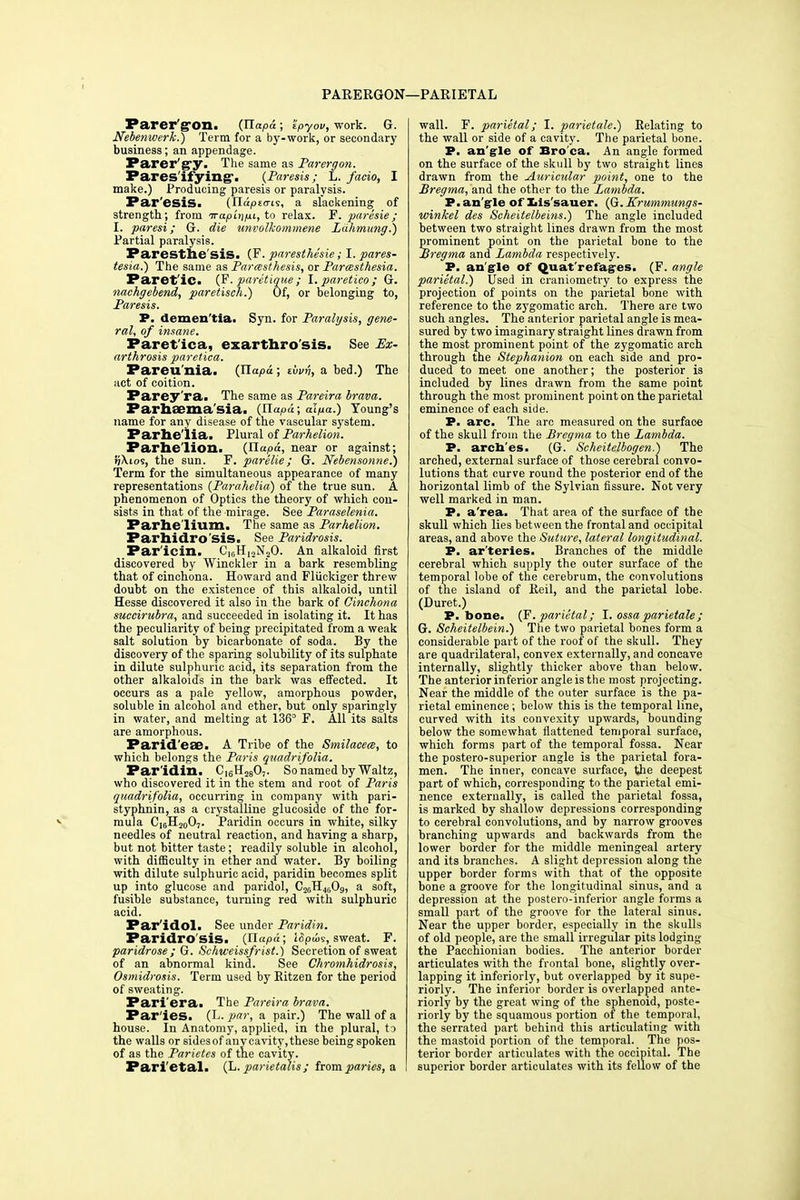 PARERGON—PARIETAL Paxer'g'Oll. (Jlapa; tpyov, work. G. Nebenwerk.) Term for a by-work, or secondary business; an appendage. Parer'gy. The same as Parergon. Pares'ifying1. {Paresis; L. facio, I make.) Producing paresis or paralysis. Paresis. Jlapz<Ti<s, a slackening of strength; from irapinpi, to relax. F. paresie; I. paresi; G. die unvolkommene Lahmung.) Partial paralysis. Paresthe'sis. (F. paresthesie; I. pares- tesia.) The same as Parasthesis, or Parcesthesia. Paret ic. (F. paretique; I. paretico; G. nachgebend, paretisch.) Of, or belonging to, Paresis. P. demen'tia. Syn. for Paralysis, gene- ral, of insane. Paret ica, esarthro sis. See Ex- arthrosis paretica. Pareu'nia. (Jlapa; tvvn, a bed.) The act of coition. Parey'ra. The same as Pareira brava. Parhaema'sia. Jlapa; alpa.) Young's name for any disease of the vascular system. Parhelia. Plural of Parhelion. Parhelion. (Jlapa, near or against; ?i\tos, the sun. F. parelie; G. Nebensotine.) Term for the simultaneous appearance of many representations (Parahelia) of the true sun. A phenomenon of Optics the theory of which con- sists in that of the mirage. See Paraselenia. Parhe'lium. The same as Parhelion. Parhidro'sis. See Paridrosis. Par'icin. C16H12N20. An alkaloid first discovered by Winckler in a bark resembling that of cinchona. Howard and Fliickiger threw doubt on the existence of this alkaloid, until Hesse discovered it also in the bark of Cinchona mccirubra, and succeeded in isolating it. It has the peculiarity of being precipitated from a weak salt solution by bicarbonate of soda. By the discovery of the sparing solubility of its sulphate in dilute sulphuric acid, its separation from the other alkaloids in the bark was effected. It occurs as a pale yellow, amorphous powder, soluble in alcohol and ether, but only sparingly in water, and melting at 136° F. All its salts are amorphous. Parid'eae. A Tribe of the Smilaeece, to which belongs the Paris quadrifolia. Par'idin. C,6H280,. So named by Waltz, who discovered it in the stem and root of Paris quadrifolia, occurring in company with pari- styphnin, as a crystalline glucoside of the for- mula C16H20O7. Paridin occurs in white, silky needles of neutral reaction, and having a sharp, but not bitter taste; readily soluble in alcohol, with difficulty in ether and water. By boiling with dilute sulphuric acid, paridin becomes split up into glucose and paridol, C20H4liOg, a soft, fusible substance, turning red with sulphuric acid. Par idol. See under Paridin. Paridro sis. Jlapa.; ISpws, sweat. F. paridrose ; G. Schweissfrist.) Secretion of sweat of an abnormal kind. See Chromhidrosis, Osmidrosis. Term used by Bitzen for the period of sweating. Pari era. The Pareira brava. Par'ies. (L. par, a pair.) The wall of a house. In Anatomy, applied, in the plural, to the walls or sides of any cavity, these being spoken of as the Parietes of the cavity. Pari etal. (L. parietalis; from paries, a wall. F. parietal; I. parietale.) Relating to the wall or side of a cavity. The parietal bone. P. an gle of Bro'ca. An angle formed on the surface of the skull by two straight lines drawn from the Auricular point, one to the Bregma, and the other to the Lambda. P. angle of Xils'sauer. (Q.Krummungs- winkel des Scheitelbeitis.) The angle included between two straight lines drawn from the most prominent point on the parietal bone to the Bregma and Lambda respectively. P. an gle of Quat'refag-es. (F. angle parietal.) Used in craniometry to express the projection of points on the parietal bone with reference to the zygomatic arch. There are two such angles. The anterior parietal angle is mea- sured by two imaginary straight lines drawn from the most prominent point of the zygomatic arch through the Stephanion on each side and pro- duced to meet one another; the posterior is included by lines drawn from the same point through the most prominent point on the parietal eminence of each side. P. arc. The arc measured on the surfaoe of the skull from the Bregma to the Lambda. P. arcb'es. (G. Scheitelbogen.) The arched, external surface of those cerebral convo- lutions that curve round the posterior end of the horizontal limb of the Sylvian fissure. Not very well marked in man. P. a'rea. That area of the surface of the skull which lies between the frontal and occipital areas, and above the Suture, lateral longitudinal. P. ar'teries. Branches of the middle cerebral which supply the outer surface of the temporal lobe of the cerebrum, the convolutions of the island of Beil, and the parietal lobe. (Duret.) P. bone. J?. parietal; I. ossa parietale; G. Seheitelbein.) The two parietal bones form a considerable part of the roof of the skull. They are quadrilateral, convex externally, and concave internally, slightly thicker above than below. The anterior inferior angle is the most projecting. Near the middle of the outer surface is the pa- rietal eminence; below this is the temporal line, curved with its convexity upwards, bounding below the somewhat flattened temporal surface, which forms part of the temporal fossa. Near the postero-superior angle is the parietal fora- men. The inner, concave surface, the deepest part of which, corresponding to the parietal emi- nence externally, is called the parietal fossa, is marked by shallow depressions corresponding to cerebral convolutions, and by narrow grooves branching upwards and backwards from the lower border for the middle meningeal artery and its branches. A slight depression along the upper border forms with that of the opposite bone a groove for the longitudinal sinus, and a depression at the postero-inferior angle forms a small part of the groove for the lateral sinus. Near the upper border, especially in the skulls of old people, are the small irregular pits lodging the Pacchionian bodies. The anterior border articulates with the frontal bone, slightly over- lapping it inferiorly, but overlapped by it supe- riorly. The inferior border is overlapped ante- riorly by the great wing of the sphenoid, poste- riorly by the squamous portion of the temporal, the serrated part behind this articulating with the mastoid portion of the temporal. The pos- terior border articulates with the occipital. The superior border articulates with its fellow of the