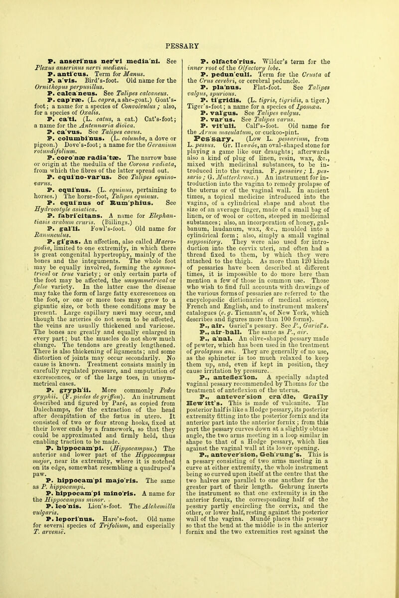 PESSARY P. anseri'nus ner'vi media'ni. See Plexus anserinus nervi mediani. P. anti'cus. Term for Manus. P. a vis. Bird's-foot. Old name for the Ornithopus perpusillus. P. calcaneus. See Talipes calcaneus. P. cap'rse. (L. capra, a she-goat.) Goat's- foot; a name for a species of Convolvulus ; also, for a species of Oxalis. P. ca'ti. (L. catus, a cat.) Cat's-foot; a name for the Antennaria dioica. P. ca'vus. See Talipes cavus. P. columbi'nus. (L. columba, a dove or pigeon.) Dove's-foot; a name for the Geranium rotimdifolium. P. coro'nse radia'tse. The narrow base or origin at the medulla of the Corona radiata, from which the fibres of the latter spread out. P. equi'no-var'us. See Talipes equino- varus. P. equinus. (L. equinus, pertaining to horses.) The horse-foot, Talipes equinus. P. equinus of Rum'pbius. See Hydrocotyle asiatica. P. fabri'citans. A name for Elephan- tiasis arabum cruris. (Billings.) P. gal'll. Fowl's-f'oot. Old name for Ranunculus. P. gl'gas. An affection, also called Macro- podia, limited to one extremity, in which there is great congenital hypertrophy, mainly of the bones and the integuments. The whole foot may be equally involved, forming the symme- trical or true variety; or only certain parts of the foot may be affected, the nonsymmetrical or false variety. In the latter case the disease may take the form of large fatty excrescences on the foot, or one or more toes may grow to a gigantic size, or both these conditions may be present. Large capillary nsevi may occur, and though the arteries do not seem to be affected, the veins are usually thickened and varicose. The bones are greatly and equally enlarged in every part; but the muscles do not show much change. The tendons are greatly lengthened. There is also thickening of ligaments; and some distortion of joints may occur secondarily. No cause is known. Treatment consists mainly in carefully regulated pressure, and amputation of excrescences, or of the large toes, in unsym- metrical cases. P. gryph'ii. More commonly Pedes gryphii. (F.piedes degriffon). An instrument described and figured by Pare, as copied from Dalechamps, for the extraction of the head after decapitation of the foetus in utero. It consisted of two or four strong hooks, fixed at their lower ends by a framework, so that they could be approximated and firmly held, thus enabling traction to be made. P. bippocam'pi. {Hippocampus.) The anterior and lower part of the Hippocampus major, near its extremity, where it is notched on its edge, somewhat resembling a quadruped's paw. P. bippocam'pi majo'ris. The same as P. hippocampi. P. bippocam'pi mino'ris. A name for the Hippocampus minor. P. leo'nis. Lion's-foot. The Alehemilla vulgaris. P. lepori'nus. Hare's-foot. Old name for several species of Trifolium, and especially T. arvense. P. olfacto'rius. Wilder's term for the inner root of the Olfactory lobe. P. pedun'cull. Term for the Crusta of the Cms cerebri, or cerebral peduncle. P. pla'nus. Flat-foot. See Talipes valgus, spurious. P. tigridis. (L. tigris, tigridis, a tiger.) Tiger's-foot; a name for a species of Ipomcea. P. val gus. See Talipes valgus. P. var'us. See Talipes varus. P. vit'uli. Calf's-foot. Old name for the Arum maculatum, or cuckoo-pint. ^es'sary. (Low L. pessarium, from L.pessus. Gr. Utacros, an oval-shaped stone for playing a game like our draughts; afterwards also a kind of plug of linen, resin, wax, &c, mixed with medicinal substances, to be in- troduced into the vagina. F. pessaire ; 1. pes- sario ; G. Mutterkranz.) An instrument for in- troduction into the vagina to remedy prolapse of the uterus or of the vaginal wall. In ancient times, a topical medicine introduced into the vagina, of a cylindrical shape and about the size of an average finger, made of a small bag of linen, or of wool or cotton, steeped in medicinal substances; also, an incorporation of honey, gal- banum, laudanum, wax, &c, moulded into a cylindrical form; also, simply a small vaginal suppository. They were also used for intro- duction into the cervix uteri, and often had a thread fixed to them, by which they were attached to the thigh. As more than 120 kinds of pessaries have been described at different times, it is impossible to do more here than mention a few of those in common use. Those who wish to find full accounts with drawings of the various forms of pessaries are referred to the encyclopaedic dictionaries of medical science, French and English, and to instrument makers' catalogues (e.g. Tiemann's, of New York, which describes and figures more than 100 forms). P., air. Gariel's pessary. See P., Gariel's. P., air-ball. The same as P., air. P., a'nal. An olive-shaped pessary made of pewter, which has been used in the treatment of prolapsus ani. They are generally of no use, as the sphincter is too much relaxed to keep them up, and, even if kept in position, they cause irritation by pressure. P., anteflexion. A specially adapted vaginal pessary recommended by Thomas for the treatment of anteflexion of the uterus. P., antever'sion cra'dle, Grai'ly Hew itt's. This is made of vulcanite. The posterior half is like a Hodge pessary, its posterior extremity fitting into the posterior fornix and its anterior part into the anterior fornix ; from this part the pessary curves down at a slightly obtuse angle, the two arms meeting in a loop similar in shape to that of a Hodge pessary, which lies against the vaginal wall at its lower opening. P., antever'sion, Geh rung's. This is a pessary consisting of two arms meeting in a curve at either extremity, the whole instrument being so curved upon itself at the centre that the two halves are parallel to one another for the greater part of their length. Gehrung inserts the instrument so that one extremity is in the anterior fornix, the corresponding half of the pessary partly encircling the cervix, and the other, or lower half, resting against the posterior wall of the vagina. Munde places this pessary so that the bend at the middle is in the anterior fornix and the two extremities rest against the