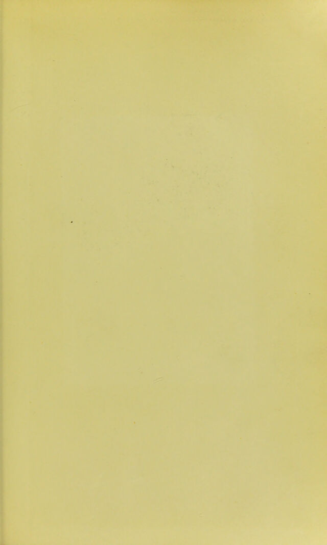 digitised image 3