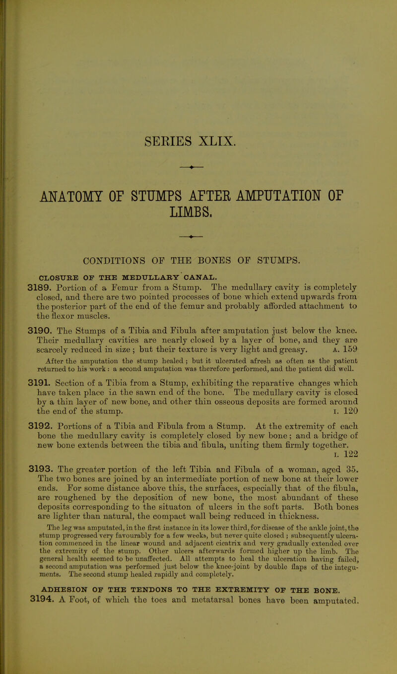 SERIES XLIX. ANATOMY OF STUMPS APTEK AMPUTATION OF LIMBS. —♦— CONDITIONS OF THE BONES OF STUMPS. CLOSURE OF THE MEDULLARY CANAL. 3189. Portion of a Femur from a Stump. The medullary cavity is completely closed, and there are two pointed processes of bone which extend upwards from the posterior part of the end of the femur and probably afforded attachment to the flexor muscles. 3190. The Stumps of a Tibia and Fibula after amputation just below the knee. Their medullary cavities are nearly closed by a layer of bone, and they are scarcely reduced in size ; but their texture is very light and greasy. A. 159 After the amputation the stump healed ; but it ulcerated afresh as often as the patient returned to his work : a second amputation was therefore performed, and the patient did well. 3191. Section of a Tibia from a Stump, exhibiting the reparative changes which have taken place in the sawn end of the bone. The medullary cavity is closed by a thin layer of new bone, and other thin osseous deposits are formed around the end of the stump, i. 120 3192. Portions of a Tibia and Fibula from a Stump. At the extremity of each bone the medullary cavity is completely closed by new bone; and a bridge of new bone extends between the tibia and fibula, uniting them firmly together. I. 122 3193. The greater portion of the left Tibia and Fibula of a woman, aged 35. The two bones are joined by an intermediate portion of new bone at their lower ends. For some distance above this, the surfaces, especially that of the fibula, are roughened by the deposition of new bone, the most abundant of these deposits corresponding to the situaton of ulcers in the soft parts. Both bones are lighter than natural, the compact wall being reduced in thickness. The leg was amputated, in the first instance in its lower third, for disease of the ankle joint, the stump progressed very favourably for a few weeks, but never quite closed ; subsequently ulcera- tion commenced in the linear wound and adjacent cicatrix and vei'y gradually extended over the extremity of the stump. Other ulcers afterwards formed higher up the limb. The general health seemed to be unaffected. All attempts to heal tlie ulceration having failed, a second amputation was performed just below the knee-joint by double flaps of the integu- ments. The second stump healed rapidly and completely. ADHESION OF THE TENDONS TO THE EXTREMITY OF THE BONE. 3194. A Foot, of which the toes and metatarsal bones have been amputated.