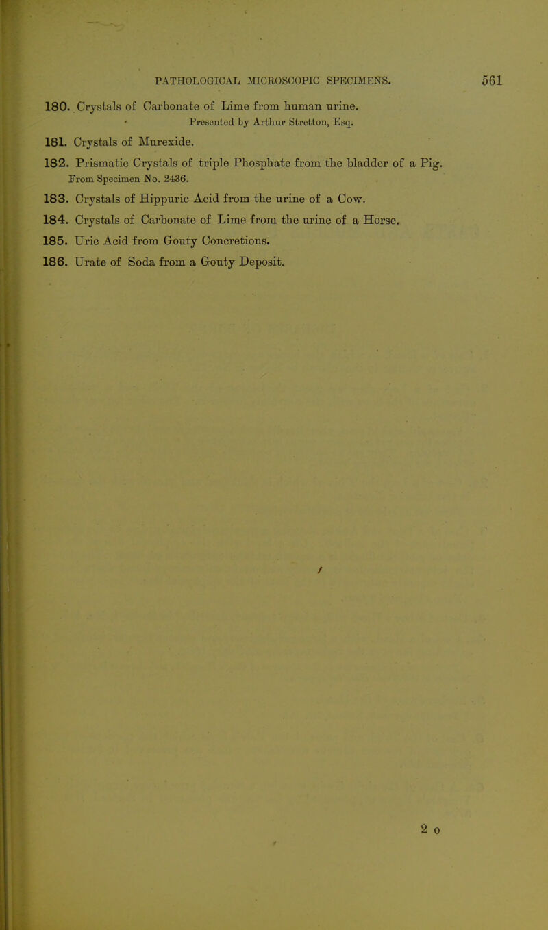 180. Crystals of Carbonate of Lime from human urine. Presented by Ai'thur Stretton, Esq. 181. Crystals of Murexide. 182. Prismatic Crystals of triple Phosphate from the bladder of a Pig. From Specimen No. 2436. 183. Crystals of Hippuric Acid from the urine of a Cow. 184. Crystals of Carbonate of Lime from the urine of a Horse. 185. Uric Acid from Gouty Concretions. 186. Urate of Soda from a Gouty Deposit. / 2 0