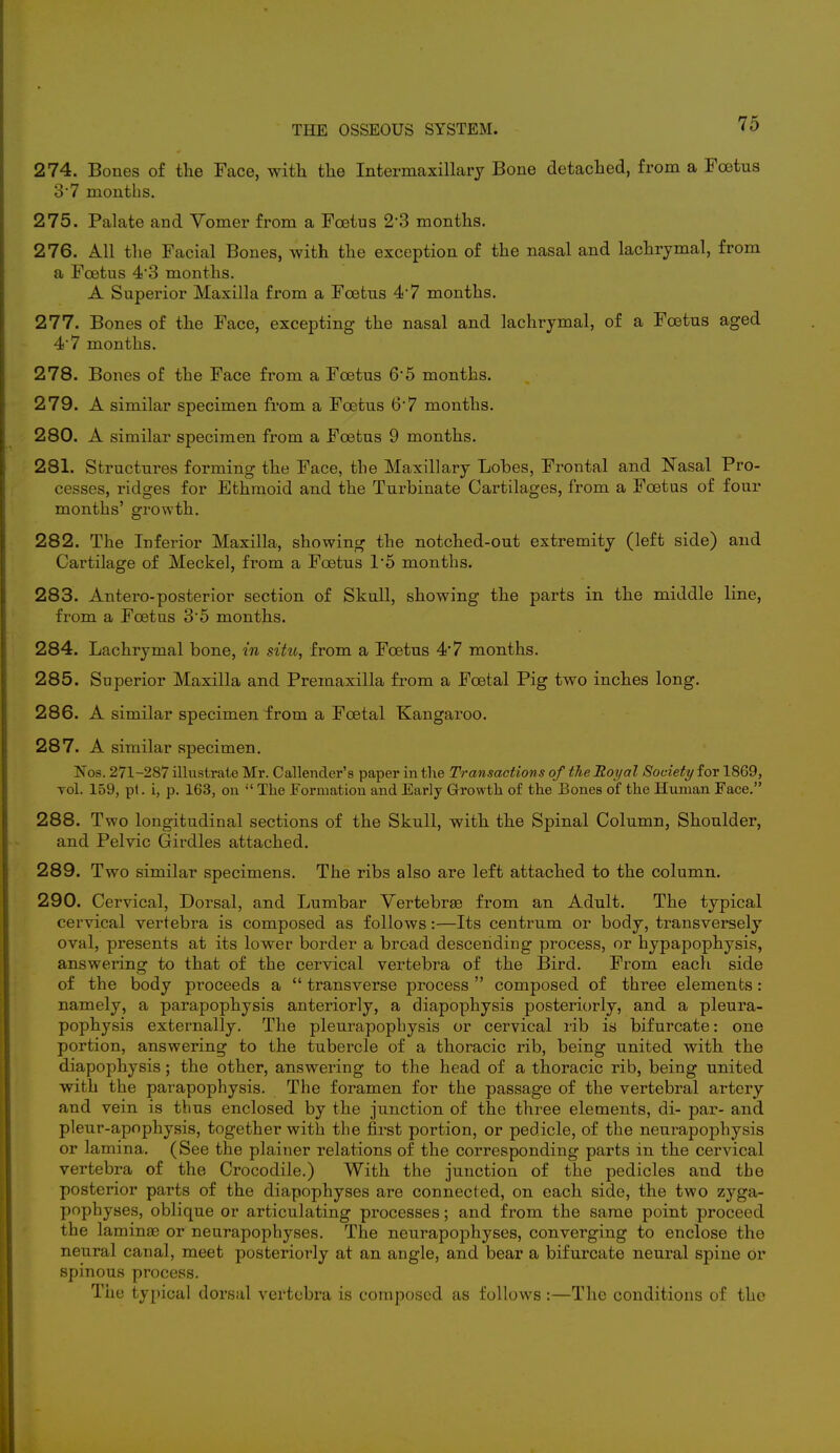 274. Bones of the Face, with the Intermaxillary Bone detached, from a Foetus 37 months. 275. Palate and Vomer from a Foetus 23 months. 276. All the Facial Bones, with the exception of the nasal and lachrymal, from a Foetus 4*3 months. A Superior Maxilla from a Foetus 4'7 months. 277. Bones of the Face, excepting the nasal and lachrymal, of a Foetus aged 4'7 months. 278. Bones of the Face from a Foetus 6'5 months. 279. A similar specimen from a Foetus 6*7 months. 280. A similar specimen from a Foetus 9 months. 281. Structures forming the Face, the Maxillary Lobes, Frontal and Nasal Pro- cesses, ridges for Ethmoid and the Turbinate Cartilages, from a Foetus of four months' growth. 282. The Inferior Maxilla, showing the notched-out extremity (left side) and Cartilage of Meckel, from a Foetus 1*5 months. 283. Antero-posterior section of Skull, showing the parts in the middle line, from a Foetus 3*5 months. 284. Lachrymal bone, in situ, from a Foetus 4'7 months. 285. Superior Maxilla and Premaxilla from a Foetal Pig two inches long. 286. A similar specimen from a Foetal Kangaroo. 287. A similar specimen. Nos. 271-287 illustrate Mr. Callender's paper in the Transactions of the Royal Society for 1869, toI. 159, pt. i, p. 163, on  The Formation and Early Growth of the Bones of the Human Face. 288. Two longitudinal sections of the Skull, with the Spinal Column, Shoulder, and Pelvic Girdles attached. 289. Two similar specimens. The ribs also are left attached to the column. 290. Cervical, Dorsal, and Lumbar Vertebrae from an Adult. The typical cervical vertebra is composed as follows:—Its centrum or body, transversely oval, presents at its lower border a broad descending process, or hypapophysis, answering to that of the cervical vertebra of the Bird. From each side of the body proceeds a  transverse process  composed of three elements: namely, a parapophysis anteriorly, a diapophysis posteriorly, and a pleura- pophysis externally. The pleurapophysis or cervical rib is bifurcate: one portion, answering to the tubercle of a thoracic rib, being united with the diapophysis; the other, answering to the head of a thoracic rib, being united with the parapophysis. The foramen for the passage of the vertebral artery and vein is thus enclosed by the junction of the three elements, di- par- and pleur-apophysis, together with the first portion, or pedicle, of the neurapophysis or lamina. (See the plainer relations of the corresponding parts in the cervical vertebra of the Crocodile.) With the junction of the pedicles and the posterior parts of the diapophyses are connected, on each side, the two zyga- pophyses, oblique or articulating processes; and from the same point proceed the laminae or neurapophyses. The neurapophyses, converging to enclose the neural canal, meet posteriorly at an angle, and bear a bifurcate neural spine or spinous process. The typical dorsal vertebra is composed as follows :—The conditions of the