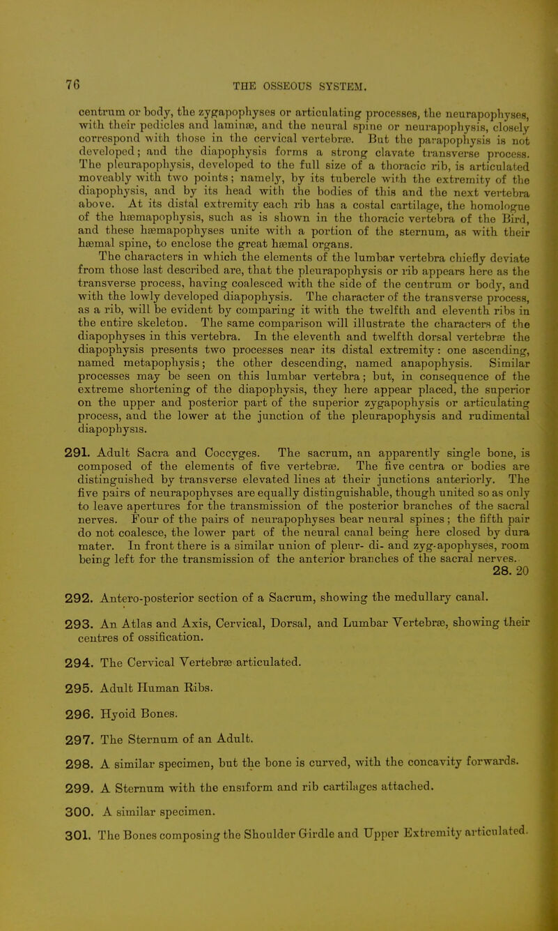 centrum or body, the zygapophyses or articulating processes, the neurapophyses, with their pedicles and lamina?, and the nem^al spine or neurapophysis, closely correspond with those in the cervical vertebra?. But the parapophysis is not developed; and the diapophysis forms a strong clavate transverse process. The pleurapophysis, developed to the full size of a thoracic rib, is articulated moveably with two points; namely, by its tubercle with the extremity of the diapophysis, and by its head with the bodies of this and the next vertebra above. At its distal extremity each rib has a costal cartilage, the homologue of the heemapophysis, such as is shown in the thoracic vertebra of the Bird, and these ha?mapophyses unite with a portion of the sternum, as with their hsemal spine, to enclose the great haemal organs. The characters in which the elements of the lumbar vertebra chiefly deviate from those last described are, that the pleurapophysis or rib appears here as the transverse process, having coalesced with the side of the centrum or body, and with the lowly developed diapophysis. The character of the transverse process, as a rib, will be evident by comparing it with the twelfth and eleventh ribs in the entire skeleton. The same comparison will illustrate the characters of the diapophyses in this vertebra. In the eleventh and twelfth dorsal vertebrae the diapophysis presents two processes near its distal extremity: one ascending, named metapophysis; the other descending, named anapophysis. Similar processes may be seen on this lumbar vertebra; but, in consequence of the extreme shortening of the diapophysis, they here appear placed, the superior on the upper and posterior part of the superior zygapophysis or articulating process, and the lower at the junction of the pleurapophysis and rudimental diapophysis. 291. Adult Sacra and Coccyges. The sacrum, an apparently single bone, is composed of the elements of five vertebra?. The five centra or bodies are distinguished by transverse elevated lines at their junctions anteriorly. The five pairs of neurapophyses are equally distinguishable, though united so as only to leave apertures for the transmission of the posterior branches of the sacral nerves. Four of the pairs of neurapophyses bear neural spines ; the fifth pair do not coalesce, the lower part of the neural canal being here closed by dura mater. In front there is a similar union of pleur- di- and zyg-apophyses, room being left for the transmission of the anterior branches of the sacral nerves. 28. 20 292. Antero-posterior section of a Sacrum, showing the medullary canal. 293. An. Atlas and Axis, Cervical, Dorsal, and Lumbar Vertebra?, showing their centres of ossification. 294. The Cervical Vertebra? articulated. 295. Adult Human Ribs. 296. Hyoid Bones. 297. The Sternum of an Adult. 298. A similar specimen, but the bone is curved, with the concavity forwards. 299. A Sternum with the ensiform and rib cartilages attached. 300. A similar specimen. 301. The Bones composing the Shoulder Girdle and Upper Extremity articulated.