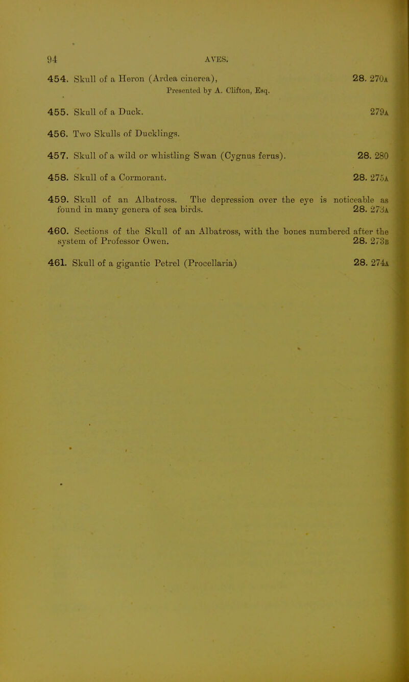 454. Skull of a Heron (Arclea cinerea), 28. 27<Ja Presented by A. Clifton, Esq. 455. Skull of a Duck. 279a 456. Two Skulls of Ducklings. 457. Skull of a wild or whistling Swan (Cygnus ferus). 28. 280 458. Skull of a Cormorant. 28. 275a 459. Skull of an Albatross. The depression over the eye is noticeable as found in many genera of sea birds. 28. liTiA 460. Sections of the Skull of an Albatross, with the bones numbered after the system of Professor Owen. 28. 273b 461. Skull of a gigantic Petrel (Procellaria) 28. 274a