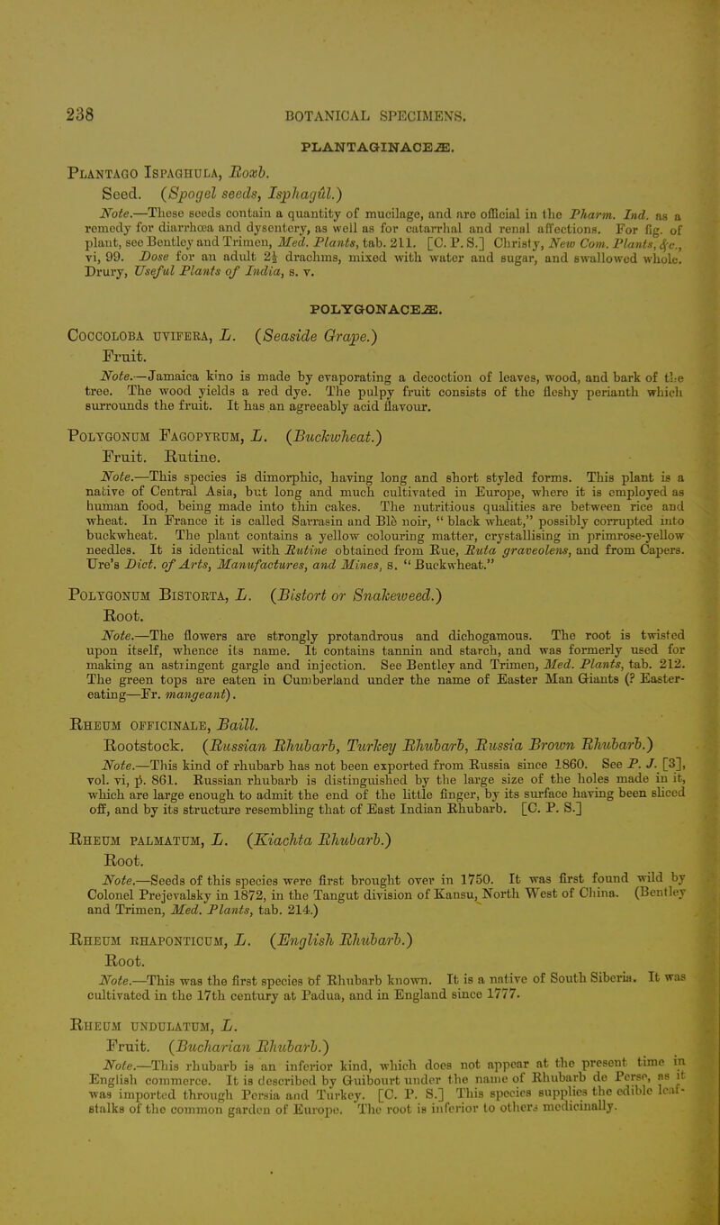 PLANTAGINACEiE. Plantago Ispaghula, Boxb. Seed. (Spogel seeds, Isphagul.) Note.—Those seeds contain a quantity of mucilage, and are official in the Pharm. Ind. as a remedy for diarrhoea and dysentery, as well as for catarrhal and renal affections. For fig. of plant, see Bentley and Triraen, Med. Plants, tab. 211. [C. P. S.] Christy, New Com. Plants, tyc, vi, 99. Dose for an adult 2\ drachms, mixed with water and sugar, and swallowed whole. Drury, Usef ul Plants of India, s. v. POLYGONACE^J. Coccoloba uvifera, L. (Seaside Grape.) Fruit. Note.—Jamaica kino is made by evaporating a decoction of leaves, wood, and bark of the tree. The wood yields a red dye. The pulpy fruit consists of the fleshy perianth which surrounds the fruit. It has an agreeably acid flavour. Polygonum Fagopyrum, L. (Buckwheat.) Fruit. Ratine. Note.—This species is dimorphic, having long and short styled forms. This plant is a native of Central Asia, but long and much cultivated in Europe, where it is employed as human food, being made into thin cakes. The nutritious qualities are between rice and wheat. In France it is called Sarrasin and Ble noir,  black wheat, possibly corrupted into buckwheat. The plant contains a yellow colouring matter, crystallising in primrose-yellow needles. It is identical with Rutine obtained from Rue, Buta graveolens, and from Capers. Ure's Diet, of Arts, Manufactures, and Mines, s. Buckwheat. Polygonum Bistorta, L. (Bistort or Snakeweed.) Root. Note.—The flowers are strongly protandrous and dichogamous. The root is twisted upon itself, whence its name. It contains tannin and starch, and was formerly used for making an astringent gargle and injection. See Bentley and Trimen, Med. Plants, tab. 212. The green tops are eaten in Cumberland under the name of Easter Man Giants (? Easter- eating—Er. mangeant). Rheum officinale, Baill. Rootstock. (Russian Rhubarb, Turkey Rhubarb, Russia Brown Rlmbarb.) Note.—This kind of rhubarb has not been exported from Russia since 1860. See P. J. [3], vol. vi, p\ 861. Russian rhubarb is distinguished by the large size of the holes made in it, which are large enough to admit the end of the little finger, by its surface having been sliced off, and by its structure resembling that of East Indian Rhubarb. [C. P. S.] Rheum palmatum, L. (Kiachta Rhubarb.) Root. Note.—Seeds of this species were first brought over in 1750. It was first found wild by Colonel Prejevalsky in 1872, in the Tangut division of Klansu, North West of China. (Bentley and Trimen, Med. Plants, tab. 214.) Rheum rhaponticum, L. (English Rhubarb.) Root. Note.—This was the first species of Rhubarb known. It is a native of South Siberia. It was cultivated in the 17th century at Padua, and in England since 1777. Rheum undulatum, L. Fruit. (Bucharian Rhubarb.) Note.—-This rhubarb is an inferior kind, which does not appear at the present time in English commerce. It is described by Guibourt under the name of Rhubarb de Perse, ns it was imported through Persia and Turkey. [C. P. S.] This species supplies the edible leaf- stalks of tho common garden of Europe. The root is inferior to others medicinally.