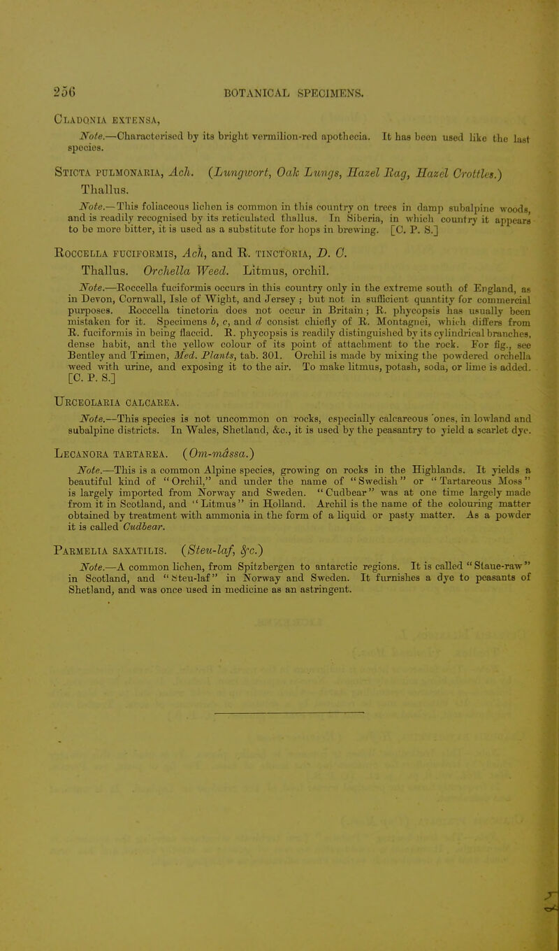 CLADQNIA EXTENSA, Note.—Characterised by its bright vermilion-red apothecia. It has boon used like the last species. Sticta pulmonaria, Ach. (Lungwort, Oak Lungs, Hazel Bag, Hazel Crottles.) Thallus. Note.— This foliaceous lichen is common in this country on trees in damp subalpine woods and is readily recognised by its reticulated thallus. In Siberia, in which country it appears to be more bitter, it is used as a substitute for hops in brewing. [C. P. S.] R.OCCELLA FDCIPORMIS, Acll, and R. TINCTORIA, D. G. Thallus. Orchella Weed. Litmus, orchil. Note.—Eoccella fuciformis occurs in this country only in the extreme south of England, as in Devon, Cornwall, Isle of Wight, and Jersey ; but not in sufficient quantity for commercial purposes. Eoccella tinctoria does not occur in Britain ; E. phycopsis has usually been mistaken for it. Specimens b, c, and d consist chiefly of E. Montagnei, which differs from E. fuciformis in being flaccid. E. phycopsis is readily distinguished by its cylindrical branches, dense habit, and the yellow colour of its point of attachment to the rock. For fig., see Bentley and Trimen, Med. Plants, tab. 301. Orchil is made by mixing the powdered orchella weed with urine, and exposing it to the air. To make litmus, potash, soda, or lime is added. [C. P. S.] Urceolaria calcarea. Note.—This species is not uncommon on rocks, especially calcareous 'ones, in lowland and subalpine districts. In Wales, Shetland, &c, it is used by the peasantry to yield a scarlet dye. Lecanora tartarea. (Om-mdssa.) Note.—This is a common Alpine species, growing on rocks in the Highlands. It yields a beautiful kind of Orchil, and under the name of Swedish or  Tartareous Moss is largely imported from Norway and Sweden.  Cudbear was at one time largely made from it in Scotland, and Litmus in Holland. Archil is the name of the colouring matter obtained by treatment with ammonia in the form of a liquid or pasty matter. As a powder it is called Cudbear. Parmelta saxatilis. (Steu-laf, 8fc.) Note.—A common lichen, from Spitzbergen to antarctic regions. It is called  Staue-raw  in Scotland, and Steu-laf in Norway and Sweden. It furnishes a dye to peasants of Shetland, and was once used in medicine as an astringent.