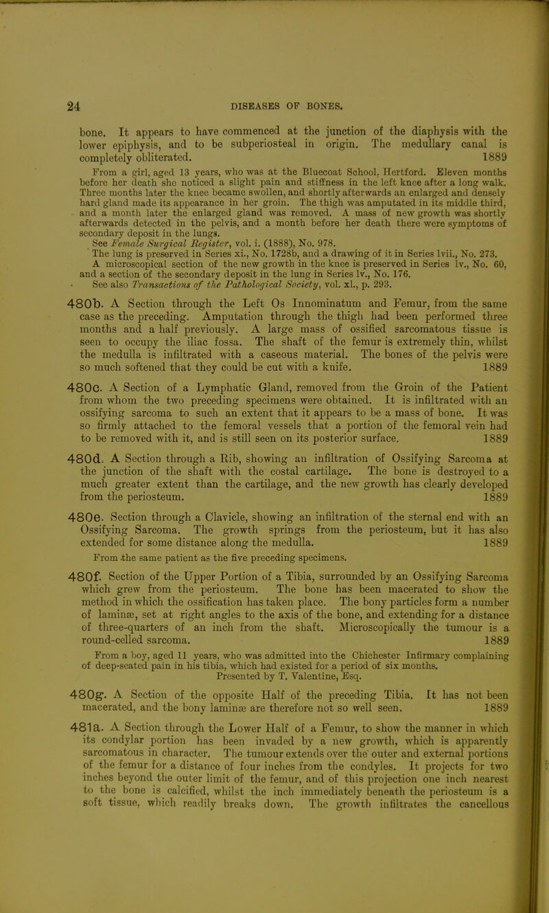 bone. It appears to have commenced at the junction of the diaphysis with the lower epiphysis, and to be subperiosteal in origin. The medullary canal is completely obliterated. 1889 From a girl, aged 13 years, who was at the Bluecoat School, Hertford. Bleveu months before her death she noticed a slight pain and stiffness in the left knee after a long walk. Three months later the knee became swollen, and shortly afterwards an enlarged and densely hard gland made its appearance in her groin. The thigh was amputated in its middle third, and a month later the enlarged gland was removed. A mass of new growth was shortly afterwards detected in the pelvis, and a month before her death there were symptoms of secondary deposit in the lungs. See Female Surgical Register, vol. i. (1888), No. 978. The lung is preserved in Series xi., No. 1728b, and a drawing of it in Series Ivii., No. 273. A microscopical section of the new growth in the knee is preserved in Series Iv., No, 60, and a section of the secondary deposit in the lung in Series Iv., No. 176. See also Transactions of the Pathological Society, vol. xl., p. 298. 480b. A Section through the Left Os Innominatum and Femur, from the same case as the preceding. Amputation through the thigh had been performed three months and a half previously. A large mass of ossified sarcomatous tissue is seen to occupy the iliac fossa. The shaft of the femur is extremely thin, whilst the medulla is infiltrated with a caseous material. The bones of the pelvis were so much softened that they could be cut with a knife. 1889 480c. A Section of a Lymphatic Gland, removed from the Groin of the Patient from whom the two preceding specimens were obtained. It is infiltrated with an ossifying sarcoma to such an extent that it appears to be a mass of bone. It was so firmly attached to the femoral vessels that a portion of the femoral vein had to be removed with it, and is still seen on its posterior surface. 1889 480d.> A Section through a Eib, showing an infiltration of Ossifying Sarcoma at the junction of the shaft with the costal cartilage. The bone is destroyed to a much greater extent than the cartilage, and the new growth has clearly developed from the periosteum. 1889 480e. Section through a Clavicle, showing an infiltration of the sternal end with an Ossifying Sarcoma. The growth springs from the periosteum, but it has also extended for some distance along the medulla. 1889 From .the same patient as the five preceding specimens. 480f. Section of the Upper Portion of a Tibia, surrounded by an Ossifying Sarcoma which grew from the periosteum. The bone has been macerated to show the method in which the ossification has taken place. The bony particles form a number of laminae, set at right angles to the axis of the bone, and extending for a distance of three-quarters of an inch from the shaft. Microscopically the tumour is a round-celled sarcoma. 1889 From a boy, aged 11 years, who was admitted into the Chichester Infirmary complaining of deep-seated pain in his tibia, which had existed for a period of six mouths. Presented by T. Valentine, Esq. 480g'. A Section of the opposite Half of the preceding Tibia. It has not been macerated, and the bony laminte are therefore not so well seen. 1889 481a. A Section through the Lower Half of a Femur, to show the manner in which its condylar portion has been invaded by a new growth, which is apparently sarcomatous in character. The tumour extends over the outer and external portions of the femur for a distance of four inches from the condyles. It projects for two inches beyond tlie outer limit of the femur, and of this projection one inch nearest to the bone is calcified, whilst the inch immediately beneath the periosteum is a soft tissue, which readily breaks down. The growth infiltrates the cancellous