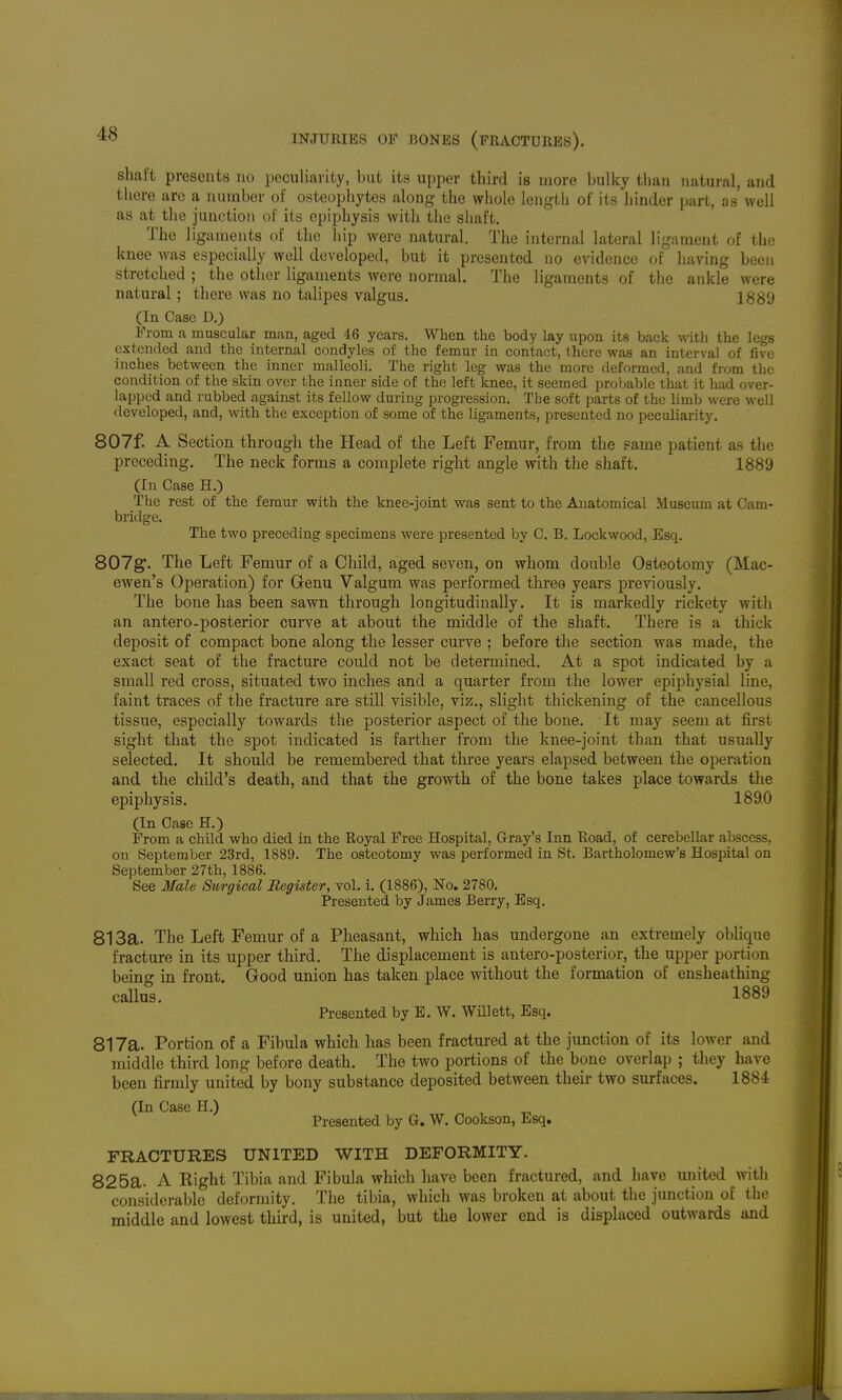 shaft presents no peculiarity, but its upper third is more bulky tliaii natural, and there are a number of osteopliytes along the whole length of its hinder part, as well as at the junction of its epiphysis with the shaft. The ligaments of the hip were natural. The internal lateral ligament of the knee was especially well developed, but it presented no evidence of having been stretched ; the other ligaments were normal. The ligaments of the ankle were natural; there was no talipes valgus. 1889 (In Case D.) From a muscular man, aged 46 years. When the body lay upon its back with the legs extended and the internal condyles of the femur in contact, there was an interval of five inches between the inner malleoli. The right leg was the more deformed, and from the condition of the skin over the inner side of the left knee, it seemed probable that it had over- lapped and rubbed against its fellow during progression. The soft parts of the limb were well developed, and, with the exception of some of the ligaments, presented no peculiarity. 807f. A Section through the Head of the Left Femur, from the same patient as the preceding. The neck forms a complete riglit angle with the shaft. 1889 (In Case H.) The rest of the femur with the knee-joint was sent to the Anatomical Museum at Cam- bridge. The two preceding specimens were presented by C. B. Lockwood, Esq. 807g. The Left Femur of a Child, aged seven, on whom double Osteotomy (Mac- ewen's Operation) for Genu Valgum was performed three years previously. The bone has been sawn through longitudinally. It is markedly rickety with an antero-posterior curve at about the middle of the shaft. There is a thick deposit of compact bone along the lesser curve ; before the section was made, the exact seat of the fracture could not be determined. At a spot indicated by a small red cross, situated two inches and a quarter from the lower epiphysial line, faint traces of the fracture are still visible, viz., slight thickening of the cancellous tissue, especially towards the posterior aspect of the bone. It may seem at first sight that the spot indicated is farther from the knee-joint than that usually selected. It should be remembered that three years elapsed between the operation and the child's death, and that the growth of the bone takes place towards the epiphysis. 189.0 (In Case H.) From a child who died in the Royal Free Hospital, Gray's Inn Road, of cerebellar abscess, on September 23rd, 1889. The osteotomy was performed in St. Bartholomew's Hospital on September 27th, 1886. See Male Surgical Register, vol. i. (1886), No. 2780. Presented by James Berry, Esq. 813a. The Left Femur of a Pheasant, which has undergone an extremely oblique fracture in its upper third. The displacement is antero-posterior, the upper portion being in front. Good union has taken place without the formation of ensheathing callus. 1889 Presented by E. W. WUlett, Esq. 817a. Portion of a Fibula which has been fractm-ed at the junction of its lower and middle third long before death. The two portions of the bone overlap ; they have been firmly united by bony substance deposited between their two surfaces. 1884 (In Case H.) Presented by G. W. Cookson, Esq, FRACTURES UNITED WITH DEFORMITY. 825a. A Riglit Tibia and Fibula which have been fractured, and have united with considerable deformity. The tibia, which was broken at about the junction of the middle and lowest third, is united, but the lower end is displaced outwards and