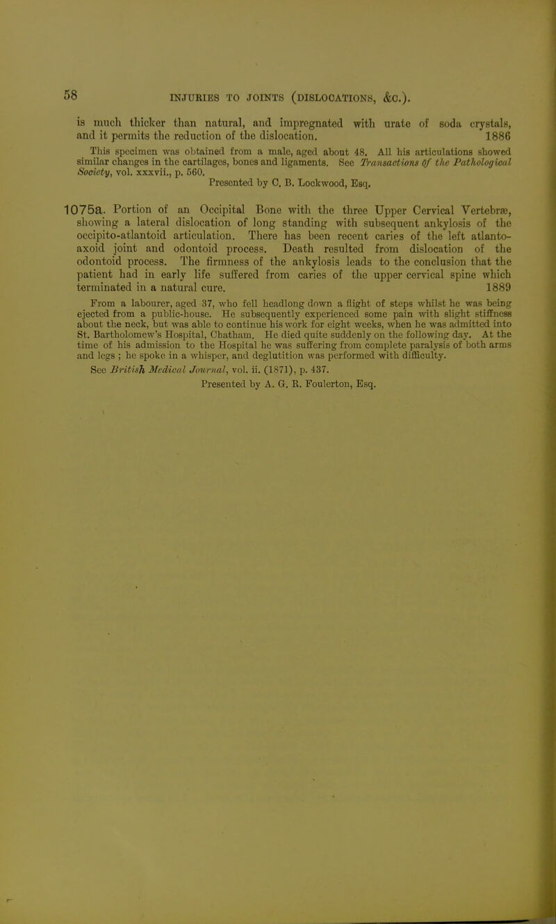 is mucli thicker than natural, and impregnated with urate of soda crystals, and it permits the reduction of the dislocation. 1886 This specimen was obtained from a male, aged about 48. All his articulations showed similar changes in the cartilages, bones and ligaments. See Ti-ansactions Of the Pathological Society, vol. xxxvii., p. 560, Presented by 0. B. Lockwood, Esq. 1075a. Portion of an Occipital Bone with the three Upper Cervical Vertebra?, showing a lateral dislocation of long standing with subsequent ankylosis of the occipito-atlantoid articulation. There has been recent caries of the left atlanto- axoid joint and odontoid process. Death resulted from dislocation of the odontoid process. The firmness of the ankylosis leads to the conclusion tliat the patient had in early life suffered from caries of the upper cervical spine which terminated in a natural cure. 1889 From a labourer, aged 37, who fell headlong down a flight of steps whilst he was being ejected from a public-house. He subsequently experienced some pain with slight stiffness about the neck, but was able to continue his work for eight weeks, when he was admitted into St. Bartholomew's Hospital, Chatham. He died quite suddenly on the following day. At the time of his admission to the Hospital he was suffering fi'om complete paralysis of both arms and legs ; he spoke in a whisper, and deglutition was performed with difficulty. Sec British Medical Journal, vol. ii. (1871), p. 437.