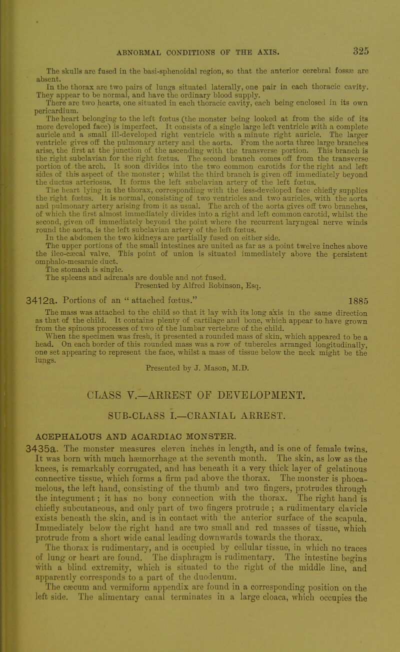 The skulls are fused in the basi-sphenoidal region, so that the anterior cerebral fossaa are absent. In the thorax are two pairs of lun^s situated laterally, one pair in each thoracic cavity. They appear to be normal, and have the ordinary blood supply. There are two hearts, one situated in each thoracic cavity, each being enclosed in its own pericardium. The heart belonging to the left fcstus (the monster being looked at from the side of its more developed face) is imperfect. It consists of a single large left ventricle with a complete auricle and a small ill-developed right ventricle with a minute right auricle. The larger ventricle gives off the pulmonary artery and the aorta. From the aorta three large branches arise, the lirst at the junction of the ascending with the transverse portion. This branch is the right subclavian for the right foetus. The second branch comes off from the transverse portion of the arch. It soon divides into the two common carotids for the right and left sides of this aspect of the monster ; whilst the third branch is given off immediately beyond the ductus arteriosus. It forms the left subclavian artery of the left foetus. The heart lying in the thorax, corresponding with the less-developed face chiefly supplies the right foetus. It is normal, consisting of two ventricles and two auricles, with the aorta and pulmonary artery arising from it as usual. The arch of the aorta gives off two branches, of which the first almost immediately divides into a right and left common carotid, whilst the second, given off immediately beyond the point where the recurrent laryngeal nerve winds round the aorta, is the left subclavian artery of the left foetus. In the abdomen the two kidneys are partially fused on either side. The upper portions of the small intestines are united as far as a point twelve inches above the ileo-c£ecal valve. This point of union is situated immediately above the persistent omphalo-mesaraic duct. The stomach is single. The spleens and adrenals are double and not fused. Presented by Alfred Robinson, Esq. 3412a. Portions of an  attached foetus. 1885 The mass was attached to the child so that it lay with its long axis in the same direction as that of the child. It contains plenty of cartilage and bone, which appear to have grown from the spinous processes of two of the lumbar vertebrfe of the child. When the specimen was fresh, it presented a rounded mass of skin, which appeared to be a head. On each border of this rounded mass was a row of tubercles arranged longitudinally, one set appearing to represent the face, whilst a mass of tissue below the neck might be the lungs. Presented by J. Mason, M.D. CLASS v.—ARREST OF DEVELOPMENT. SUB-CLASS i.—CRANIAL ARREST. ACEPHALOUS AND ACARDIAC MONSTER. 3435a. The monster measures eleven inches in length, and is one of female twins. It was born with much hjemorrhage at the seventh month. The skin, as low as the knees, is remarkably corrugated, and has beneath it a very thick layer of gelatinous connective tissue, which forms a firm pad above the thorax. The monster is phoca- melous, the left hand, consisting of the thumb and two fingers, protrudes through the integument ; it has no bony connection with the thorax. The right hand is chiefly subcutaneous, and only part of two fingers protrude ; a rudimentary clavicle exists beneath the skin, and is in contact with the anterior surface of the scapula. Immediately below tlie right hand are two small and red masses of tissue, which protrude from a short wide canal leading downwards towards the thorax. The thorax is rudimentary, and is occupied by cellular tissue, in which no traces of lung or heart are found. The diaphragm is rudimentary. The intestine begins with a blind extremity, which is situated to the right of the middle line, and apparently corresponds to a part of the duodenum. The caecum and vermiform appendix are found in a corresponding position on the left side. The alimentary canal terminates in a large cloaca, which occupies the