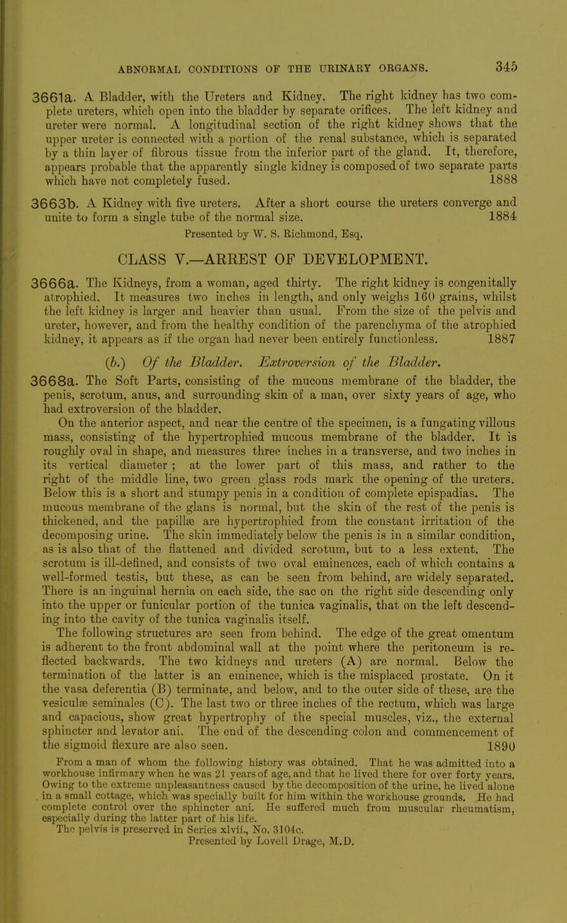 3661a. A. Bladder, with the Ureters and Kidney. The right kidney has two com- plete ureters, which open into the bladder by separate orifices. The left kidney and ureter were normal. A longitudinal section of the right kidney shows that the upper ureter is connected with a portion of the renal substance, which is separated by a thin layer of fibrous tissue from the inferior part of the gland. It, therefore, appears probable that the apparently single kidney is composed of two separate parts which have not completely fused. 1888 3663b. A Kidney with five ureters. After a short course the ureters converge and unite to form a single tube of the normal size. 1884 Presented by W. S. Riclimond, Esq. CLASS v.—ARREST OF DEVELOPMENT. 3666a. The Kidneys, from a woman, aged thirty. The right kidney is congenitally atrophied. It measures two inches in length, and only weighs 160 grains, whilst the left kidney is larger and heavier than usual. From the size of the pelvis and ureter, however, and from the healthy condition of the parenchyma of the atrophied kidney, it appears as if the organ had never been entirely functionless. 1887 (b.) Of the Bladder. Extroversion of the Bladder. 3668a. The Soft Parts, consisting of the mucous membrane of the bladder, the penis, scrotum, anus, and surrounding skin of a man, over sixty years of age, who had extroversion of the bladder. On the anterior aspect, and near the centre of the specimen, is a f ungating villous mass, consisting of the hypertrophied mucous membrane of the bladder. It is roughly oval in shape, and measures three inches in a transverse, and two inches in its vertical diameter ; at the lower part of this mass, and rather to the right of the middle line, two green glass rods mark the opening of the ureters. Below this is a short and stumpy penis in a condition o£ complete epispadias. The mucous membrane of the glans is normal, but the skin of the rest of the penis is thickened, and the papillge are hypertrophied from the constant irritation of the decomposing urine. The skin immediately below the penis is in a similar condition, as is also that of the flattened and divided scrotum., but to a less extent. The scrotum is ill-defined, and consists of two oval eminences, each of which contains a well-formed testis, but these, as can be seen from behind, are widely separated. There is an inguinal hernia on each side, the sac on the right side descending only into the upper or funicular portion of the tunica vaginalis, that on the left descend- ing into the cavity of the tunica vaginalis itself. The following structures are seen from behind. The edge of the great omentum is adherent to the front abdominal wall at the point where the peritoneum is re- flected backwards. The two kidneys and ureters (A) are normal. Below the termination of the latter is an eminence, which is the misplaced prostate. On it the vasa deferentia (B) terminate, and below, and to the outer side of these, are the vesiculaB seminales (C). The last two or three inches of the rectum, which was large and capacious, show great hypertrophy of the special muscles, viz., the external sphincter and levator ani. The end of the descending colon and commencement of the sigmoid flexure are also seen. 1890 From a man of whom the following history was obtained. That he was admitted into a workhouse infirmary when he was 21 years of age, and that he lived there for over forty years. Owing to the extreme unpleasantness caused by the decomposition of the urine, he lived alone , in a small cottage, which was specially built for him within the workhouse grounds. He had complete control over the sphincter ani. He suffered much from muscular rheumatism, especially during the latter part of his life. Thf! pelvis is preserved in Series xlvii., No. 3104c. Presented by Lovell Drage, M.D.