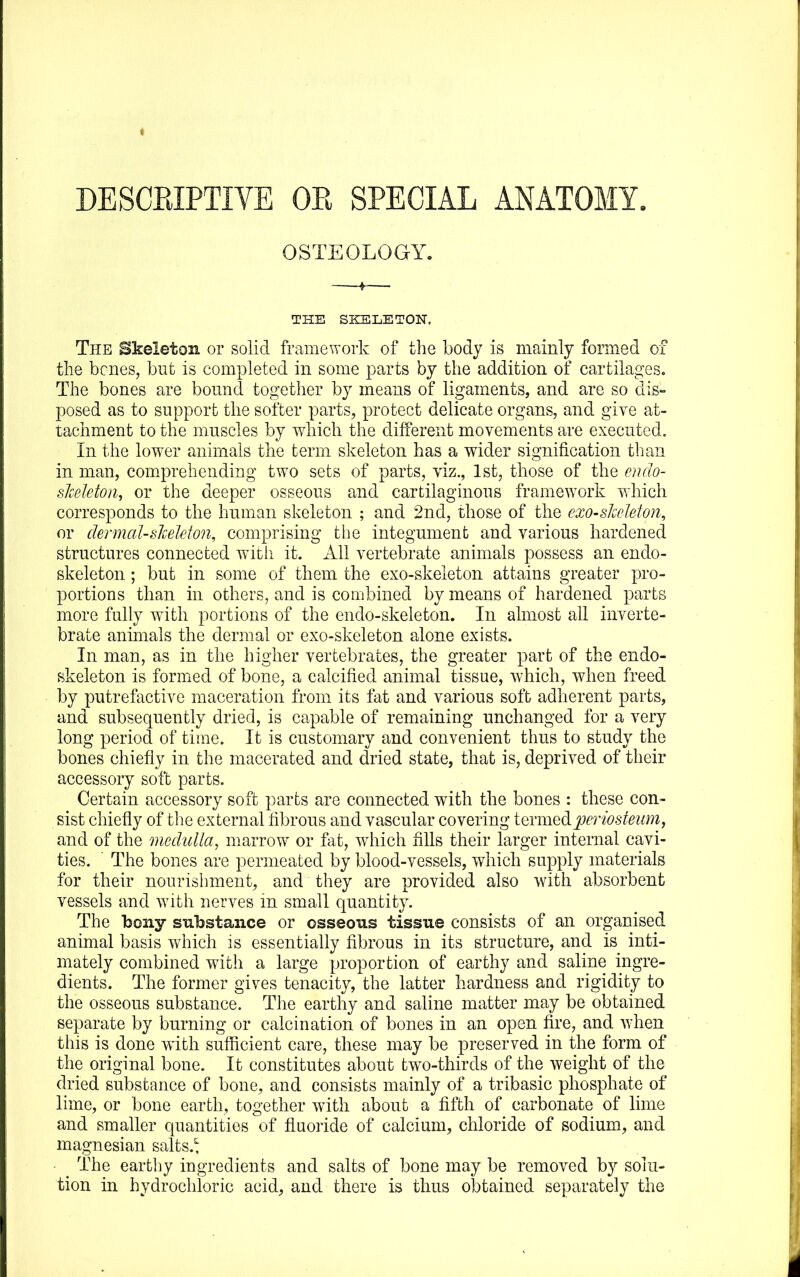 DESCEIPTIVE OE SPECIAL ANATOMY, OSTEOLOGY. THE SKELETON. The Skeleton or solid framework of the body is mainly formed of the bcnes, but is completed in some parts by the addition of cartilages. The bones are bound together by means of ligaments, and are so dis- posed as to support the softer parts^ protect delicate organs, and give at- tachment to the muscles by which the different movements are executed. In the lower animals the term skeleton has a wider signification than in man, comprehending two sets of parts, viz., 1st, those of the cndo- slzeMon^ or the deeper osseous and cartilaginous framework which corresponds to the human skeleton ; and 2nd, those of the cxo-slccMon, or clermal-sheJdon, comprising the integument and various hardened structures connected witli it. All vertebrate animals possess an endo- skeleton; but in some of them the exo-skeleton attains greater pro- portions than in others, and is combined by means of hardened parts more fully with portions of the endo-skeleton. In almost all inverte- brate animals the dermal or exo-skeleton alone exists. In man, as in the higher vertebrates, the greater part of the endo- skeleton is formed of bone, a calcified animal tissue, which, when freed by putrefactive maceration from its fat and various soft adherent parts, and subsequently dried, is capable of remaining unchanged for a very long period of time. It is customary and convenient thus to study the bones chiefly in the macerated and dried state, that is, deprived of their accessory soft parts. Certain accessory soft parts are connected with the bones : these con- sist chiefly of tlie external fibrous and vascular covering ioYm^diperiosteum^ and of the medulla, marrow or fat, which fills their larger internal cavi- ties. The bones are permeated by blood-vessels, which supply materials for their nourishment, and they are provided also with absorbent vessels and with nerves m small quantity. The bony substance or osseous tissue consists of an organised animal basis which is essentially fibrous in its structure, and is inti- mately combined with a large proportion of earthy and saline ingre- dients. The former gives tenacity, the latter hardness and rigidity to the osseous substance. The earthy and saline matter may be obtained separate by burning or calcination of bones in an open fire, and when this is done with sufficient care, these may be preserved in the form of the original bone. It constitutes about two-thirds of the weight of the dried substance of bone, and consists mainly of a tribasic phosphate of lime, or bone earth, together with about a fifth of carbonate of lime and smaller quantities of fluoride of calcium, chloride of sodium, and magnesian salts.^ The earthy ingredients and salts of bone may be removed by solu- tion in hydrochloric acid, and there is thus obtained separately the