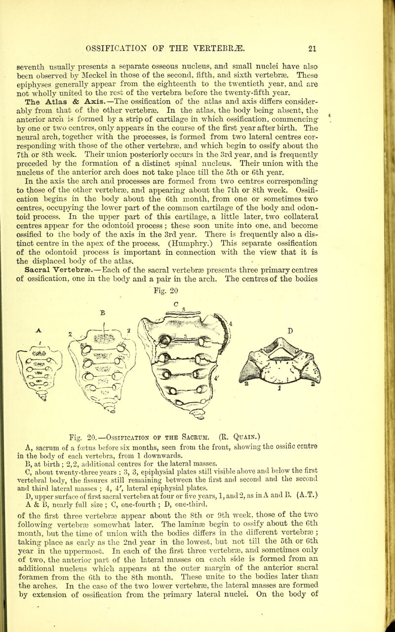 seventh usually presents a separate osseous nucleus, and small nuclei have also been observed by Meckel in those of the second, fifth, and sixth vertebrje. These epiphyses generally appear from the eighteenth to the twentieth year, and are not wholly united to the rest of the vertebra before the twenty-fifth year. Tlie Atlas & Axis.—The ossification of the atlas and axis differs consider^ ably from that of the other vertebrae. In the atlas, the body being absent, the anterior arch is formed by a strip of cartilage in which ossification, commencing by one or two centres, only appears in the course of the first year after birth. The neural arch, together with the processes, is formed from two lateral centres cor- responding with those of the other vertebrse, and which begin to ossify about the 7th or 8th week. Their union posteriorly occurs in the 3rd year, and is frequently preceded by the formation of a distinct spinal nucleus. Their union with the nucleus of the anterior arch does not take place till the 5th or 6th year. In the axis the arch and processes are formed from two centres corresponding to those of the other vertebrae, and appearing about the 7th or 8th week. Ossifi- cation begins in the body about the 6th month, from one or sometimes two centres, occupying the lower part of the common cartilage of the body and odon- toid process. In the upper part of this cartilage, a little later, two collateral centres appear for the odontoid process ; these soon unite into one. and become ossified to the body of the axis in the 3rd year. There is frequently also a dis- tinct centre in the apex of the process. (Humphry.) This separate ossification of the odontoid process is important in connection with the view that it is the displaced body of the atlas. Sacral Vertebrae.—Each of the sacral vertebrae presents three primary centres of ossification, one in the body and a pair in the arch. The centres of the bodies Fig. 20 c Fig. 20.—Ossification op the Sacrum. (R. Quain.) A, sacrum of a fretiis before six months, seen from the front, showing the ossific centre in the body of each vertebra, from 1 downwards. B, at birth ; 2,2, additional centres for the lateral masses. C, about twenty-three years ; 3, 3, epiphysial plates still visible al30ve and below the first vertebral body, the fissures still remaining between the first and second and the second and third lateral masses ; 4, 4', lateral epiphysial plates. D, upper surface of first sacral vertebra at four or five years, 1, and 2, as in A and B. (A.T.) A & B, nearly full size ; C, one-fourth ; D, one-third. of the first three vertebrae appear about the 8th or 9th week, those of the two following vertebrjB somewhat later. The lamina begin to ossify about the 6th month, but the time of union with the bodies differs in the different vertebrae ; taking place as early as the 2nd year in the lowest, but not till the 5th or 6th year in the uppermost. In each of the first three vertebras, and sometimes only of two, the anterior part of the lateral masses on each side is fonned from an additional nucleus which appears at the outer margin of the anterior sacral foramen from the 6th to the 8th month. These unite to the bodies later than the arches. In the case of the two lower vertebras, the lateral masses are formed by extension of ossification from the primary lateral nuclei. On the body of