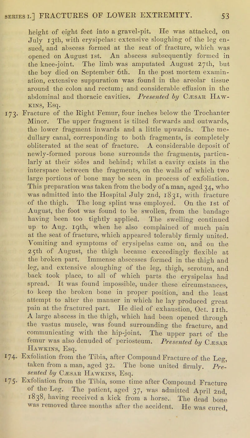 height of eight feet into a gravel-pit. He was attacked, on July 13th, with erysipelas: extensive sloughing of the leg en- sued, and abscess formed at the seat of fracture, which was opened on August ist. An abscess subsequently formed in the knee-joint. The limb was amputated August 27th, but the boy died on September 6th. In the post mortem examin- ation, extensive suppuration was found in the areolar tissue around the colon and rectum; and considerable effusion in the abdominal and thoracic cavities. Presented hy C^sar Haw- kins, Esq. 173. Fracture of the Right Femur, four inches below the Trochanter Minor. The upper fragment is tilted forwards and outwards, the lower fragment inwards and a little upwards. The me- dullary canal, corresponding to both fragments, is completely obliterated at the seat of fracture. A considerable deposit of newly-formed porous bone surrounds the fragments, particu- larly at their sides and behind; whilst a cavity exists in the interspace between the fragments, on the walls of which two large portions of bone may be seen in process of exfoliation. This preparation was taken from the body of a man, aged 34, who was admitted into the Hospital July 2nd, 1831, with fracture of the thigh. The long splint was employed. On the 1st of August, the foot was found to be swollen, from the bandage having been too tightly applied. The swelling continued up to Aug. 19th, when he also complained of much pain at the seat of fracture, which appeared tolerably firmly united. Vomiting and symptoms of erysipelas came on, and on the 25th of August, the thigh became exceedingly fiexible at the broken part. Immense abscesses formed in the thigh and leg, and extensive sloughing of the leg, thigh, scrotum, and back took place, to all of which parts the erysipelas had spread. It was found impossible, under these circumstances, to keep the broken bone in proper position, and the least attempt to alter the manner in which he lay produced great pain at the fractured part. He died of exhaustion, Oct. nth. A large abscess in the thigh, which had been opened through the vastus muscle, was found surrounding the fracture, and communicating with the hip-joint. The upper part of the femur was also denuded of periosteum. Presented by C^sar Hawkins, Esq. 174. Exfoliation from the Tibia, after Compound Fracture of the Leg, taken from a man, aged 32. The bone united firmly. Pre- sented by CAESAR Hawkins, Esq. 175- Exfoliation from the Tibia, some time after Compound Fracture of the Leg. Tlie patient, aged 37, was admitted April 2nd, 1838, having received a kick from a horse. The dead bone was removed tliree months after the accident. He was cured