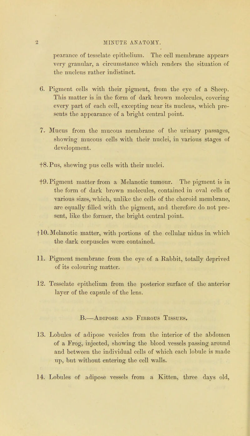 pearance of tesselate epithelium. The cell membrane appears very granular, a circumstance which renders the situation of the micleus rather indistinct. 6. Pigment cells with their pigment, from the eye of a Sheep. This matter is in the form of dark brown molecules, covering every part of each cell, excepting near its nucleus, which pre- sents the appearance of a bright central point. 7. Mucus from the mucous membrane of the urinary passages, showing mucous cells with their nuclei, in various stages of development. tS.Pus, shewing pus cells with their nuclei. t9. Pigment matter from a Melanotic tumour. The pigment is in the form of dark brown molecules, contained in oval cells of various sizes, which, unlike the cells of the choroid membrane, are equally filled with the pigment, and therefore do not pre- sent, like the former, the bright central point. f 10. Melanotic matter, with portions of the cellular nidus in whicli the dark corpuscles were contained. 11. Pigment membrane from the eye of a Rabbit, totally deprived of its colouring matter. 12. Tesselate epithelium from the posterior surface of the anterior layer of the capsule of the lens. B.—Adipose and Fibrous Tissues, 13. Lobules of adipose vesicles from the interior of the abdomen of a Frog, injected, showing the blood vessels passing around and between the individual cells of which each lobule is made up, but without entering the cell walls. 14. Lobules of adipose vessels from a Kitten, three days old.