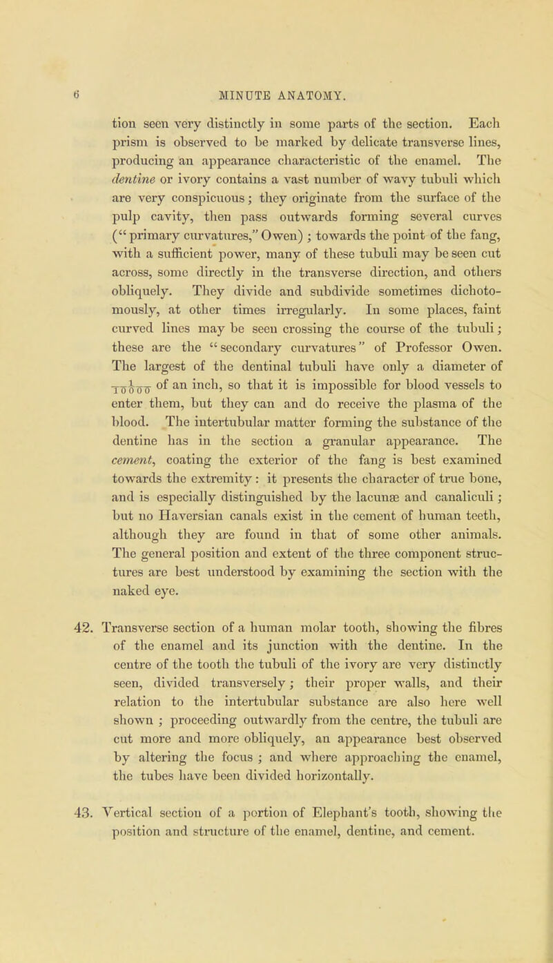 tion seen very distinctly in some parts of the section. Each prism is observed to be marked by delicate transverse lines, producing an appearance characteristic of the enamel. The dentine or ivory contains a vast number of wavy tubuli which are very conspicuous; they originate from the surface of the pulp cavity, then pass outwards forming several curves ( primary curvatures, Owen) ; towards the point of the fang, with a sufficient power, many of these tubuli may be seen cut across, some directly in the transverse direction, and others obliquely. They divide and subdivide sometimes dichoto- mously, at other times irregularly. In some places, faint curved lines may be seen crossing the course of the tubuli; these are the secondary curvatures of Professor Owen. The largest of the dentinal tubuli have only a diameter of Tsio 0 inch, so that it is impossible for blood vessels to enter them, but they can and do receive the plasma of the blood. The intertubular matter forminor the substance of the dentine has in the section a granular appearance. The cement, coating the exterior of the fang is best examined towards the extremity: it presents the character of time bone, and is especially distinguished by the lacunae and canaliculi; but no Haversian canals exist in the cement of human teeth, although they are found in that of some other animals. The general position and extent of the three component struc- tures are best imderstood by examining the section with the naked eye. 42. Transverse section of a human molar tooth, showing tlie fibres of the enamel and its junction with the dentine. In the centre of the tooth the tubuli of the ivory are very distinctly seen, divided transversely; their proper walls, and their relation to the intertubular substance are also here well shown ; proceeding outwardly from the centre, tlie tubuli .are cut more and more obliquely, an appearance best observed by altering the focus ; and wliere approacliing the enamel, the tubes have been divided horizontally. 43. Vertical section of a portion of Elephant's tooth, showing tlie position and structure of the enamel, dentine, and cement.