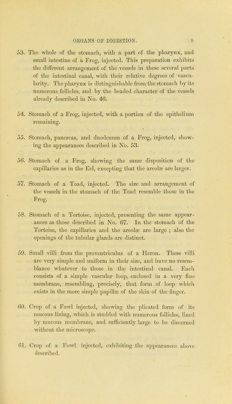 53. The whole of the stoiUcach, witli a part of the pharynx, and small intestine of a Frog, injected. This preparation exhibits the different arrangement of the vessels in these several parts of the intestinal canal, with their relative degrees of vascu- larity. The pharynx is distinguishable from the stomach by its numerous follicles, and by the beaded character of the vessels already described in No. 46. 54. Stomach of a Frog, injected, with a portion of the epithelium remaining. 55. Stomach, pancreas, and duodenimi of a Frog, injected, show- ing the appearances described in No. 53. 56. Stomach of a Frog, showing the same disposition of the capillaries as in the Eel, excepting that the areolae are larger. 57. Stomach of a Toad, injected. The size and arrangement of the vessels in the stomach of the Toad resemble those in the Frog. 58. Stomach of a Tortoise, injected, presenting the same appear- ances as those described in No. 67. In the stomach of the Tortoise, the capillaries and the areolae are large ; also the openings of the tubular glands are distinct. 59. Small villi from the proventriculus of a Heron. These villi are very simple and uniform in their size, and have no resem- blance whatever to those in the intestinal canal. Each consists of a simple vascular loop, enclosed in a very fine membrane, resembling, precisely, that form of loop wliich exists in the more simple papillee of the skin of the finger. (50. Crop of a Fowl injected, showing the plicated fonn of its mucous lining, wliich is studded witli numerous follicles, lined by mucous membrane, and sufficiently large to be discerned without the microscope. ni. (Jrop of a Fowl injected, exhibiting the a])pearancc3 above described.