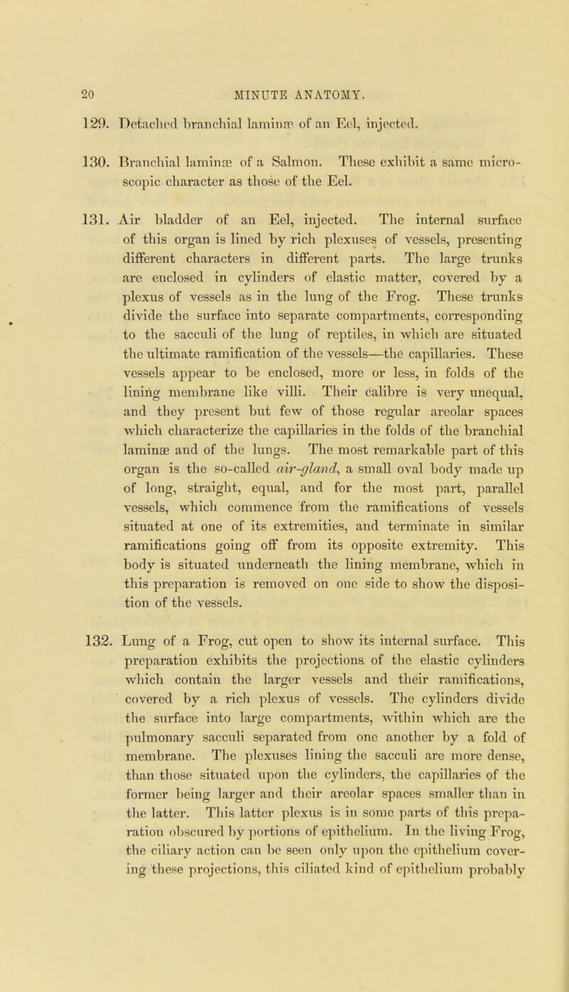 129. Detached branchial lamina* of an Eel, injected. 130. Branchial laminae of a Salmon. These exhibit a same micro- scopic character as those of the Eel. 131. Air bladder of an Eel, injected. The internal surface of this organ is lined by rich plexnscs of vessels, presenting dififerent characters in different parts. The large trunks are enclosed in cylinders of elastic matter, covered by a plexus of vessels as in the lung of the Frog. These trunks divide the surface into separate compartments, corresponding to the sacculi of the lung of reptiles, in which are situated the ultimate ramification of the vessels—the capillaries. These vessels appear to be enclosed, more or less, in folds of the lining membrane like villi. Their calibre is very unequal, and they present but few of those regular areolar spaces which characterize the capillaries in the folds of the branchial laminae and of the lungs. The most remarkable part of this organ is the so-called air-gland^ a small oval body made up of long, straiglit, equal, and for the most part, parallel vessels, which commence from the ramifications of vessels situated at one of its extremities, and terminate in similar ramifications going off from its opposite extremity. This body is situated underneath the lining membrane, which in this preparation is removed on one side to show the disposi- tion of the vessels. 132. Lung of a Frog, cut open to show its internal surface. This preparation exhibits the projections of the elastic cylinders which contain the larger vessels and their ramifications, covered by a ricli plexus of vessels. Tlie cylinders divide the surface into large compartments, within which are the pulmonary sacculi separated from one another by a fold of membrane. The plexuses lining the sacculi are more dense, than those situated upon the cylinders, the capillaries of the former being larger and their areolar spaces smaller than in tlie latter. This latter plexus is in some parts of this prepa- ration obscured by portions of epitheliimi. In the living Frog, the ciliary action can be seen only upon the epithelium cover- ing these projections, this cili.atcd kind of ejiithelinm probably