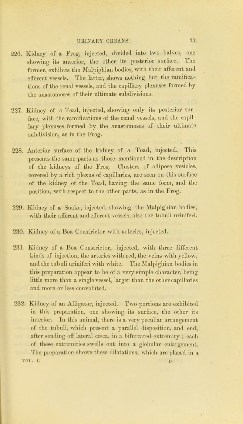 226. Kidney of a Frog, injected, divided into two halves, one showing its anterior, the other its posterior surface. The fonner, exhibits the Malpighian bodies, with their afferent and efferent vessels. The latter, shows nothing but the ramifica- tions of the renal vessels, and the capillary plexuses formed by the anastomoses of their ultimate subdivisions. 227. Kidney of a Toad, injected, showing only its posterior sur- face, with the ramifications of the renal vessels, and the capil- lary plexuses formed by the anastomoses of their ultimate subdivision, as in the Frog. 228. Anterior surface of the kidney of a Toad, injected. This presents the same parts as those mentioned in the description of the kidneys of the Frog. Clusters of adipose vesicles, covered by a rich plexus of capillaries, are seen on this surface of the kidney of the Toad, having the same form, and the position, with, respect to the other parts, as in the Frog. 229. Kidney of a Snake, injected, showing the Malpighian bodies, with their afferent and efferent vessels, also the tubuli uriniferi. 230. Kidney of a Boa Constricitor with arteries, injected. 231. Kidney of a Boa Constrictor, injected, with three different kinds of injection, the arteries with red, the veins with yellow, and the tubuli uriniferi with white. The Malpighian bodies in this preparation appear to be of a very simple character, being little more than a single vessel, larger than the other capillaries and more or less convoluted. 232. Kidney of an Alligator, injected. Two portions are exhibited in this preparation, one showing its surface, the other its interior. In this animal, there is a very peculiar arrangement of the tubuli, which present a parallel disposition, and end, after sending off lateral cEEca, in a bifurcated extremity ; each of these extremities swells out into a globular enlargement. The preparation shows these dilatations, whicli are placed in a VOL. I. u