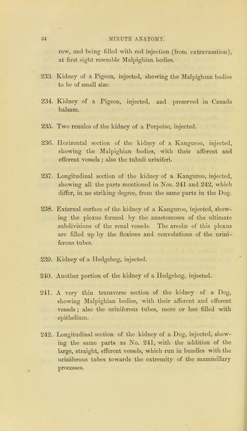 row, and being filled with red injection (frona extravasation), at first sight resemble Malpighian bodies. 233. Kidney of a Pigeon, injected, showing the Malpighian bodies to be of small size. 234. Kidney of a Pigeon, injected, and preserved in Canada balsam. 235. Two renules of the kidney of a Porpoise, injected. 236. Horizontal section of the kidney of a Kanguroo, injected, showing the Malpighian bodies, with their afferent and efferent vessels ; also the tubuli uriniferi. 237. Longitudinal section of the kidney of a Kanguroo, injected, showing all the parts mentioned in Nos. 241 and 242, which differ, in no striking degree, from the same parts in the Dog. 238. External surface of the kidney of a Kanguroo, injected, show- ing the plexus formed by the anastomoses of the ultimate subdivisions of the renal vessels. The areolae of this plexus are filled up by the flexions and convolutions of the urini- ferous tubes. 239. Kidney of a Hedgehog, injected. 240. Another portion of the kidney of a Hedgehog, injected. 241. A very thin transverse sectiou of the kidney of a Dog, showing Malpighian bodies, with their afferent and efferent vessels j also the uriniferous tubes, more or less filled with epithelium. 242. Longitudinal section of the kidney of a Dog, injected, show- ing the same parts as No. 241, with the addition of the large, straight, efferent vessels, which run in bundles with the uriniferous tubes towards the extremity of the mammillary processes.