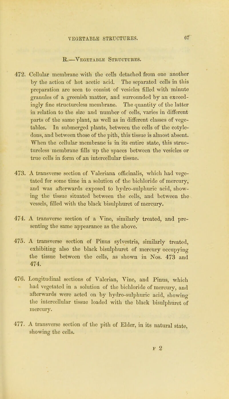 R.—Vegetable Structures. 472. Cellular membrane with the cells detached from one another by the action of hot acetic acid. The separated cells in this preparation are seen to consist of vesicles filled with minute granules of a greenish matter, and surrounded by an exceed- ingly fine structureless membrane. The quantity of the latter in relation to the size and number of cells, varies in different parts of the same plant, as well as in different classes of vege- tables. In submerged plants, between the cells of the cotyle- dons, and between those of the pith, this tissue is almost absent. Wlien the cellular membrane is in its entire state, this struc- tureless membrane fills up the spaces between the vesicles or true ceUs in form of an intercellular tissue. 473. A transverse section of Valeriana ofl&cinalis, which had vege- tated for some time in a solution of the bichloride of mercury, and was afterwards exposed to hydro-sulphuric acid, show- ing the tissue situated between the cells, and between the vessels, filled with the black bisulphuret of mercury. 474. A transverse section of a Vine, similarly treated, and pre- senting the same appearance as the above. 475. A transverse section of Pinus sylvestris, similarly treated, exhibiting also the black bisulphuret of mercury occupying the tissue between the cells, as shown in Nos. 473 and 474. 476. Longitudinal sections of Valerian, Vine, and Pimis, wliicli had vegetated in a solution of the bichloride of mei'cury, and afterwards were acted on by hydro-sulpliuric acid, showing tlie intercellular tissue loaded with the black bisulphuret of mercury. 477. A transverse section of the pith of Elder, in its natural state, showing the cells.