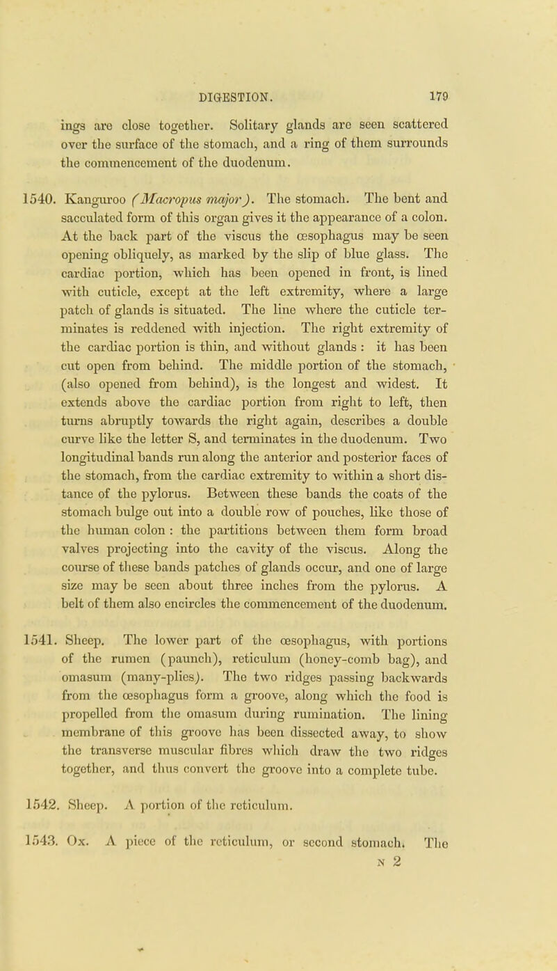 inga are close together. Solitary glands are seen scattered over the surface of tlie stomacli, and a ring of them surrounds the commencement of the duodenum. 1540. Kanguroo (Macropus major J. The stomach. The bent and sacculated form of this organ gives it the appearance of a colon. At the back part of the viscus the oesophagus may be seen opening obliquely, as marked by the slip of blue glass. The cardiac portion, ■which has been opened in front, is lined with cuticle, except at the left extremity, where a large patch of glands is situated. The line where the cuticle ter- minates is reddened with injection. The right extremity of the cardiac portion is thin, and without glands : it has been cut open from behind. The middle portion of the stomach, (also opened from behind), is the longest and widest. It extends above the cardiac portion from right to left, then turns abruptly towards the right again, describes a double curve like the letter S, and terminates in the duodenum. Two longitudinal bands run along the anterior and posterior faces of the stomach, from the cardiac extremity to within a short dis- tance of the pylorus. Between these bands the coats of the stomach bulge out into a double row of pouches, like those of the human colon : the partitions between them form broad valves projecting into the cavity of the viscus. Along the course of these bands patches of glands occur, and one of large size may be seen about three inches from the pylorus. A belt of them also encircles the commencement of the duodenum. 1541. Sheep. The lower part of the oesophagus, with portions of the rumen (paunch), reticulum (honey-comb bag), and omasum (many-plies). The two ridges passing backwards from the oesophagus form a groove, along which the food is propelled from the omasum during rumination. The lining membrane of this groove has been dissected away, to show the transverse muscular fibres which draw the two ridges together, and thus convert the groove into a complete tube. 1542. Sheep. A portion of tlic reticulum. 154,3. Ox. A piece of the reticulum, or second stomach* The N 2