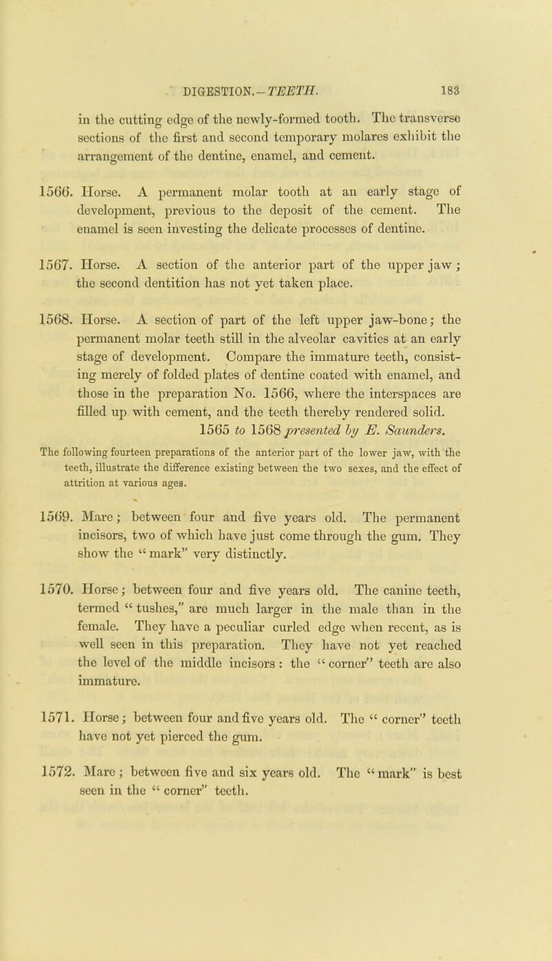 in the cutting cclgo of the newly-formed tooth. The transverse sections of the first and second temporary molares exliibit the arrangement of the dentine, enamel, and cement. 1566. Horse. A permanent molar tooth at an early stage of development, previous to the deposit of the cement. The enamel is seen investing the delicate processes of dentine. 1567. Horse. A section of the anterior part of the upper jaw; the second dentition has not yet taken place. 1568. Horse. A section of part of the left upper jaw-bone; the permanent molar teeth still in the alveolar cavities at an early stage of development. Compare the immature teeth, consist- ing merely of folded plates of dentine coated with enamel, and those in the preparation No. 1566, where the interspaces are filled up with cement, and the teeth thereby rendered solid. 1565 to 1568 presented hy E. Saunders. The following fourteen preparations of the anterior part of the lower jaw, with the teeth, illustrate the difference existing between the two sexes, and the effect of attrition at various ages. 1569. Mare; between four and five years old. The permanent incisors, two of which have just come through the gum. They show the  mark very distinctly. 1570. Horse; between four and five years old. The canine teeth, termed  tushes, are much larger in the male than in the female. They have a peculiar curled edge when recent, as is well seen in this preparation. They have not yet reached the level of the middle incisors : the  corner teeth are also immature. 1571. Horse; between four and five years old. The  corner teeth have not yet pierced the gum. 1572. Marc ; between five and six years old. The  mark is best seen in the  corner teeth.
