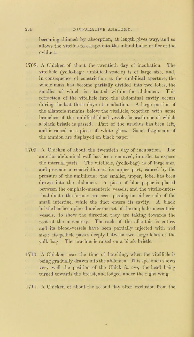 becoming thinned by absorption, at length gives way, and so allows the vitellus to escape into the infundibular orifice of the oviduct. 1708. A Chicken of about the twentieth day of incubation. The vitellicle (yolk-bag; umbilical vesicle) is of large size, and, in consequence of constriction at the umbilical aperture, the whole mass has become partially divided into two lobes, the smaller of which is situated within the abdomen. This retraction of the vitellicle into the abdominal cavity occurs during the last three days of incubation. A large portion of the allantois remains below the vitellicle, together with some branches of the umbilical blood-yessels, beneath one of which a black bristle is passed. Part of the urachus has been left, and is raised on a piece of white glass. Some fragments of the amnion are displayed on black paper. 1709. A Chicken of about the twentieth day of incubation. The anterior abdominal wall has been removed, in order to expose the internal parts. The vitellicle, (yolk-bag) is of large size, and presents a constriction at its upper part, caused by the pressure of the umbilicus : the smaller, upper, lobe, has been drawn into the abdomen. A piece of blue paper is placed between the omphalo-mesenteric vessels, and the vitello-iutes- tinal duct: the former are seen passing on either side of the small intestine, while the duct enters its cavity. A black bristle has been placed imder one set of the omphalo-mesenteric vessels, to show the direction they are taking towards the root of the mesentery. The sack of the allantois is entire, and its blood-vessels have been partially injected with red size : its pedicle passes deeply between two large lobes of the yolk-bag. The urachus is raised on a black bristle. 1710. A Chicken near the time of hatching, when the vitellicle is being gradually drawn into the abdomen. This specimen shows very well the position of the Chick in ovo, the head being turned towards the breast, and lodged under the right wing. J711. A Chicken of about the second day after exclusion from the