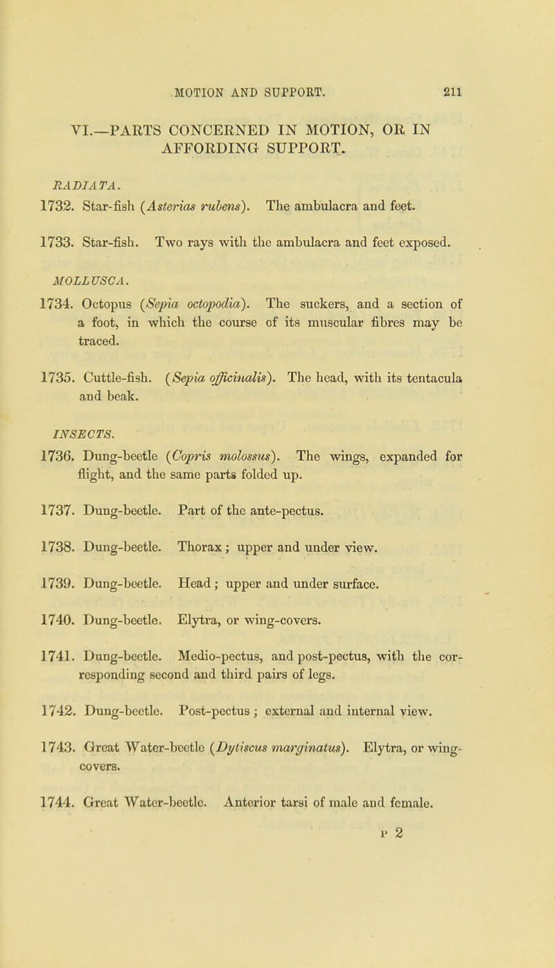 VI.—PARTS CONCERNED IN MOTION, OR IN AFFORDING SUPPORT. RADIATA. 1732. Star-fish (^Ast07'ias ruhens). The ambulacra and feet. 1733. Star-fish. Two rays with the ambulacra and feet exposed. MOLLUSC A. 1734. Octopus {Sepia octopodia). The suckers, and a section of a foot, in which the course of its muscular fibres may be traced. 1735. Cuttle-fish. (Sepia officinalis). The head, with its tentacula and beak. INSECTS. 1736. Dung-beetle {Copris molossus). The wings, expanded for flight, and the same parts folded up. 1737. Dung-beetle. Part of the ante-pectus. 1738. Dung-beetle. Thorax; upper and under view. 1739. Dung-beetle. Head; upper and under surface. 1740. Dung-beetle. Elytra, or wing-covers. 1741. Dung-beetle. Medio-pectus, and post-pectus, with the cor- responding second and third pairs of legs. 1742. Dung-beetle. Post-pectus ; external and internal view. 1743. Great Water-beetle (Dytisciis marginatus). Elytra, or wing- covers. 1744. Great Water-beetle. Anterior tarsi of male and female. 1' 2