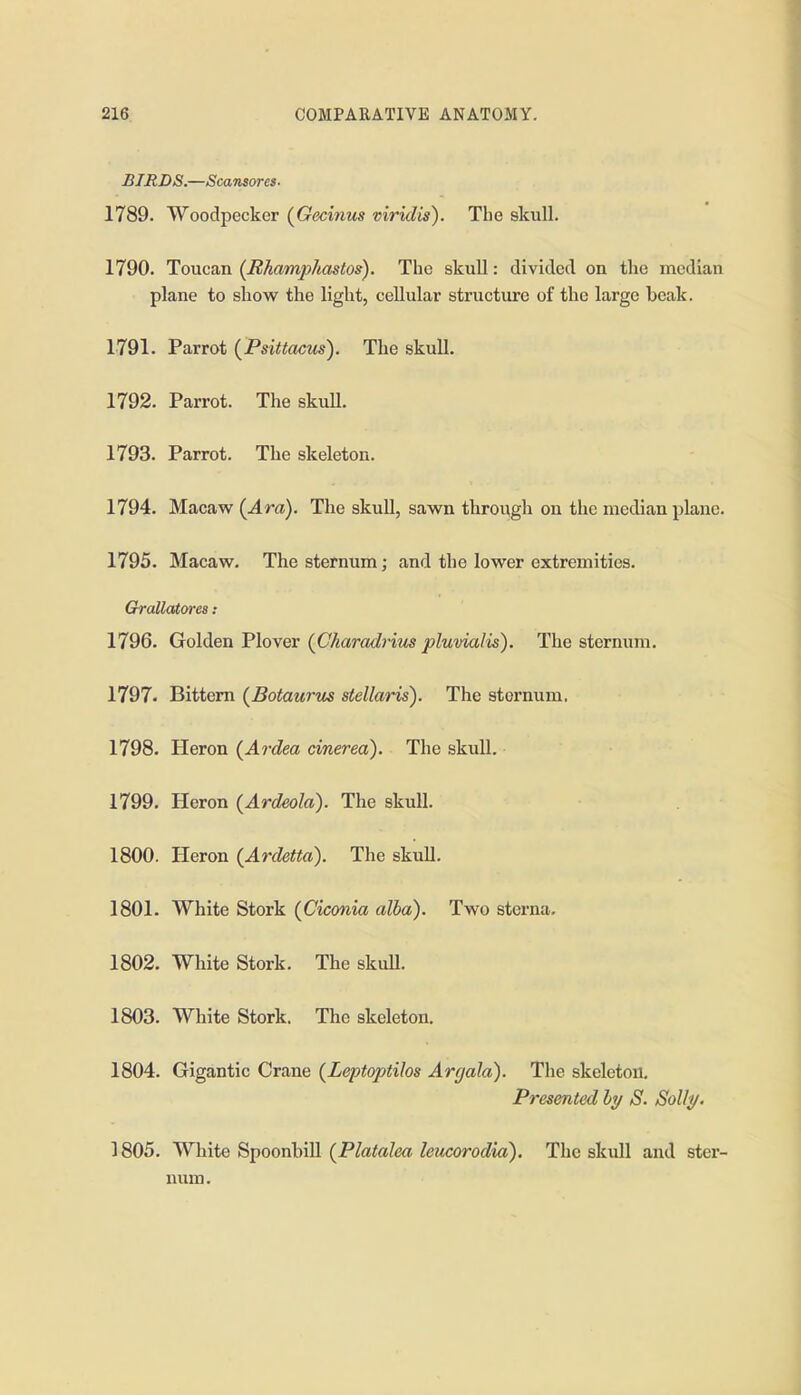 BIRDS.—Scansores. 1789. Woodpecker (Gecinus viridis). The skull. 1790. Toucan (Ehamp/iastos). The skuU: divided on the median plane to show the liglit, cellular structure of the large beak. 1791. Parrot (Psittacus). The skull. 1792. Parrot. The skull. 1793. Parrot. The skeleton. 1794. Macaw (^Ara). The skull, sawn through on the median plane. 1795. Macaw. The sternum; and the lower extremities. Grallatores: 1796. Golden Plover {Charadrim plumalis). The sternum. 1797. Bittern (^Botaurm stellaris). The sternum, 1798. Heron (Ardea cinered). The skull. 1799. Heron (Ardeola). The skull. 1800. Heron (Ardetta). The skuU. 1801. White Stork {Ciconia alba). Two sterna. 1802. White Stork. The skull. 1803. White Stork. The skeleton. 1804. Gigantic Crane (Leptoptilos Arrjala). The skeleton. Presented hy S. Solli/. 1805. White Spoonbill {Platalea leucorodia). The skull and ster- num.