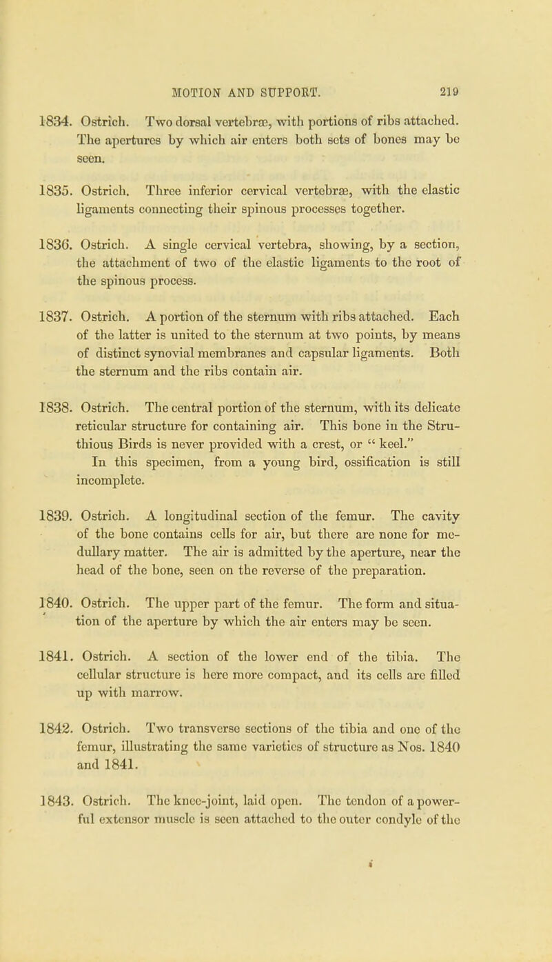 1834. Ostrich. Two dorsal vcrtcbra3, with portions of ribs attached. The apertures by which air enters both sets of bones may bo seen, 1835. Ostrich. Three inferior cervical vertebrae, with the elastic ligaments connecting their spinous processes together. 1836. Ostrich. A single cervical vertebra, showing, by a section, the attachment of two of the elastic ligaments to the root of the spinous process. 1837. Ostrich. A poiliion of the sternum with ribs attached. Each of the latter is united to the sternum at two points, by means of distinct synovial membranes and capsular ligaments. Botli the sternum and the ribs contain air. 1838. Ostrich. The central portion of the sternum, with its delicate reticular structure for containing air. This bone in the Stru- thious Birds is never provided with a crest, or  keel. In this specimen, frotn a young bird, ossification is still incomplete. 1839. Ostrich. A longitudinal section of the femur. The cavity of the bone contains cells for air, but there are none for me- dullary matter. The air is admitted by the aperture, near the head of the bone, seen on the reverse of the preparation. 1840. Ostrich. The upper part of the femur. The form and situa- tion of the aperture by which the air enters may be seen. 1841. Ostrich. A section of the lower end of tlie tibia. The cellular structure is here more compact, and its cells are filled up with marrow. 1842. Ostrich. Two transverse sections of the tibia and one of the femur, illustrating tlie same varieties of structure as Nos. 1840 and 1841. 1843. Ostridi. The knee-joint, laid open. The tendon of a power- ful extensor muscle is seen attached to the outer condyle of the «