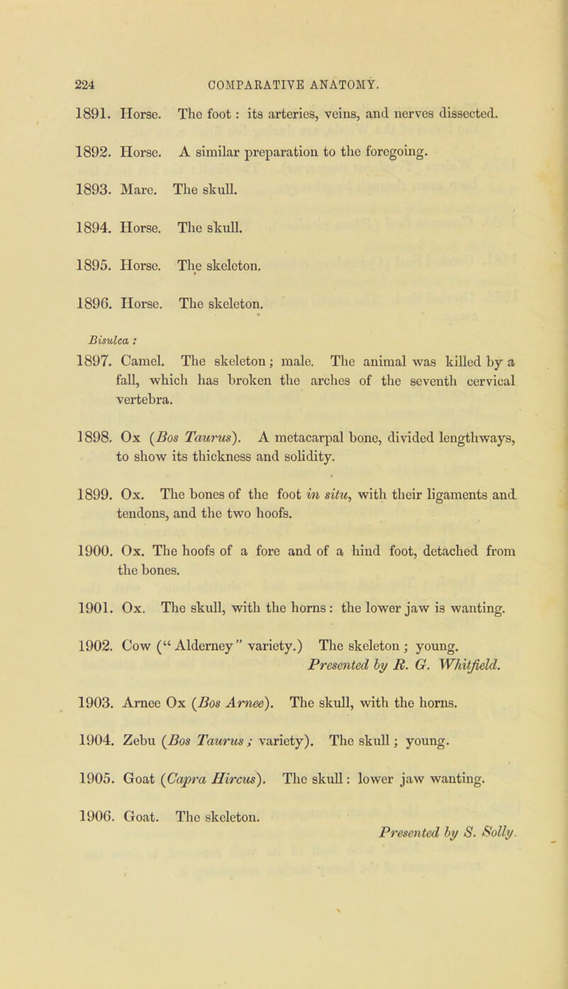 1891. Horse. The foot: its arteries, veins, and nerves dissected. 1892. Horse. A similar preparation to the foregoing. 1893. Mare. The skuU. 1894. Horse. The skull. 1895. Horse. The skeleton. 1896. Horse. The skeleton. Bisulca: 1897. Camel. The skeleton; male. The animal vpas killed hy a fall, which has broken the arches of the seventh cervical vertebra. 1898. Ox {Bos Taurus). A metacarpal bone, divided lengthways, to show its thickness and solidity. 1899. Ox. The bones of the foot m situ, with their ligaments and tendons, and the two hoofs. 1900. Ox, The hoofs of a fore and of a hind foot, detached from the bones. 1901. Ox. The skull, with the horns : the lower jaw is wanting. 1902. Cow ( Alderney variety.) The skeleton ; young. Presented by B. G. Whitfield. 1903. Amee Ox {Bos Arnee). The skull, with the horns. 1904. Zebu {Bos Taurus; variety). The skull; young. 1905. Goat {Copra Hircus). The skull: lower jaw wanting. 1906. Goat. The skeleton. Presented hy S. Solly.