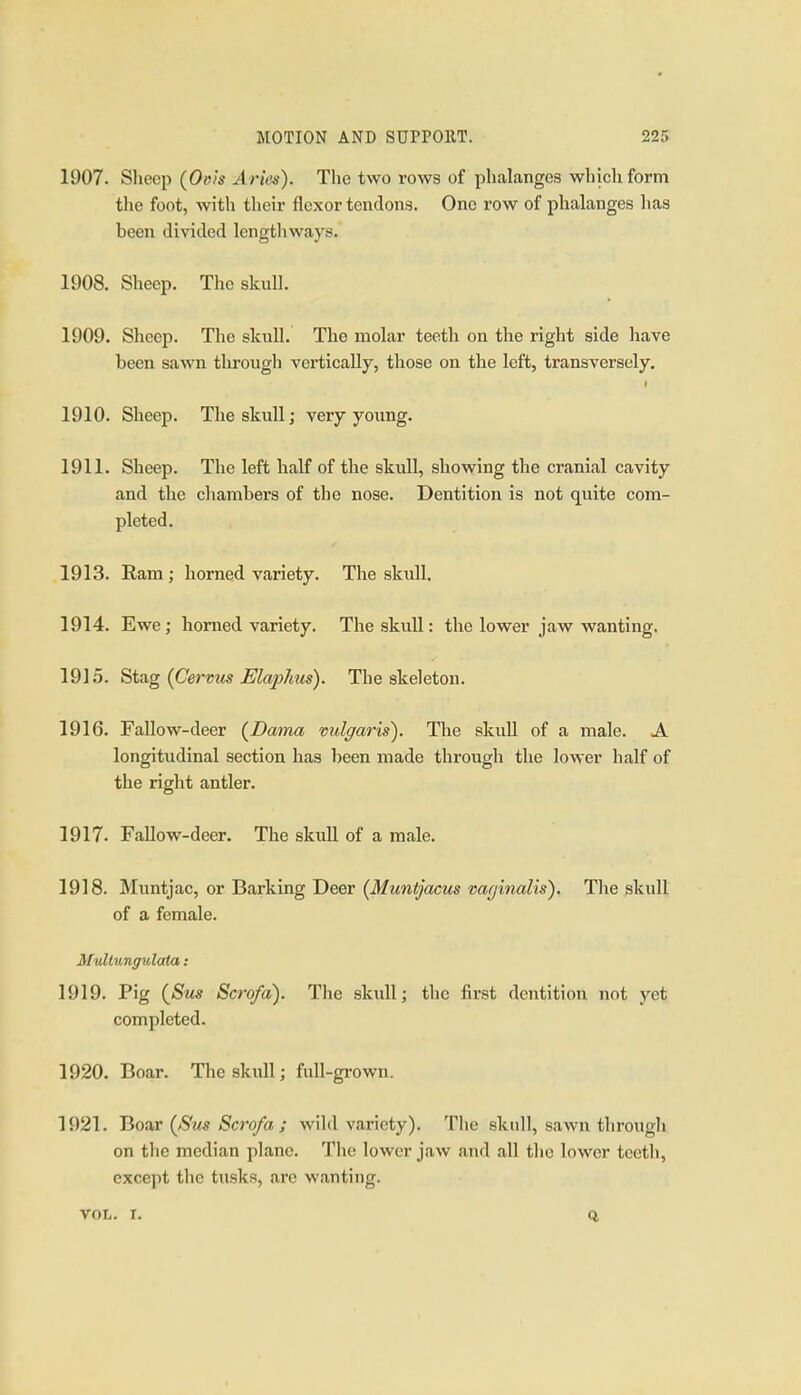 1907. Sheep (Oois Aries). The two rows of phalanges which form the foot, with their flexor tendons. One row of phalanges has been divided lengthways. 1908. Sheep. The skuU. 1909. Sheep. The skull. The molar teeth on the right side have been sawn through vertically, those on the left, transversely. I 1910. Sheep. The skull; very young. 1911. Sheep. The left half of the skull, showing the cranial cavity and the chambers of the nose. Dentition is not quite com- pleted. 1913. Ram; horned variety. The skull, 1914. Ewe; homed variety. The skull: the lower jaw wanting, 1915. Stag (Cervm Ela2)/ius). The skeleton. 1916. Fallow-deer (Bama vulgaris). The skuU of a male. A longitudinal section has been made through the lower half of the right antler. 1917. Fallow-deer. The skull of a male. 1918. Muntjac, or Barking Deer {Muntjacm vaginalis). The skull of a female. MuUwngulata: 1919. Pig {Stis Scrofa). The skull; the first dentition not j'^et completed. 1920. Boar. The skull; full-grown. 1921. Hoax QSus Scrofa ; wild variety). The skull, sawn throxtgh on the median plane. The lower jaw and all the lower teeth, except the tusks, are wanting. VOL. I. Q,